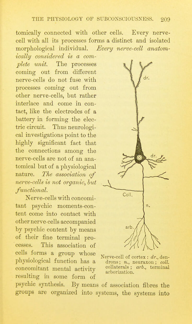 tomically connected with other cells. Every nerve- cell with all its processes forms a distinct and isolated morphological individual. Every nerve-cell anatom- ically considered is a com- plete unit. The processes coming out from different nerve-cells do not fuse with processes coming out from other nerve-cells, but rather interlace and come in con- tact, like the electrodes of a battery in forming the elec- tric circuit. Thus neurologi- cal investigations point to the highly significant fact that the connections among the nerve-cells are not of an ana- tomical but of a physiological nature. The association of nerve-cells is not organic, hut functional. N^erve-cells with concomi- tant psychic moments-con- tent come into contact with other nerve-cells accompanied by psychic content by means of their fine terminal pro- cesses. This association of cells forms a group whose physiological function has a concomitant mental activity resulting in some form of psychic synthesis. By means of association fibres the groups are organized into systems, the systems into Nerve-cell of cortex : dr., den- droiis; n., neuraxon ; coll. collaterals ; ari., terminal arborization.