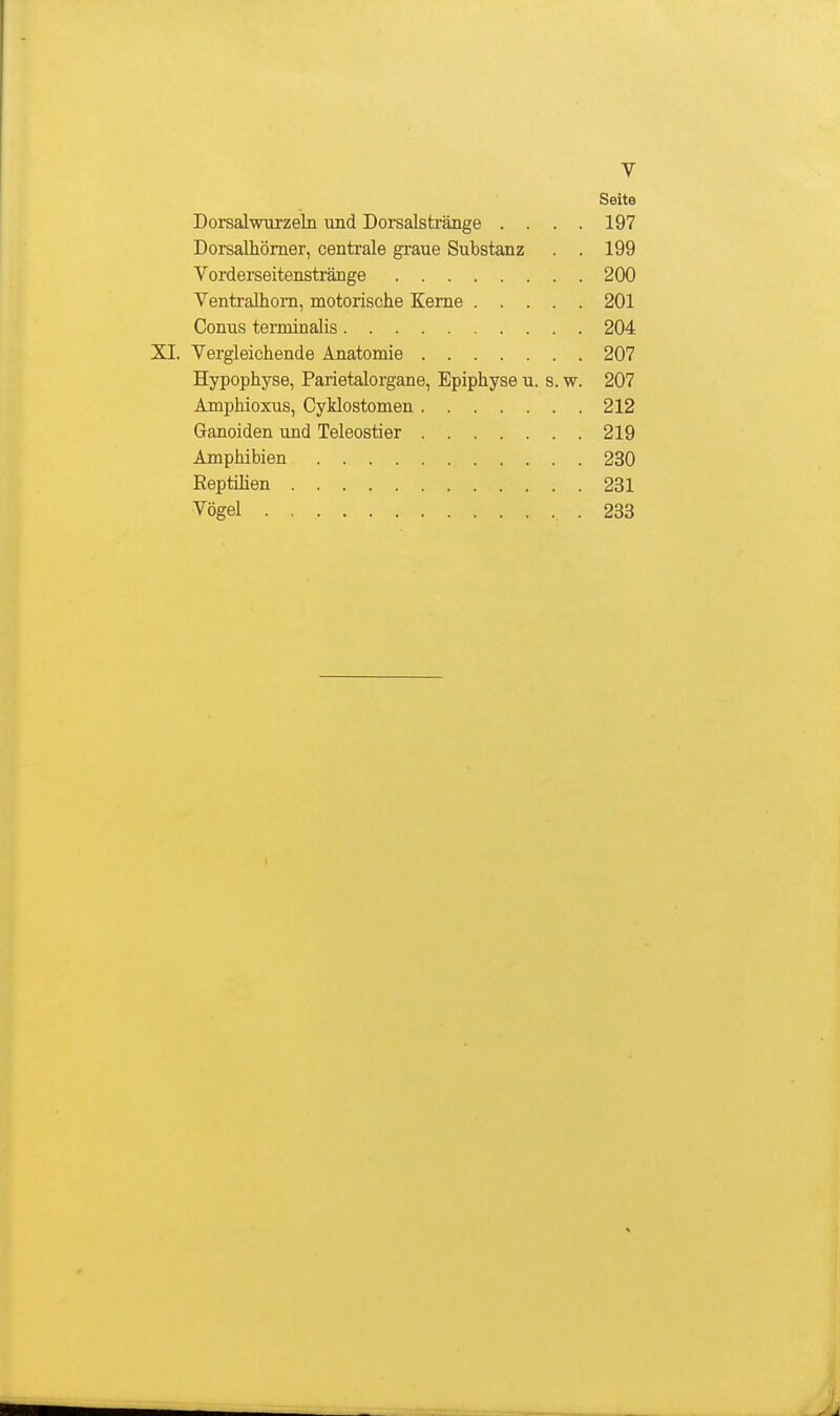 Seite Dorsalwurzeln und Dorsalstränge .... 197 Dorsalliömer, centrale graue Substanz . . 199 Vorderseitenstränge 200 Ventralhom, motorische Kerne 201 Conus terminalis 204 XI. Vergleichende Anatomie 207 Hypophyse, Parietalorgane, Epiphyse u. s. w. 207 Amphioxus, Cyklostomen 212 Ganoiden und Teleostier 219 Amphibien 230 Reptihen 231 Vögel .233