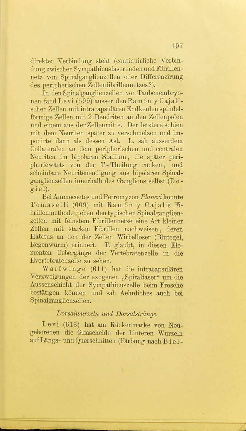 direkter Verbindung steht (oontinuirliche Verbin- dung zwischen Sympathicusfaserenden und Fibrillen- netz von Spinalganglienzellen oder Differenzirung des peripherischen Zellenfibrillennetzes ?). In den Spinalganglienzellen von Taubenembryo- nen fandLevi (599) ausser denRamön yCajar- schen Zellen mit intracapsulären Endkeulen spindel- förmige Zellen mit 2 Dendriten an den Zellenpolen und einem aus der Zellenmitte. Der letztere schien mit dem Neuriten später zu verschmelzen und im- ponirte dann als dessen Ast. L. sah ausserdem Collateralen an dem peripherischen und centralen ISTeuriten im bipolaren Stadium, die später peri- pheriewärts von der T-Theüung rücken, und scheinbare Neuritenendigung aus bipolai'en Spinal- ganglienzellen innerhalb des Ganglions selbst (D o - giel). Bei Ammocoetes und Petromyzon Pianeri konnte Tomaselli (609) mit Ramon y Cajal's Fi- brillenmethode neben den typischen Spinalganglien- zellen mit feinstem Fibrillennetze eine Art kleiner Zellen mit starken Fibrillen nachweisen, deren Habitus an den der Zellen Wirbelloser (Blutegel, Eegenwurm) erinnert. T. glaubt, in diesen Ele- menten Uebergänge der Vertebratenzelle in die Evertebratenzelle zu sehen. Warfwinge (611) hat die intracapsulären Verzweigungen der exogenen „Spiralfaser um die Aussenschicht der Sympathicuszelle beim Frosche bestätigen können und sah Aehnliches auch bei Spinalganglienzellen. Dorsalwurxeln und Dorsalstränge. Levi (613) hat am Rückenmarke von Neu- geborenen die Gliascheide der hinteren Wurzeln auf Längs- und Querschnitten (Färbung nachBiel- )