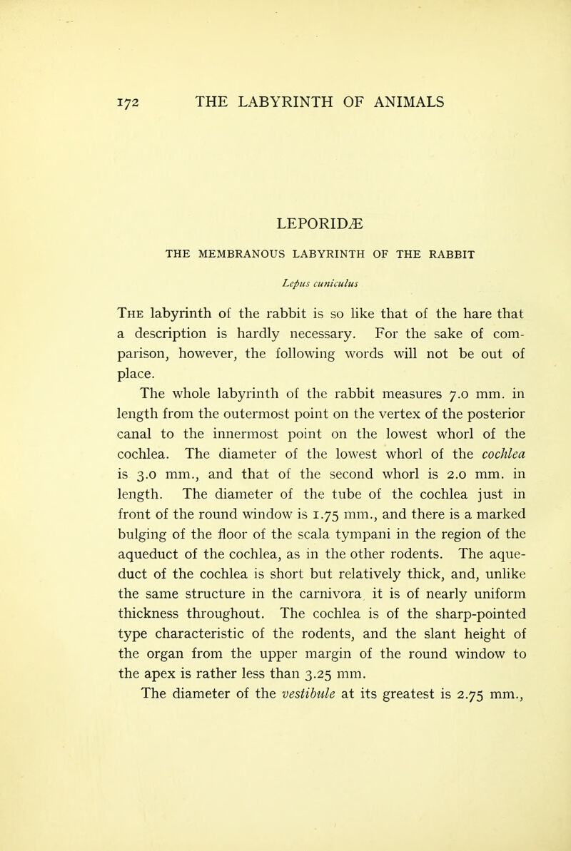 LEPORID.E THE MEMBRANOUS LABYRINTH OF THE RABBIT Lepus cutiiculus The labyrinth of the rabbit is so Hke that of the hare that a description is hardly necessary. For the sake of com- parison, however, the following words will not be out of place. The whole labyrinth of the rabbit measures 7.0 mm. in length from the outermost point on the vertex of the posterior canal to the innermost point on the lowest whorl of the cochlea. The diameter of the lowest whorl of the cochlea is 3.0 mm., and that of the second whorl is 2.0 mm. in length. The diameter of the tube of the cochlea just in front of the round window is 1.75 mm., and there is a marked bulging of the floor of the scala tympani in the region of the aqueduct of the cochlea, as in the other rodents. The aque- duct of the cochlea is short but relatively thick, and, unlike the same structure in the carnivora it is of nearly uniform thickness throughout. The cochlea is of the sharp-pointed type characteristic of the rodents, and the slant height of the organ from the upper margin of the round window to the apex is rather less than 3.25 mm. The diameter of the vestibule at its greatest is 2.75 mm.,