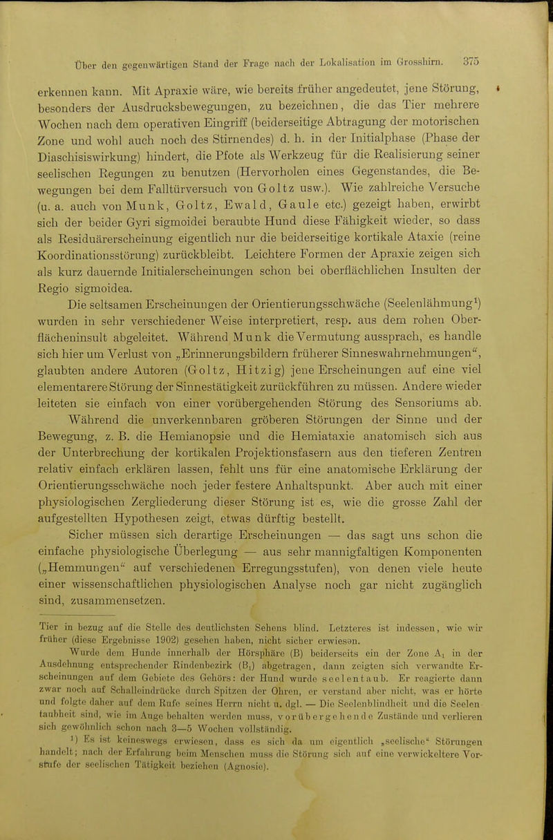 erkennen kann. Mit Apraxie wäre, wie bereits früher angedeutet, jene Störung, besonders der Ausdrucksbewegungen, zu bezeichnen, die das Tier mehrere Wochen nach dem operativen Eingriff (beiderseitige Abtragung der motorischen Zone und wohl auch noch des Stirnendes) d. h. in der Initialphase (Phase der Diaschisiswirkung) hindert, die Pfote als Werkzeug für die Realisierung seiner seelischen Regungen zu benutzen (Hervorholen eines Gegenstandes, die Be- wegungen bei dem Falltürversuch von Goltz usw.). Wie zahlreiche Versuche (u.a. auch von Münk, Goltz, Ewald, Gaule etc.) gezeigt haben, erwirbt sich der beider Gyri sigmoidei beraubte Hund diese Fähigkeit wieder, so dass als Residuärerscheinung eigentlich nur die beiderseitige kortikale Ataxie (reine Koordinationsstörung) zurückbleibt. Leichtere Formen der Apraxie zeigen sich als kurz dauernde Initialerscheinungen schon bei oberflächlichen Insulten der Regio sigmoidea. Die seltsamen Erscheinungen der Orientierungsschwäche (Seelenlähmung^) wurden in sehr verschiedener Weise interpretiert, resp. aus dem rohen Ober- flächeninsult abgeleitet. Während Münk die Vermutung aussprach, es handle sich hier um Verlust von „Erinnerungsbildern früherer Sinneswahrnehmungen glaubten andere Autoren (Goltz, Hitzig) jene Erscheinungen auf eine viel elementarere Störung der Sinnestätigkeit zurückführen zu müssen. Andere wieder leiteten sie einfach von einer vorübergehenden Störung des Sensoriunis ab. Während die unverkennbaren gröberen Störungen der Sinne und der Bewegung, z. B. die Hemianopsie und die Hemiataxie anatomisch sich aus der Unterbrechung der kortikalen Projektionsfasern aus den tieferen Zentren relativ einfach erklären lassen, fehlt uns für eine anatomische Erklärung der Orientierungsschwäche noch jeder festere Anhaltspunkt. Aber auch mit einer physiologischen Zergliederung dieser Störung ist es, wie die grosse Zahl der aufgestellten Hypothesen zeigt, etwas dürftig bestellt. Sicher müssen sich derartige Erscheinungen — das sagt uns schon die einfache physiologische Überlegung — aus sehr mannigfaltigen Komponenten (^jHemmungen'' auf verschiedenen Erregungsstufen), von denen viele heute einer wissenschaftlichen physiologischen Analyse noch gar nicht zugänglich sind, zusammensetzen. Tier in bezug auf die Stelle des deutlichsten Sehens blind. Letzteres ist indessen, wie Avir früher (diese Ergebnisse 1902) gesehen haben, nicht sicher erwiesen. Wurde dem Hunde innerhalb der Hörsphäro (B) beiderseits ein der Zone Ai in der Ausdehnung entsprechender Rindenbezirk (Bj) abgetragen, dann zeigten sich verwandte Er- scheinungen auf dem Gebiete des Gehörs: der Hund wurde seelentaub. Er reagierte dann zwar noch auf Schallcindrücke durch Spitzen der Ohren, er verstand aber nicht, was er hörte und folgte daher auf dem Rufe seines Herrn nicht u. dgl. — Die Seelcnblindheit und die Seelen taubhoit sind, wie im Auge behalten werden muss, vorübergehende Zustände und verlieren sich gewölmlich schon nach 3—5 Wochen vollständig. 1) Es ist keineswegs erwiesen, dass es sich da uin eigentlich „seelische Störungen handelt; nach der Erfahrung beim Menschen muss die Störung sich auf eine verwickeitere Vor- stufe der seelischen Tätigkeit beziehen (Agnosie).