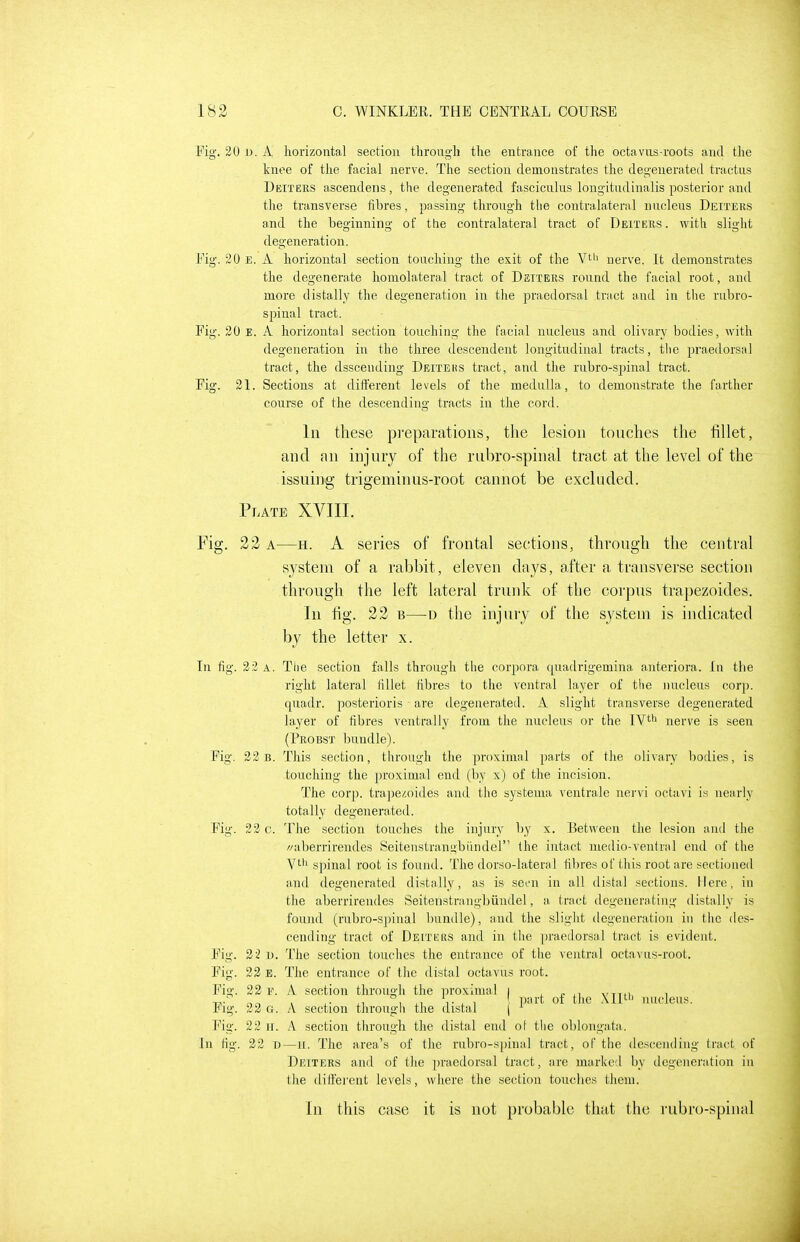 Fig. 20 iJ. A horizontal section tlirougli the entrance of the octavns-roots and the knee of tlie facial nerve. The section demonstrates the degenerated tractus Deiters ascendens, the degenerated fasciculus longitndinalis posterior and the transverse fibres, passing through the contralateral nucleus Deiters and the beginning of the contralateral tract of Deiters . with slight degeneration. Fig. 20 E. A horizontal section touching the exit of the Vti' nerve. It demonstrates the degenerate homolateral tract of Deiters round the facial root, and more distally the degeneration in tlie praedorsal tract and in the rubro- spinal tract. Fig. 20 E. A horizontal section touching the facial nucleus and olivary bodies, with degeneration in the three descendent longitudinal tracts, tlie praedorsal tract, the dsscending Deiteks tract, and the rubro-spinal tract. Fig. 21. Sections at different levels of the medirlla, to demonstrate the farther course of the descending tracts in the cord. In these preparations, the lesion tonches the fillet, and an injnry of the rnbro-spinal tract at the level of the issuing trigeminus-root cannot be excluded. Plate XVIII. Fig. 22 A—H. A series of frontal sections, through the central system of a rabbit, eleven days, after a transverse section through the left lateral trunk of the corpus trapezoides. In fig. 22 B—-D the injury of the system is indicated by the letter x. In fig. 22 a. The section falls through the corpora quadrigemina anteriora. In the right lateral fillet fibres to the ventral layer of the nucleus corp. quadr. posterioris are degeaernted. A slight transverse degenerated layer of fibres ventrally from the nucleus or the IV^ nerve is seen (Probst bundle). Fig. 22b. This section, through the proximal parts of the olivary bodies, is touching the ])roximal end (by x) of the incision. The corp. tra])e/,oides and the systema ventrale nervi octavi is nearly totally degenerated. Fig. 22 c. The section tonches the injury by x. Between the lesion auti the //aberrirendes Seitenstrangbiindel the intact medio-ventral end of the V'li spinal root is found. The dorso-lateral fibres of this root are sectioned and degenerated distally, as is seen in all distal sections. Mere, in the aberrirendes Seitenstrangbiindel, a tract degenerating distally is found (rnbro-spinal bundle), and the .slight degeneration in tiie des- cending tract of Deitkbs and in the praedorsal tract is evident. F'ig. 22 1). The section touches the entrance of the ventral octavus-root. Fig. 22 e. The entrance of the distal octavus root. F'ig. 22 F. A section through the proximal i , n n vthi i -u- oo V 1 T i 1 ' l't of tlie \II' nucleus. Fig. 32 G. A section through the distal | ^ Fig. 22 II. A section through the distal end of the oblongata. In fig. 22 D—H. The area's of the rubro-spinal tract, of the descending Iract of Deiters and of the praedorsal tract, are marked by degeneration in the dift'erent levels, where the section touches tiiem. In this case it is not probable that the I'ubro-spinal