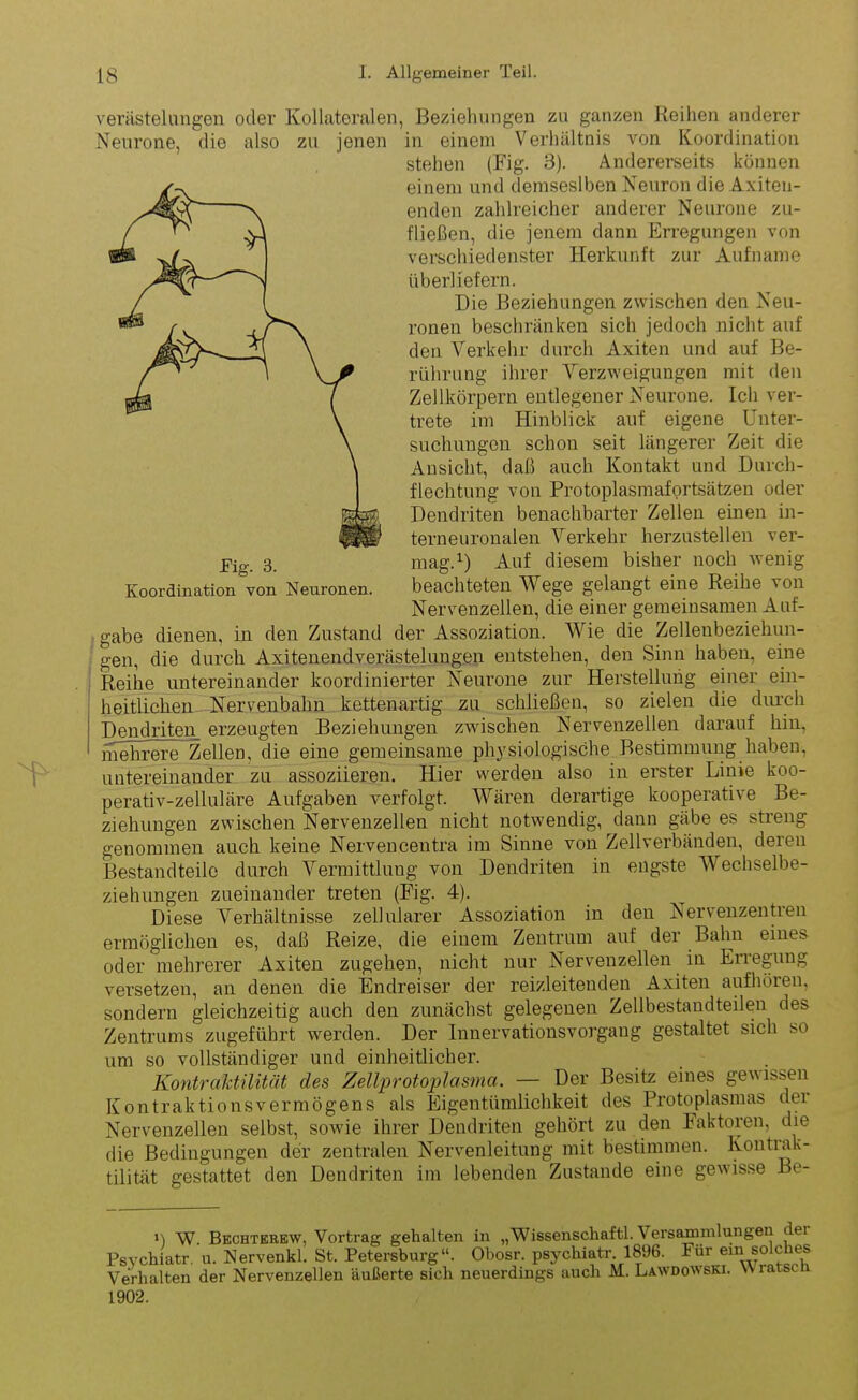 •Fig. 3. Koordination von Neuronen. Verästelungen oder Kollateralen, Beziehungen zu ganzen Reihen anderer Neurone, die also zu jenen in einem Verhältnis von Koordination stehen (Fig. 3). Andererseits können einem und demseslben Neuron die Axiten- enden zahlreicher anderer Neurone zu- fließen, tlie jenem dann Erregungen von verschiedenster Herkunft zur Aufname überliefern. Die Beziehungen zwischen den Neu- ronen beschränken sich jedoch nicht auf den Verkehr durch Axiten und auf Be- rührung ihrer Verzweigungen mit den Zellkörpern entlegener Neurone. Ich ver- trete im Hinblick auf eigene Unter- suchungen schon seit längerer Zeit die Ansicht, daß auch Kontakt und Durch- flechtung von Protoplasmafortsätzen oder Dendriten benachbarter Zellen einen in- terneuronalen Verkehr herzustellen ver- mag.1) Auf diesem bisher noch wenig beachteten Wege gelangt eine Reihe von Nervenzellen, die einer gemeinsamen Auf- gabe dienen, in den Zustand der Assoziation. Wie die Zellenbeziehun- gen, die durch Axitenendverästelungen entstehen, den Sinn haben, eine Reihe untereinander koordinierter Neurone zur Herstellung einer ein- heitlichen Nervenbahn kettenartig zu schließen, so zielen die durch Dendriten erzeugten Beziehungen zwischen Nervenzellen darauf hin, mehrere Zellen, die eine gemeinsame physiologische Bestimmung haben, untereinander zu assoziieren. Hier werden also in erster Linie koo- perativ-zelluläre Aufgaben verfolgt. Wären derartige kooperative Be- ziehungen zwischen Nervenzellen nicht notwendig, dann gäbe es streng genommen auch keine Nervencentra im Sinne von Zellverbänden, deren Bestandteile durch Vermittlung von Dendriten in engste V echselbe- ziehungen zueinander treten (Fig. 4). Diese Verhältnisse zellularer Assoziation in den Nervenzen treu ermöglichen es, daß Reize, die einem Zentrum auf der Bahn eines oder mehrerer Axiten zugehen, nicht nur Nervenzellen in Erregung versetzen, an denen die Endreiser der reizleitenden Axiten aufhören, sondern gleichzeitig auch den zunächst gelegenen Zellbestandteilen des Zentrums zugeführt werden. Der Innervationsvorgang gestaltet sich so um so vollständiger und einheitlicher. Kontraktilität des Zellprotoplasma. — Der Besitz eines gewissen Kontraktionsvermögens als Eigentümlichkeit des Protoplasmas dei Nervenzellen selbst, sowie ihrer Dendriten gehört zu den Faktoren, die die Bedingungen der zentralen Nervenleitung mit bestimmen. Kontrak- tilität gestattet den Dendi’iten im lebenden Zustande eine gewisse Be- w. Bechterew, Vortrag gehalten in „Wissenschaftl. Versammlungen der Psychiatr. u. Nervenkl. St. Petersburg“. Obosr. psychiatr. 1896. Für ein solches Verhalten der Nervenzellen äußerte sich neuerdings auch M. Lawdowski. 1902. Wratsch