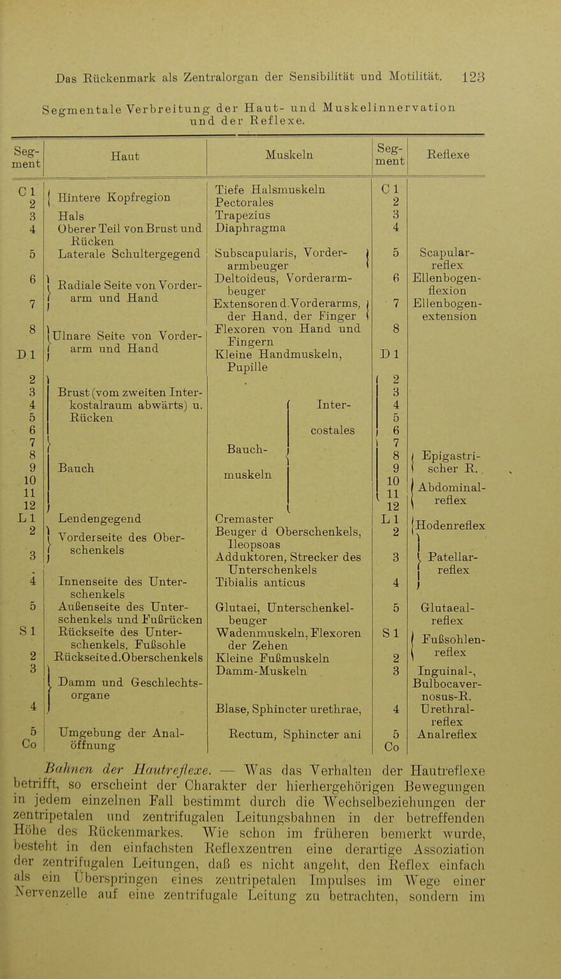 Segmentale Verbreitung der Haut- und Muskelinnervation und der Reflexe. Seg- ment Haut Muskeln Seg- ment Reflexe C 1 j Hintere Kopfregion Tiefe Halsmuskeln CI 2 Pectorales 2 3 Hals Trapezius 3 4 Oberer Teil von Brust und Diaphragma 4 Rücken 5 Laterale Scliul tergegend Subscapularis, Vorder- j 5 Scapular- armbeugei reflex 6 7 | Radiale Seite von Vorder- l arm und Hand 1 Deltoideus, Vorderarm- beuger Extensorend.Vorderarms, j fi 7 Ellenbogen- flexion Ellenbogen- der Hand, der Finger ( extension 8 D 1 (Ulnare Seite von Vorder- 1 arm und Hand ) Blexoren von Hand und Bin gern Kleine Handmuskeln, 8 Dl Pupille 2 ) 2 3 Brust (vom zweiten Inter- 3 4 kostalraum abwärts) u. Inter- 4 5 Rücken 5 6 costales 6 7 8 Bauch- ' muskeln 1 7 8 ( Epigastri- 9 10 11 12 Bauch 9 10 11 12 1 scher R. Abdominal- j reflex LI Lendengegend Cremaster LI Ho den reflex 1 1 2 } Vorderseite des Ober- Beuger d Oberschenkels, 2 lieopsoas 3 Adduktoren, Strecker des 3 1 Patellar- . Untei'schenkels 1 reflex 4 Innenseite des Unter- Tibialis anticus 4 1 ) Schenkels 5 Außenseite des Unter- Glutaei, Unterschenkel- 5 Glutaeal- Schenkels und Bußrücken beu&'er reflex S1 Rückseite des Unter- Wadenmuskeln, Blexoren S1 j Bußsohlen- j reflex Schenkels, Bußsohle der Zehen 2 Rückseite d.Oberschenkels Kleine Bußmuskeln 2 3 1 Damm-Muskeln 3 Inguinal-, ! Damm und Geschlechts- Bulbocaver- | Organe nosus-R. 4 J Blase, Sphincter urethrae, 4 U retliral- reflex 5 Umgebung der Anal- Rectum, Sphincter ani 5 Analreflex Co Öffnung Co Bahnen der Hautrejlexe. — Was das Verhalten der Hautreflexe betrifft, so erscheint der Charakter der hierhergehörigen Bewegungen in jedem einzelnen Fall bestimmt durch die Wechselbeziehungen der zentripetalen und zentrifugalen Leitungsbahnen in der betreffenden Höhe des Rückenmarkes. Wie schon im früheren bemerkt wurde, besteht in den einfachsten Reflexzentren eine derartige Assoziation der zentrifugalen Leitungen, daß es nicht angeht, den Reflex einfach als ein Überspringen eines zentripetalen Impulses im Wege einer Nervenzelle auf eine zentrifugale Leitung zu betrachten, sondern im