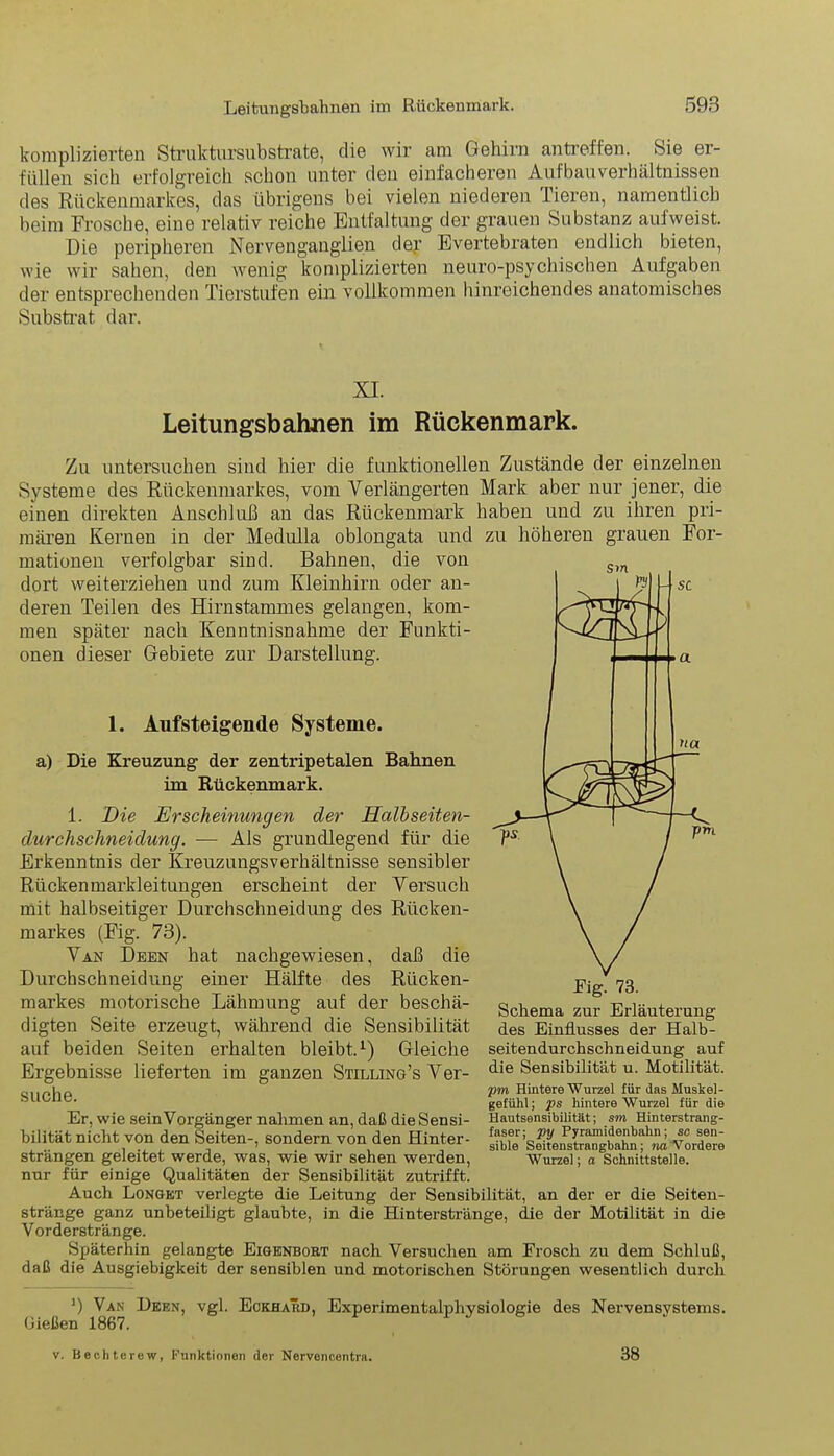 komplizierten Struktursubstrate, die wir am Gehirn antreffen. Sie er- füllen sich erfolgreich schon unter den einfacheren Aufbauverhältnissen des Rückenmarkes, das übrigens bei vielen niederen Tieren, namentlich beim Frosche, eine relativ reiche Entfaltung der grauen Substanz aufweist. Die peripheren Nervenganglien der Evertebraten endlich bieten, wie wir sahen, den wenig komplizierten neuro-psychischen Aufgaben der entsprechenden Tierstufen ein vollkommen hinreichendes anatomisches Substrat dar. XI. Leitungsbahnen im Rückenmark. Zu untersuchen sind hier die funktionellen Zustände der einzelnen Systeme des Rückenmarkes, vom Verlängerten Mark aber nur jener, die einen direkten Anschluß an das Rückenmark haben und zu ihren pri- mären Kernen in der Medulla oblongata und zu höheren grauen For- mationen verfolgbar sind. Bahnen, die von dort weiterziehen und zum Kleinhirn oder an- deren Teilen des Hirnstammes gelangen, kom- men später nach Kenntnisnahme der Funkti- onen dieser Gebiete zur Darstellung. 1. Ansteigende Systeme. a) Die Kreuzung der zentripetalen Bahnen im Rückenmark. 1. Die Erscheinungen der Halbseiten- durchschneidung. — Als grundlegend für die Erkenntnis der Kreuzungsverhältnisse sensibler Rückenmarkleitungen erscheint der Versuch mit halbseitiger Durchschneidung des Rücken- markes (Fig. 73). Van Deen hat nachgewiesen, daß die Durchschneidung einer Hälfte des Rücken- markes motorische Lähmung auf der beschä- digten Seite erzeugt, während die Sensibilität auf beiden Seiten erhalten bleibt.1) Gleiche Ergebnisse lieferten im ganzen Stilling’s Ver- suche. Er, wie sein Vorgänger nahmen an, daß die Sensi- bilität nicht von den Seiten-, sondern von den Hinter- strängen geleitet werde, was, wie wir sehen werden, nur für einige Qualitäten der Sensibilität zutrifft. Auch Longet verlegte die Leitung der Sensibilität, an der er die Seiten- stränge ganz unbeteiligt glaubte, in die Hinterstränge, die der Motilität in die Vorderstränge. Späterhin gelangte Eigknbort nach Versuchen am Frosch zu dem Schluß, daß die Ausgiebigkeit der sensiblen und motorischen Störungen wesentlich durch ß ’) Van Deen, vgl. Eckhard, Experimentalphysiologie des Nervensystems. Schema zur Erläuterung des Einflusses der Halb- seitendurchschneidung auf die Sensibilität u. Motilität. pm Hintere Wurzel für das Muskel- gefülü; ps hintere Wurzel für die Hautsensibilität; sm Hinterstrang- faser; py Pyramidenbahn; sc sen- sible Seitenstrangbahn; na Vordere Wurzel; a Schnittstelle. v. Bechterew, Punktionen der Nervencentrn. 38