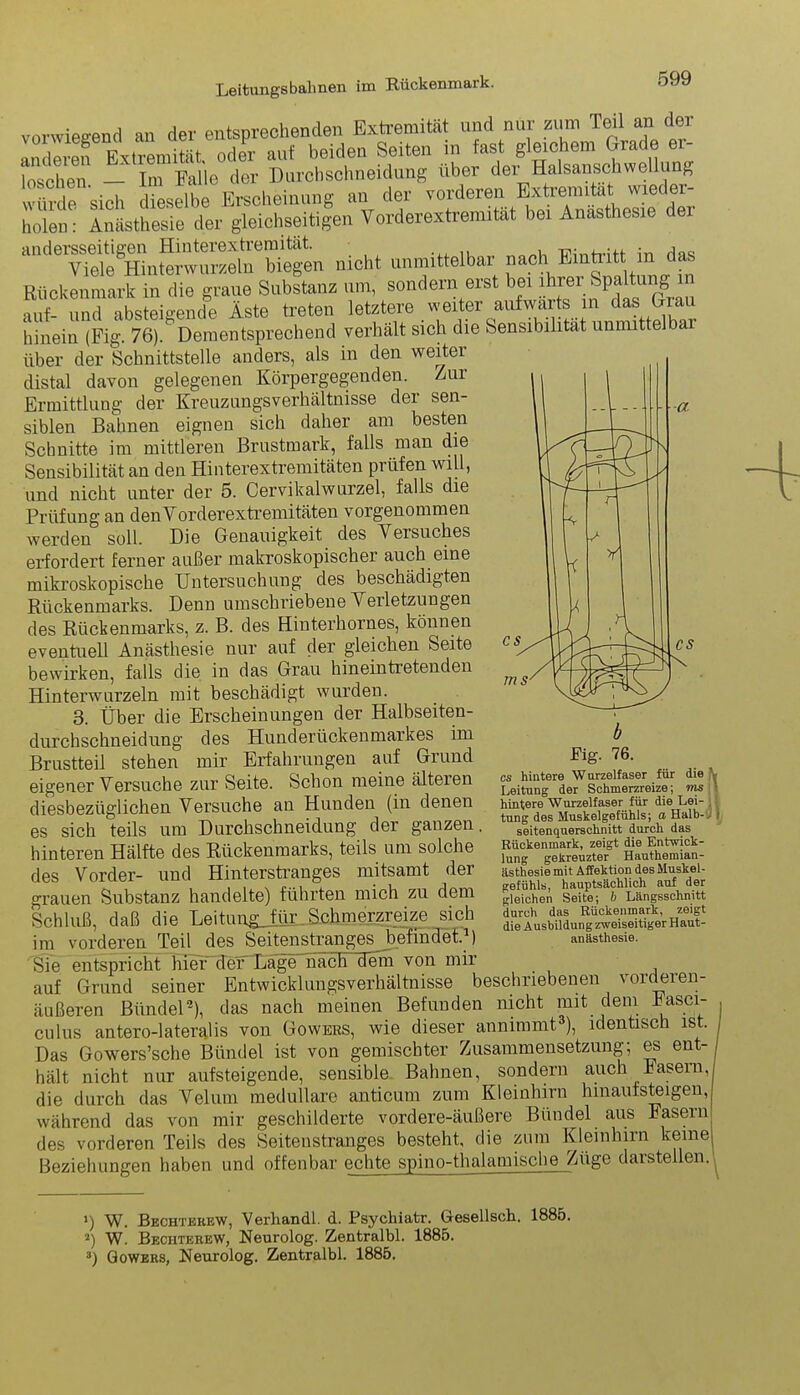 vorwiegend an der entsprechenden Extremität und nur zum Teil an der anderen Extremität, oder auf beiden Seiten m fast gleichem Grade er- loschen. — Im Falle der Durchschneidung über der Halsanschwellung würde sich dieselbe Erscheinung an der vorderen Extremität wie« ei- tlen: Anästhesie der gleichseitigen Vorderextremität bei Anästhesie der nicht unmittelbar „ach Einritt in das Rückenmark in die graue Substanz um, sondern erst bei ^r Spaltui^ in au{- und absteigende Äste treten letztere weiter aufwärts in das (miu hinein (Fig. 76). Dementsprechend verhält sich die Sensibilität unmittelbar über der Schnittstelle anders, als in den weiter distal davon gelegenen Körpergegenden. Zur Ermittlung der Kreuzungsverhältnisse der sen- siblen Bahnen eignen sich daher am besten Schnitte im mittleren Brustmark, falls man die Sensibilität an den Hinterextremitäten prüfen will, und nicht unter der 5. Cervikalwurzel, falls die Prüfung an denVorderextremitäten vorgenommen werden soll. Die Genauigkeit des Versuches erfordert ferner außer makroskopischer auch eine mikroskopische Untersuchung des beschädigten Rückenmarks. Denn umschriebene Verletzungen des Rückenmarks, z. B. des Hinterhornes, können eventuell Anästhesie nur auf der gleichen Seite bewirken, falls die in das Grau hineintietenden Hinterwurzeln mit beschädigt wurden. 3. Über die Erscheinungen der Halbseiten- durchschneidung des Hunderückenmarkes im Brustteil stehen mir Erfahrungen auf Grund eigener Versuche zur Seite. Schon meine älteren ~ ! diesbezüglichen Versuche an Hunden (in denen > es sich teils um Durchschnei düng der ganzen, Seitenquersehnitt durch das TJHlffo rloo Riir>lrorimnrks. teils um solche [^^^gekreüzte^ HaJhe^ian- ästhesie mit Affektion des Muskel- gefühls, hauptsächlich auf der gleichen Seite*, b Längsschnitt durch das Rückenmark, zeigt die Ausbildung zweiseitiger Haut- anästhesie. g/O oieu uciiu ‘ in hinteren Hälfte des Rückenmarks, teils um solche des Vorder- und Hinterstranges mitsamt der grauen Substanz handelte) führten mich zu dem Schluß, daß die Leitun^Jür Schmerzreize sich im vorderen Teil des Seitenstranges befindet.1 2 3) Sie entspricht hier der Lage nach dem von mir _ auf Grund seiner Entwicklungsverhältnisse beschriebenen vorderen- äußeren Bündel9), das nach meinen Befunden nicht mit dem Fasci- culus antero-lateralis von Gowers, wie dieser annimmt ), identisch ist. Das Gowers’sche Bündel ist von gemischter Zusammensetzung; es ent- hält nicht nur aufsteigende, sensible Bahnen, sondern auch Fasein,j die durch das Velum medulläre anticum zum Kleinhirn hinaufsteigen,; während das von mir geschilderte vordere-äußere Bündel aus Fasern des vorderen Teils des Seitenstranges besteht, die zum Kleinhirn keine Beziehungen haben und offenbar echte spino-thalamische Züge darstellen.^ ») W. Bechterew, Verhandl. d. Psychiatr. Gesellsch. 1885. 2) W. Bechterew, Neurolog. Zentralbl. 1885. 3) Gowers, Neurolog. Zentralbl. 1885.