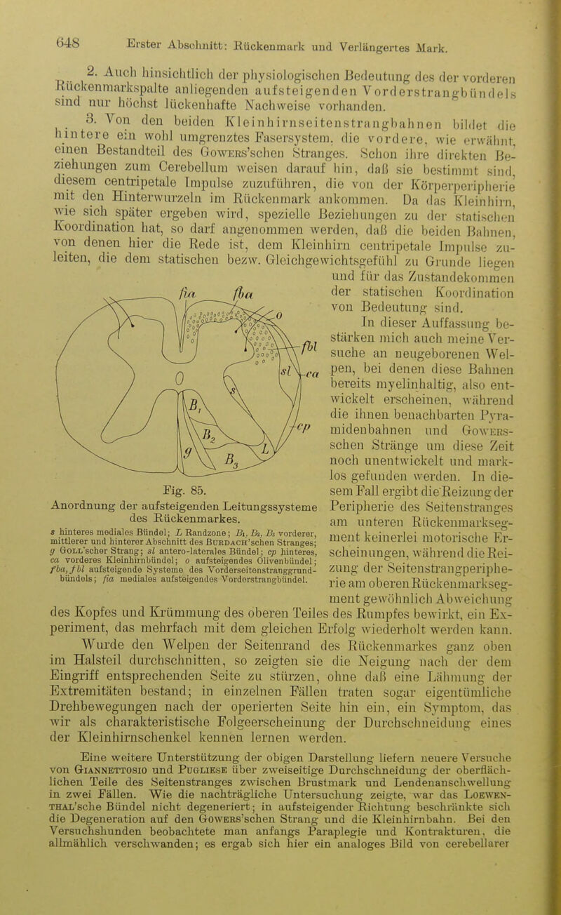 2. Auch hinsichtlich der physiologischen Bedeutung des der vorderen Kückenmarkspalte anliegenden aufsteigenden Vorderstrangbündels sind nur höchst lückenhafte Nachweise vorhanden. 3. Von den beiden Kleinhirnseitenstrangbahnen bildet die hintere ein wohl umgrenztes Fasersystem, die vordere, wie erwähnt, einen Bestandteil des GowERs’schen Stranges. Schon ihre direkten Be- ziehungen zum Cerebelhim weisen darauf hin, daß sie bestimmt sind diesem centripetale Impulse zuzuführen, die von der Körperperipherie mit den Hinterwurzeln im Rückenmark ankommen. Da das Kleinhirn, wie sich später ergeben wird, spezielle Beziehungen zu der statischen Koordination hat, so darf angenommen werden, daß die beiden Bahnen, von denen hier die Rede ist, dem Kleinhirn centripetale Impulse zu- leiten, die dem statischen bezw. Gleichgewichtsgefühl zu Grunde liegen und für das Zustandekommen der statischen Koordination von Bedeutung sind. In dieser Auffassung be- stärken mich auch meine Ver- suche an neugeborenen Wel- pen, bei denen diese Bahnen bereits myelinhaltig, also ent- wickelt erscheinen, während die ihnen benachbarten Pyra- midenbahnen und Gowers- schen Stränge um diese Zeit noch unentwickelt und mark- los gefunden werden. In die- sem Fall ergibt die'Reizungder Peripherie des Seitenstranges am unteren Rückenmarkseg- ment keinerlei motorische Er- scheinungen, während die Rei- zung der Seitenstrangperiphe- rie am oberen Rückenmarkseg- ment gewöhnlich Abweichung des Kopfes und Krümmung des oberen Teiles des Rumpfes bewirkt, ein Ex- periment, das mehrfach mit dem gleichen Erfolg wiederholt werden kann. Wurde den Weltteil der Seitenrand des Rückenmarkes ganz oben im Halsteil durchschnitten, so zeigten sie die Neigung nach der dem Eingriff entsprechenden Seite zu stürzen, ohne daß eine Lähmung der Extremitäten bestand; in einzelnen Fällen traten sogar eigentümliche Drehbewegungen nach der operierten Seite hin ein, ein Symptom, das wir als charakteristische Folgeerscheinung der Durchschiieidung eines der Kleinhirnschenkel kennen lernen werden. Eine weitere Unterstützung der obigen Darstellung liefern neuere Versuche von Giannettosio und Pugliese über zweiseitige Durchschneidung der oberfläch- lichen Teile des Seitenstranges zwischen Brustmark und Lendenanschwellung in zwei Fällen. Wie die nachträgliche Untersuchung zeigte, war das Loewen- THAL’sche Bündel nicht degeneriert; in aufsteigender Richtung beschränkte sich die Degeneration auf den GrOWERs’schen Strang und die Kleiuhirnbahu. Bei den Versuchshunden beobachtete man anfangs Paraplegie und Kontrakturen, die allmählich verschwanden; es ergab sich hier ein analoges Bild von cerebellarer Pig. 85. Anordnung der aufsteigenden Leitungssysteme des Rückenmarkes. s hinteres mediales Bündel; L Randzone; Bi, Bi, Bi vorderer, mittlerer und hinterer Abschnitt des ßüRDACH’schen Stranges; g GoLL'scher Strang; sl antero-laterales Bündel; cp hinteres, ca vorderes Kleinhirnbündel; o aufsteigendes Olivenbündel; fba,Jbl aufsteigende Systeme des Vorderseitenstranggrund- bündels; fia mediales aufsteigendes Vorderstrangbündel.