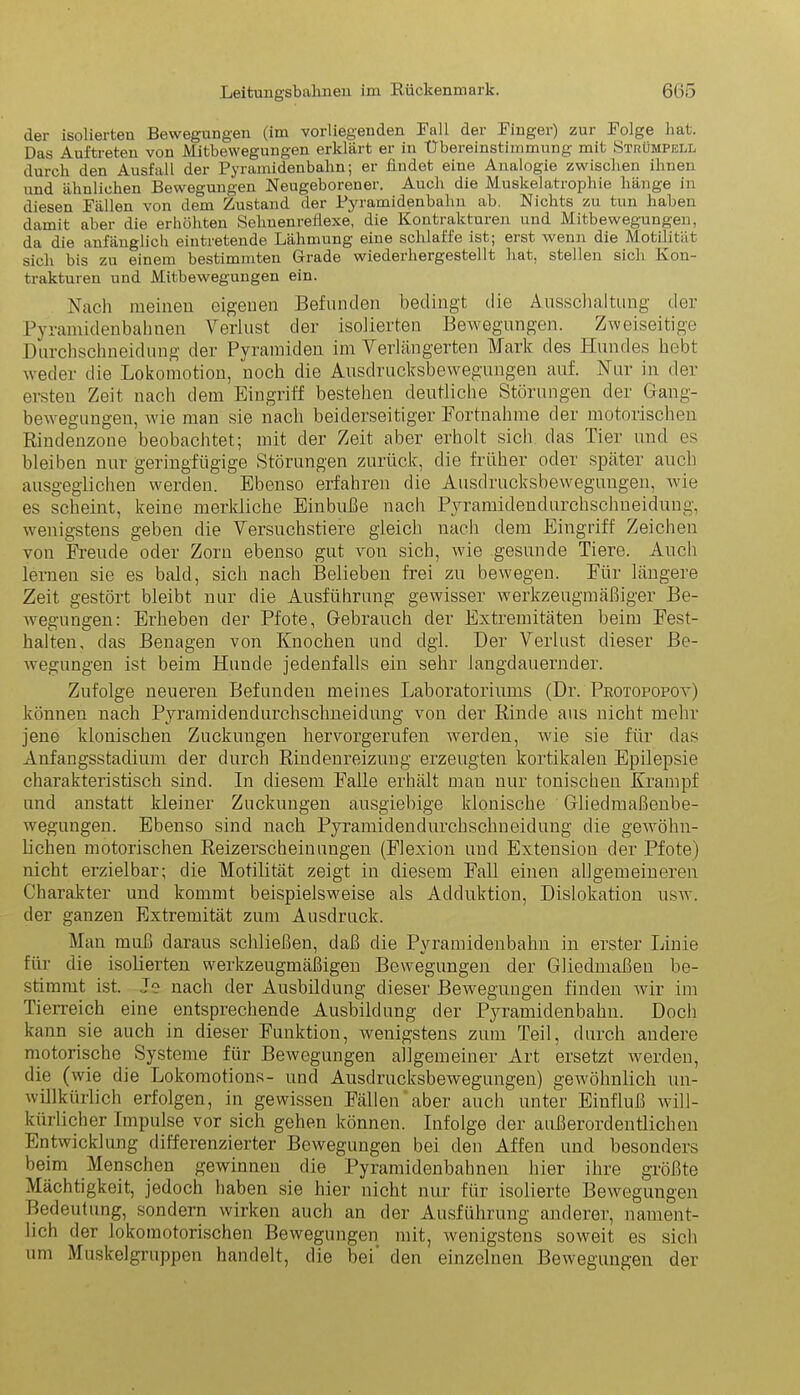 der isolierten Bewegungen (im vorliegenden Rail der Ringer) zur Rolge hat. Das Auftreten von Mitbewegungen erklärt er in Übereinstimmung mit Strümpell durch den Ausfall der Pyramidenbahn; er findet eine Analogie zwischen ihnen und ähnlichen Bewegungen Neugeborener. Auch die Muskel atroph ie hänge in diesen Rällen von dem Zustand der Pyramidenbahn ab. Nichts zu tun haben damit aber die erhöhten Sehnenreflexe, die Kontrakturen und Mitbewegungen, da die anfänglich eiutretende Lähmung eine schlaffe ist; erst wenn die Motilität sich bis zu einem bestimmten Grade wiederhergestellt liat, stellen sich Kon- trakturen und Mitbewegungen ein. Nach meinen eigenen Befunden bedingt die Ausschaltung der Pyramidenbahnen Verlust der isolierten Bewegungen. Zweiseitige Durchschneidung der Pyramiden im Verlängerten Mark des Hundes hebt weder die Lokomotion, noch die Ausdrucksbewegungen auf. Nur in der ersten Zeit nach dem Eingriff bestehen deutliche Störungen der Gang- bewegungen, Avie man sie nach beiderseitiger Fortnahme der motorischen Rindenzone beobachtet; mit der Zeit aber erholt sich das Tier und es bleiben nur geringfügige Störungen zurück, die früher oder später auch ausgeglichen werden. Ebenso erfahren die Ausdrucksbewegungen, Avie es scheint, keine merkliche Einbuße nach Pyramidendurchschneidung, Avenigstens geben die Versuchstiere gleich nach dem Eingriff Zeichen von Freude oder Zorn ebenso gut von sich, wie gesunde Tiere. Auch lernen sie es bald, sich nach Belieben frei zu bewegen. Für längere Zeit gestört bleibt nur die Ausführung gewisser werkzeugmäßiger Be- wegungen: Erheben der Pfote, Gebrauch der Extremitäten beim Fest- halten, das Benagen von Knochen und dgl. Der Verlust dieser Be- Avegungen ist beim Hunde jedenfalls ein sehr langdauernder. Zufolge neueren Befunden meines Laboratoriums (Dr. Protopopoa-) können nach Pyramidendurchschneidung von der Rinde aus nicht mehr jene klonischen Zuckungen hervorgerufen werden, Avie sie für das Anfangsstadium der durch Rindenreizung erzeugten kortikalen Epilepsie charakteristisch sind. In diesem Falle erhält mau nur tonischen Krampf und anstatt kleiner Zuckungen ausgiebige klonische Gliedmaßenbe- Avegungen. Ebenso sind nach Pyramidendurchschneidung die geAvöhn- lichen motorischen Reizerscheinungen (Flexion und Extension der Pfote) nicht erzielbar; die Motilität zeigt in diesem Fall einen allgemeineren Charakter und kommt beispielsweise als Adduktion, Dislokation usav. der ganzen Extremität zum Ausdruck. Man muß daraus schließen, daß die Pyramidenbahn in erster Linie für die isolierten werkzeugmäßigen Bewegungen der Gliedmaßen be- stimmt ist. Je nach der Ausbildung dieser BeAvegungen finden Avir im Tierreich eine entsprechende Ausbildung der Pyramidenbahn. Doch kann sie auch in dieser Funktion, Avenigstens zum Teil, durch andere motorische Systeme für BeAvegungen allgemeiner Art ersetzt werden, die (wie die Lokomotions- und Ausdrucksbewegungen) geAvöhnlich un- Avillkürlich erfolgen, in gewissen Fällen aber auch unter Einfluß will- kürlicher Impulse vor sich gehen können. Infolge der außerordentlichen EntAvicklung differenzierter Bewegungen bei den Affen und besonders beim Menschen gewinnen die Pyramidenbahnen hier ihre größte Mächtigkeit, jedoch haben sie hier nicht nur für isolierte Bewegungen Bedeutung, sondern wirken auch an der Ausführung anderer, nament- lich der lokomotorischen Bewegungen mit, wenigstens soAveit es sich um Muskelgruppen handelt, die bei den einzelnen BeAvegungen der