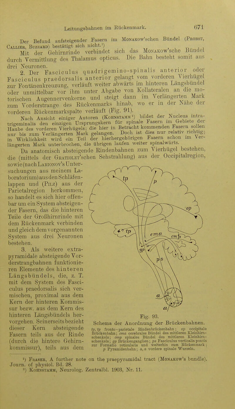 Der Befund aufsteigender Rasern im MoNAicow’schen Bündel (Probst, Callier, Buzzard) bestätigt sich nicht.1) . . Mit der Gehirnrinde verbindet sich das Monakow sehe Bündel durch Vermittlung des Thalamus opticus. Die Bahn besteht somit aus drei Neuronen. . . .. , , 2 Der Fasciculus quadrigemino-spmalis anterior oder Fasciculus praedorsalis anterior gelangt vom vorderen Vierlinge zur Fontänenkreuzung, verläuft weiter abwärts im hinteren Längsbundei oder unmittelbar vor ihm unter Abgabe von Kollateralen an die mo- torischen Augennervenkerne und steigt dann im Verlängerten Mai ’ zum Vorderstrange des Rückenmarks hinab, wo er in der Nahe der vorderen Rückenmarkspalte verläuft (Fig. 91). Nach Ansicht einiger Autoren (Kohnstamm2) bildet der Nucleus mtra- trigeminalis den einzigen Ursprungskern für spinale Fasern im Gebiete der Haube des vorderen Vierhügels; die hier in Betracht kommenden Fasern sollen nur bis zum Verlängerten Mark gelangen. Doch ist dies nur relativ richtig; in Wirklichkeit wird ein Teil der hierhergehörigen Fasern schon im Ver- längerten Mark unterbrochen, die übrigen laufen weiter spinalwärts. Da anatomisch absteigende Rindenbahnen zum Vierhügel bestehen, die (mittels der GRATiOLET’sclien Sehstrahlung) aus der Occipitalregion, sowie (nach Larionov’s Unter- suchungen aus meinem La- boratorium) au s den Schläf en- lappen und (Pilz) aus der Parietalregion herkom men, so handelt es sich hier offen- bar um ein System absteigen- der Fasern, das die hinteren Teile der Großhirnrinde mit dem Rückenmark verbinden und gleich dem vorgenannten System aus drei Neuronen bestehen. 3. Als weitere extra- pyramidale absteigende Vor- derstrangbahnen funktionie- ren Elemente des hinteren Längsbündels, die, z. T. mit dem System des Fasci- culus praedorsalis sich ver- mischen, proximal aus dem Kern der hinteren Kommis- sur bezw. aus dem Kern des hinteren Längsbündels her- vorgehen. Seinerseits bezieht dieser Kern absteigende Fasern teils aus der Rinde (durch die hintere Gehirn- kommissur), teils aus dem Fig. 93. Schema der Anordnung der Brückenbahnen. tp, tp fronto - parietale Rindenbrückenbahn ; op occipitale Brückenbahn; cma cerebrales Bündel des mittleren Kleinhirn- schenkels; emp spinales Bündel des mittleren Kleinhirn- schenkels ; gp Brückenganglien; ps Fasciculus verticalis pontis zur Formatio reticularis und weiterhin zum Rückenmark; p Pyramidenbahn; a, a vordere spinale Wurzeln. ') Fraser, A further note on the praepyramidal tract (Monakow’s bündle). Journ. of physiol. Bd. 28.