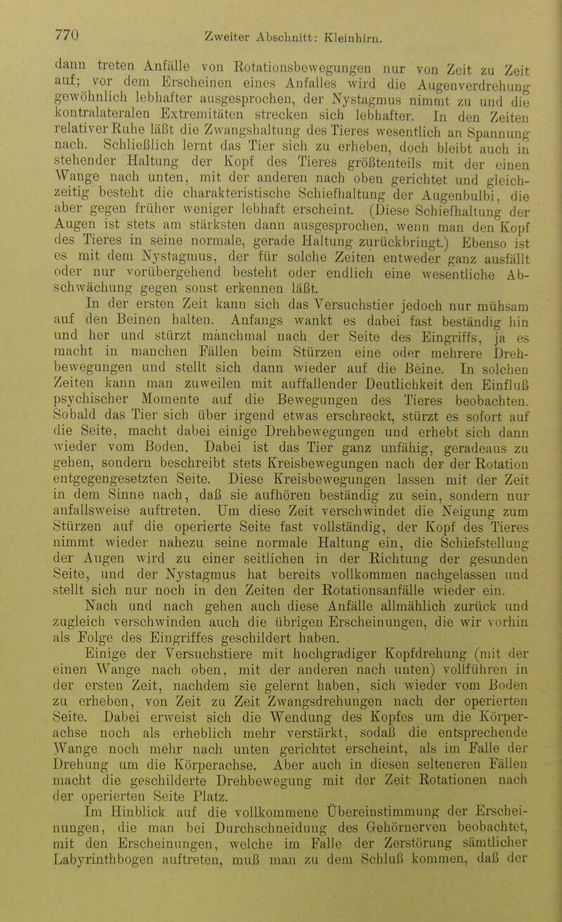 daun treten Anfälle von Rotationsbewegungen nur von Zeit zu Zeit auf; vor dem Erscheinen eines Anfalles wird die Augenverdrehuug gewöhnlich lebhafter ausgesprochen, der Nystagmus nimmt zu und die kontralateralen Extremitäten strecken sich lebhafter. In den Zeiten relativer Ruhe läßt die Zwangshaltung des Tieres wesentlich an Spannung nach. Schließlich lernt das Tier sich zu erheben, doch bleibt auch in stehender Haltung der Kopf des Tieres größtenteils mit der einen Wange nach unten, mit der anderen nach oben gerichtet und gleich- zeitig besteht die charakteristische Schiefhaltung der Augenbulbi, die aber gegen früher weniger lebhaft erscheint. (Diese Schiefhaltung der Augen ist stets am stärksten dann ausgesprochen, wenn man den Kopf des Tieres in seine normale, gerade Haltung zurückbringt.) Ebenso i.st es mit dem Nystagmus, der für solche Zeiten entweder ganz ausfällt oder nur vorübergehend besteht oder endlich eine wesentliche Ab- schwächung gegen sonst erkennen läßt. In der ersten Zeit kann sich das Versuchstier jedoch nur mühsam auf den Beinen halten. Anfangs wankt es dabei fast beständig hin und her und stürzt manchmal nach der Seite des Eingriffs, ja es macht in manchen Fällen beim Stürzen eine oder mehrere Dreh- bewegungen und stellt sich dann wieder auf die Beine. In solchen Zeiten kann man zuweilen mit auffallender Deutlichkeit den Einfluß psychischer Momente auf die Bewegungen des Tieres beobachten. Sobald das Tier sich über irgend etwas erschreckt, stürzt es sofort auf die Seite, macht dabei einige Drehbewegungen und erhebt sich dann wieder vom Boden. Dabei ist das Tier ganz unfähig, geradeaus zu gehen, sondern beschreibt stets Kreisbewegimgen nach der der Rotation entgegengesetzten Seite. Diese Kreisbewegungen lassen mit der Zeit in dem Sinne nach, daß sie aufhören beständig zu sein, sondern nur anfallsweise auftreten. Um diese Zeit verschwindet die Neigung zum Stürzen auf die operierte Seite fast vollständig, der Kopf des Tieres nimmt wieder nahezu seine normale Haltung ein, die Schiefstellung der Augen wird zu einer seitlichen in der Richtung der gesunden Seite, imd der Nystagmus hat bereits vollkommen nachgelas.sen und stellt sich nur noch in den Zeiten der Rotationsanfälle wieder ein. Nach und nach gehen auch diese Anfälle allmählich zurück und zugleich verschwinden auch die übrigen Erscheinungen, die wir vorhin als Folge des Eingriffes geschildert haben. Einige der Versuchstiere mit hochgradiger Kopfdrehung (mit der einen Wange nach oben, mit der anderen nach unten) vollführen in der ersten Zeit, nachdem sie gelernt haben, sich wieder vom Boden zu erheben, von Zeit zu Zeit Zwangsdrehungen nach der operierten Seite. Dabei erweist sich die Wendung des Kopfes um die Körper- achse noch als erheblich mehr verstärkt, sodaß die entsprechende Wange noch mehr nach unten gerichtet erscheint, als im Falle der Drehung um die Körperachse. Aber auch in diesen selteneren Fällen macht die geschilderte Drehbewegung mit der Zeit Rotationen nach der operierten Seite Platz. Im Hinblick auf die vollkommene Übereinstimmung der Erschei- nungen, die man bei Durchschneidung des Gehörnerven beobachtet, mit den Erscheinungen, welche im Falle der Zerstörung sämtlicher Labyrinthbogen auftreten, muß man zu dem Schluß kommen, daß der