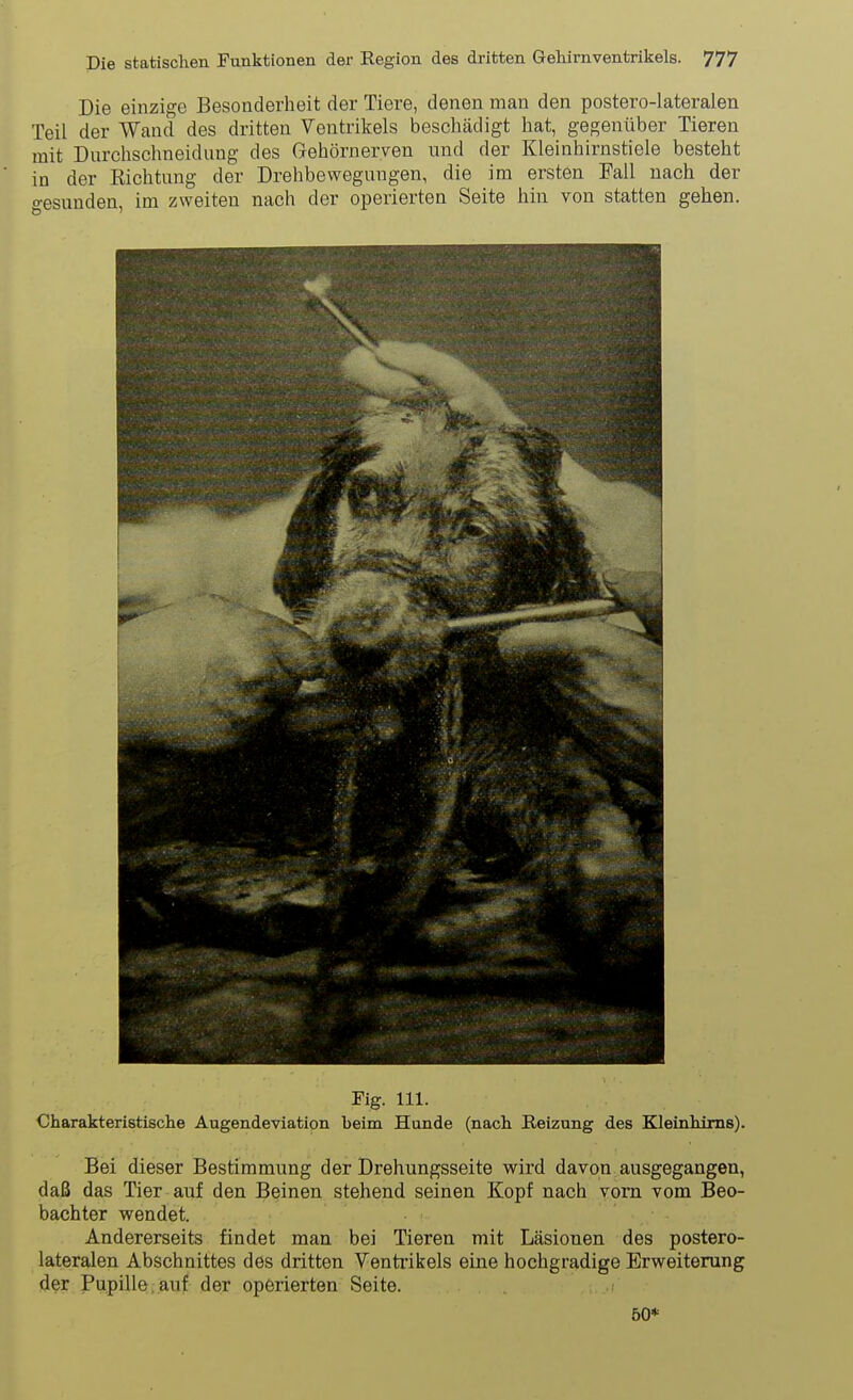 Die einzige Besonderheit der Tiere, denen man den postero-lateraien Teil der Wand des dritten Ventrikels beschädigt hat, gegenüber Tieren mit Durchschneidimg des Gehörnerven und der Kleinhirnstiele besteht in der Eichtung der Drehbewegungen, die im ersten Fall nach der o-esunden, im zweiten nach der operierten Seite hin von statten gehen. Fig. III. Charakteristische Augendeviation beim Hunde (nach Reizung des Kleinhirns). Bei dieser Bestimmung der Drehungsseite wird davon ausgegangen, daß das Tier auf den Beinen stehend seinen Kopf nach vom vom Beo- bachter wendet. Andererseits findet man bei Tieren mit Läsionen des postero- lateraien Abschnittes des dritten Ventiükels eine hochgradige Erweiterung der Pupille, auf der operierten Seite. i 50*