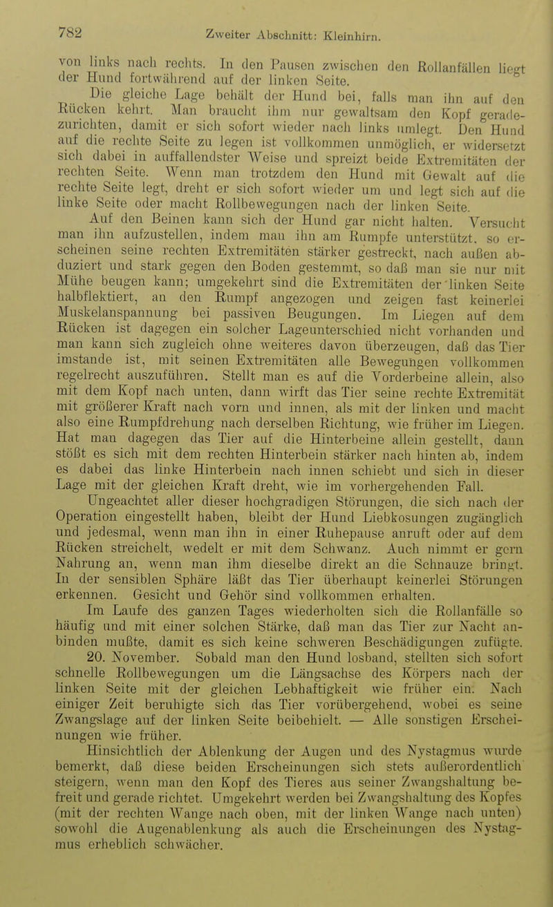 von links nach rechts. In den Pausen zwischen den Rollanfällen liegt der Hund fortwährend auf der linken Seite. Die gleiche Lage behält der Hund bei, falls man ihn auf den Rücken kehrt. Man braucht ihm nur gewaltsam den Kopf gerade- zurichten, damit er sich sofort wieder nach links umlegt. Den Hund auf die rechte Seite zu legen ist vollkommen unmöglich, er widersetzt sich dabei in auffallendster Weise und spreizt beide Extremitäten der rechten Seite. Wenn man trotzdem den Hund mit Gewalt auf die rechte Seite legt, dreht er sich sofort wieder um und legt sich auf die linke Seite oder macht Rollbewegungen nach der linken Seite. Auf den Beinen kann sich der Hund gar nicht halten. Versucht man ihn aufzustellen, indem mau ihn am Rumpfe unterstützt, so er- scheinen seine rechten Extremitäten stärker gestreckt, nach außen ab- diiziert und stark gegen den Boden gestemmt, so daß man sie nur mit Mühe beugen kann; umgekehrt sind die Exti^emitäten der'linken Seite halbflektiert, an den Rumpf angezogen und zeigen fast keinerlei Muskelanspannung bei passiven Beugungen. Im Liegen auf dem Eücken ist dagegen ein solcher Lageunterschied nicht vorhanden und man kann sich zugleich ohne weiteres davon überzeugen, daß das Tier imstande ist, mit seinen Extremitäten alle Bewegungen vollkommen regelrecht auszuführen. Stellt man es auf die Vorderbeine allein, also mit dem Kopf nach unten, dann wirft das Tier seine rechte Extremität mit größerer Kraft nach vorn und innen, als mit der linken und macht also eine Eumpfdrehung nach derselben Richtung, wie früher im Liegen. Hat man dagegen das Tier auf die Hinterbeine allein gestellt, dann stößt es sich mit dem rechten Hinterbein stärker nach hinten ab, indem es dabei das linke Hinterbein nach innen schiebt und sich in dieser Lage mit der gleichen Kraft dreht, wie im vorhergehenden Fall. Ungeachtet aller dieser hochgradigen Störungen, die sich nach der Operation eingestellt haben, bleibt der Hund Liebkosungen zugänglich und jedesmal, wenn man ihn in einer Ruhepause anruft oder auf dem Rücken sti'eichelt, wedelt er mit dem Schwanz. Auch nimmt er gern Nahrung an, wenn man ihm dieselbe direkt an die Schnauze bringt. In der sensiblen Sphäre läßt das Tier überhaupt keinerlei Störungen erkennen. Gesicht und Gehör sind vollkommen erhalten. Im Laufe des ganzen Tages wiederholten sich die Rollanfälle so häufig und mit einer solchen Stärke, daß man das Tier zur Nacht an- binden mußte, damit es sich keine schweren Beschädigungen zufügte. 20. November. Sobald man den Hund losband, stellten sich sofort schnelle Rollbewegungen um die Längsachse des Körpers nach der linken Seite mit der gleichen Lebhaftigkeit wie früher ein. Nach einiger Zeit beruhigte sich das Tier vorübergehend, wobei es seine Zwangslage auf der linken Seite beibehielt. — Alle sonstigen Erschei- nungen wie früher. Hinsichtlich der Ablenkung der Augen und des Nystagmus wurde bemerkt, daß diese beiden Erscheinungen sich stets außerordentlich steigern, wenn man den Kopf des Tieres aus seiner Zwangshaltung be- freit und gerade richtet. Umgekehrt werden bei Zwangshaltung des Kopfes (mit der rechten Wange nach oben, mit der linken Wange nach unten) sowohl die Augenablenkung als auch die Erscheinungen des Nysfcig- mus erheblich schwächer.