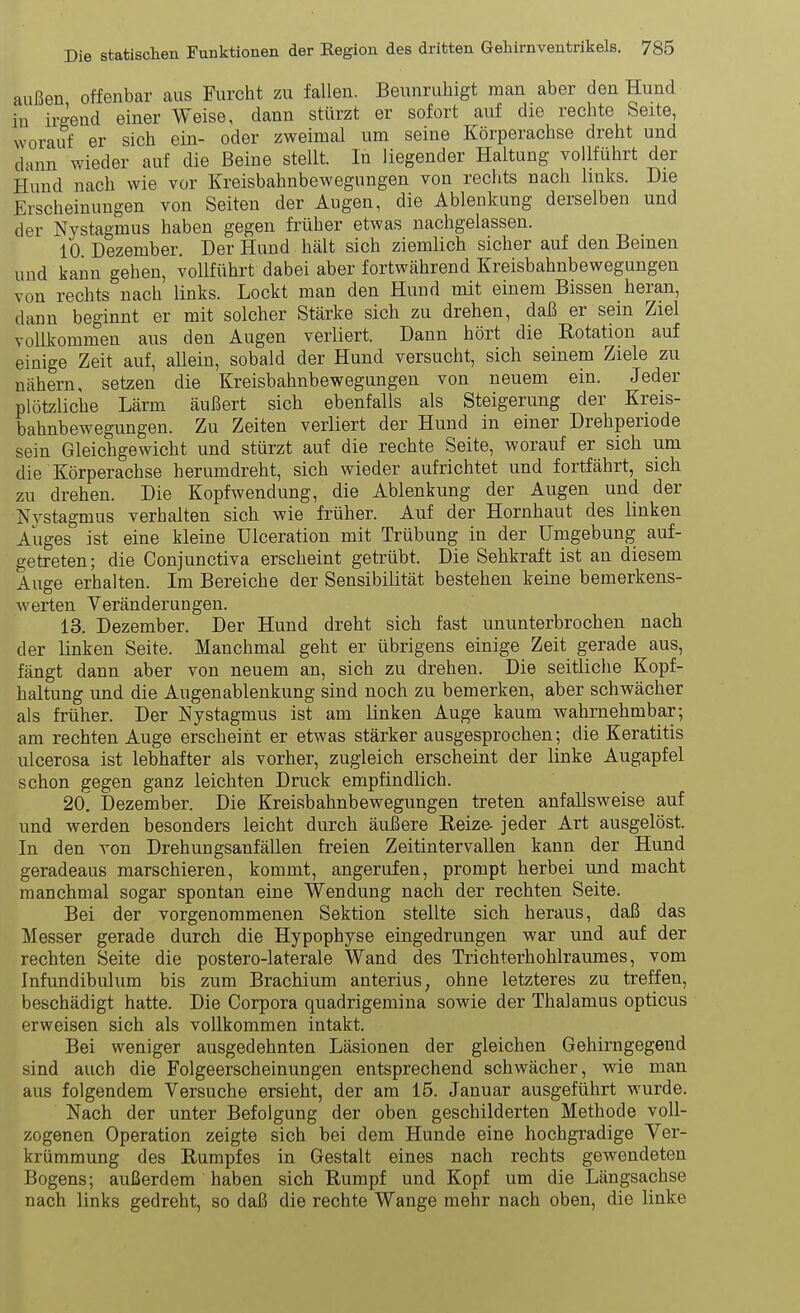 außen offenbar aus Furcht zu fallen. Beunruhigt man aber den Hund in irgend einer Weise, dann stürzt er sofort auf die rechte Seite, worauf er sich ein- oder zweimal um seine Körperachse dreht und dann wieder auf die Beine stellt. In liegender Haltung vollführt der Hund nach wie vor Kreisbahnbewegungen von rechts nach Imks. Die Erscheinungen von Seiten der Augen, die Ablenkung derselben und der Nystagmus haben gegen früher etwas nachgelassen. 10 Dezember. Der Hund hält sich ziemlich sicher auf den Beinen und kann gehen, vollführt dabei aber fortwährend Kreisbahnbewegungen von rechts nach links. Lockt man den Hund mit einem Bissen heran, dann beginnt er mit solcher Stärke sich zu drehen, daß er sein Ziel vollkommen aus den Augen verliert. Dann hört die Kotation auf einige Zeit auf, allein, sobald der Hund versucht, sich seinem Ziele zu nähern, setzen die Kreisbahnbewegungen von neuem ein. Jeder plötzliche Lärm äußert sich ebenfalls als Steigerung der Kreis- bahnbewegungen. Zu Zeiten verliert der Hund in einer Drehperiode sein Gleichgewicht und stürzt auf die rechte Seite, worauf er sich um die Körperachse herumdreht, sich wieder aufrichtet und fortfährt, sich zu drehen. Die Kopfwendung, die Ablenkung der Augen und der Nystagmus verhalten sich wie früher. Auf der Hornhaut des linken Auges ist eine kleine Ulceration mit Trübung in der Umgebung auf- getreten; die Conjunctiva erscheint getrübt. Die Sehkraft ist an diesem Auge erhalten. Im Bereiche der Sensibilität bestehen keine bemerkens- werten Veränderungen. 13. Dezember. Der Hund dreht sich fast ununterbrochen nach der linken Seite. Manchmal geht er übrigens einige Zeit gerade aus, fängt dann aber von neuem an, sich zu drehen. Die seitliche Kopf- haltung und die Augenablenkung sind noch zu bemerken, aber schwächer als früher. Der Nystagmus ist am linken Auge kaum wahrnehmbar; am rechten Auge erscheint er etwas stärker ausgesprochen; die Keratitis ulcerosa ist lebhafter als vorher, zugleich erscheint der linke Augapfel schon gegen ganz leichten Druck empfindlich. 20. Dezember. Die Kreisbahnbewegungen treten anfallsweise auf und werden besonders leicht durch äußere Eeize- jeder Art ausgelöst. In den von Drehungsanfällen freien Zeitintervallen kann der Hund geradeaus marschieren, kommt, angerufen, prompt herbei und macht manchmal sogar spontan eine Wendung nach der rechten Seite. Bei der vorgenommenen Sektion stellte sich heraus, daß das Messer gerade durch die Hypophyse eingedrungen war und auf der rechten Seite die postero-laterale Wand des Trichterhohlraumes, vom Infundibulum bis zum Brachium anterius, ohne letzteres zu treffen, beschädigt hatte. Die Corpora quadrigemina sowie der Thalamus opticus erweisen sich als vollkommen intakt. Bei weniger ausgedehnten Läsionen der gleichen Gehirngegend sind auch die Folgeerscheinungen entsprechend schwächer, wie man aus folgendem Versuche ersieht, der am 15. Januar ausgeführt wurde. Nach der unter Befolgung der oben geschilderten Methode voll- zogenen Operation zeigte sich bei dem Hunde eine hochgradige Ver- krümmung des Rumpfes in Gestalt eines nach rechts gewendeten Bogens; außerdem haben sich Rumpf und Kopf um die Längsachse nach links gedreht, so daß die rechte Wange mehr nach oben, die linke