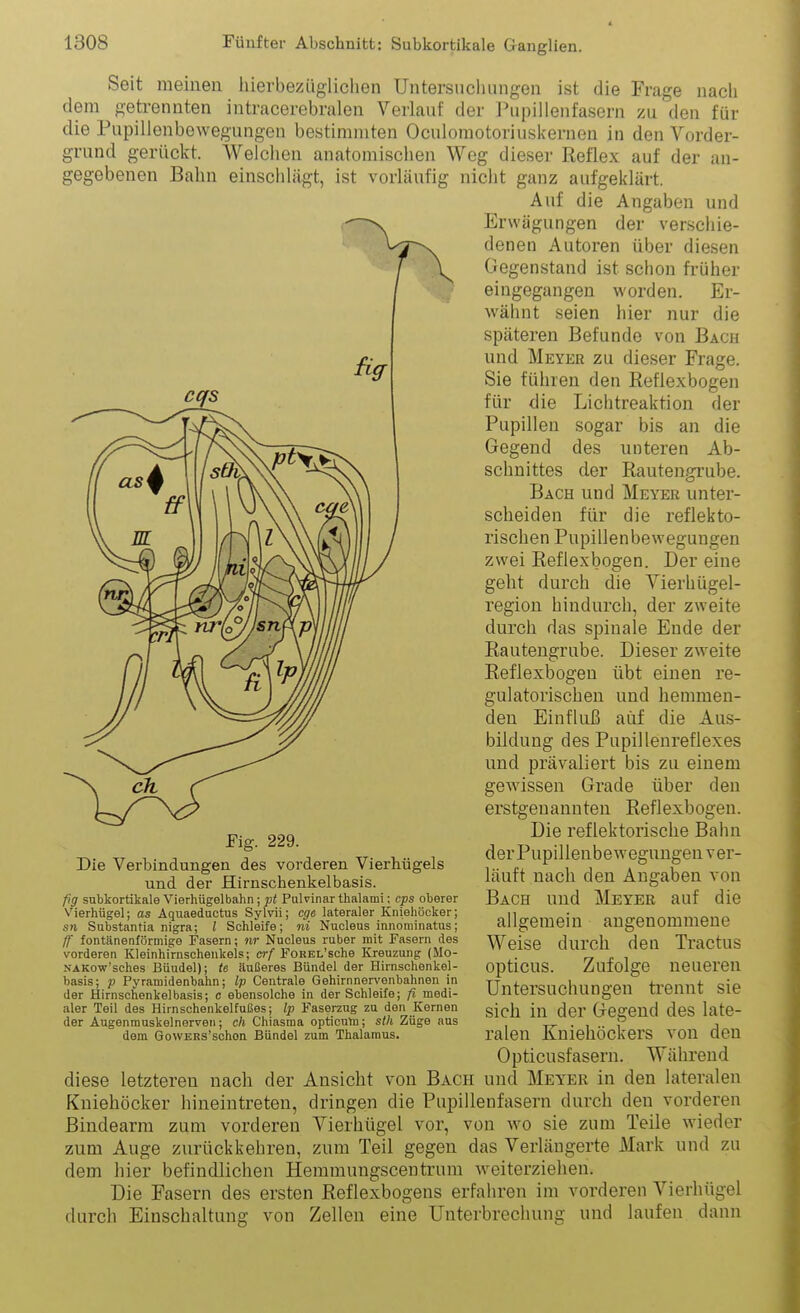 Seit meinen hierbezüglichen üntersucliungen ist die Frage nach dem getrennten intracerebraleu Verlauf der Pupillenfasern zu den für die PupilJenbewegungen bestimmten Oculoraotoriuskernen in den Vorder- grund gerückt. Welclien anatomischen Weg dieser Reflex auf der an- gegebenen Bahn einschlägt, ist vorläufig uiclit ganz aufgeklärt. Auf die Angaben und Erwägungen der verscliie- denen Autoren über diesen Gegenstand ist schon fi-üher eingegangen worden. Er- wähnt seien hier nur die späteren Befunde von Bach und Meyer zu dieser Frage. Sie führen den Reflexbogen für die Lichtreaktion der Pupillen sogar bis an die Gegend des unteren Ab- schnittes der Rautengrube. Bach und Meyer unter- scheiden für die reflekto- rischen Pupillenbewegungen zwei Reflexbogen. Der eine geht durch die Vierhügel- region hindurch, der zweite durch das spinale Ende der Rauteugrube. Dieser zweite Reflexbogen übt einen re- und hemmen- aüf die Aus- bildung des Pupillenreflexes und prävaliert bis zu einem gewissen Grade über den erstgenannten Reflexbogen. Die reflektorische Bahn der Pupillenbeweguugen ver- läuft nach den Angaben von Bach und Meyer auf die allgemein angenommene Weise durch den Tractus opticus. Zufolge neueren Untersuchungen ti'ennt sie sich in der Gegend des late- ralen Kuiehöckers von den Opticusfasern. Während diese letzteren nach der Ansicht von Bach und Meyer in den lateralen Kuiehöcker hineiutreten, dringen die Pupillenfasern durch den vorderen Bindearm zum vorderen Vierhügel vor, von wo sie zum Teile wieder zum Auge zurückkehren, zum Teil gegen das Verlängerte Mark und zu dem hier befindlichen Hemmungscentrum weiterziehen. Die Fasern des ersten Reflexbogeus erfahren im vorderen Vierhügel durch Einschaltung von Zellen eine Unterbrechung und laufen dann gulatorischeu den Einfluß Fig. 229. Die Verbindungen des vorderen Vierhügels und der Hirnschenkelbasis. fig subkortikale Vierhügelbahn; Pulvinar thalami; cps oberer Vierhügel; as Aquaeductus Sylvii; cge lateraler Kniehöcker; sn Substantia nigra; / Schleife; ni Nucleus innominatus; ff fontänenförmige Fasern; nr Nucleus ruber mit Fasern des vorderen Kleinhirnsohenkels; erf FoREL'sche Kreuzung (Mo- NAKow'sches Büudel); U äußeres Bündel der Hirnschenkel- basis; p Pyramidenbahn; Ip Centrale Gehirnnervenbahnen in der Hirnschenkelbasis; c ebensolche in der Schleife; fi medi- aler Teil des Hirnschenkelfußes; Ip Faserzug zu den Kernen der Augenmuskelnerven; ch Chiasma opticum; sth Züge aus dem GowERs'schon Bündel zum Thalamus.