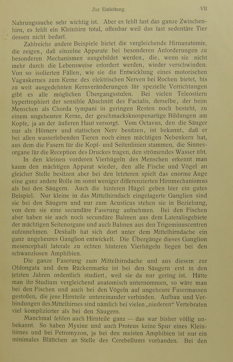 Nahrungssuche sehr wichtig ist. Aber es fehlt fast das ganze Zwischen- hirn, es fehlt ein Kleinhirn total, offenbar weil das fast sedentäre Tier dessen nicht bedarf. Zahlreiche andere Beispiele bietet die vergleichende Hirnanatomie, die zeigen, daß einzelne Apparate bei besonderen Anforderungen zu besonderen Mechanismen ausgebildet werden, die, wenn sie nicht mehr durch die Lebensweise erfordert werden, wieder verschwinden. Von so isolierten Fällen, wie sie die Entwicklung eines motorischen Vaguskernes zum Kerne des elektrischen Nerven bei Rochen bietet, bis zu weit ausgedehnten Kernveränderungen für spezielle Verrichtungen gibt es alle möglichen Übergangsstufen. Bei vielen Teleostiern hypertrophiert der sensible Abschnitt des Facialis, derselbe, der beim Menschen als Chorda tympani in geringen Resten noch besteht, zu einem ungeheuren Kerne, der geschmacksknospenartige Bildungen am Kopfe, ja an der äußeren Haut versorgt. Vom Octavus, den die Säuger nur als Hörnerv und statischen Nerv besitzen, ist bekannt, daß er bei allen wasserlebenden Tieren noch einen mächtigen Nebenkern hat, aus dem die Fasern für die Kopf- und Seitenlinien stammen, die Sinnes- organe für die Reception des Druckes tragen, den strömendes Wasser übt. In den kleinen vorderen Vierhügeln des Menschen erkennt man kaum den mächtigen Apparat wieder, den alle Fische und Vögel an gleicher Stelle besitzen aber bei den letzteren spielt das enorme Auge eine ganz andere Rolle im sonst weniger differenzierten Hirnmechanismus als bei den Säugern. Auch die hinteren Hügel geben hier ein gutes Beispiel. Nur kleine in das Mittelhirndach eingelagerte Ganglien sind sie bei den Säugern und nur zum Acusticus stehen sie in Beziehung, von dem sie eine secundäre Faserung aufnehmen. Bei den Fischen aber haben sie auch noch secundäre Bahnen aus dem Lateralisgebiete der mächtigen Seitenorgane und auch Bahnen aus den Trigeminuscentren aufzunehmen. Deshalb hat sich dort unter dem Mittelhirndache ein ganz ungeheures Ganglion entwickelt. Die Übergänge dieses Ganglion mesencephali laterale zu echten hinteren Vierhügeln liegen bei den schwanzlosen Amphibien. Die ganze Faserung zum Mittelhirndache und aus diesem zur Oblongata und dem Rückenmarke ist bei den Säugern erst in den letzten Jahren ordentlich studiert, weil sie da nur gering ist. Hätte man ihr Studium vergleichend anatomisch unternommen, so wäre man bei den Fischen und auch bei den Vögeln auf ungeheure Fasermassen gestoßen, die jene Hirnteile untereinander verbinden. Aufbau und Ver- bindungen des Mittelhirnes sind nämlich bei vielen „niederen Vertebraten viel komplizierter als bei den Säugern. Manchmal fehlen auch Hirnteile ganz — das war bisher völlig un- bekannt. So haben Myxine und auch Proteus keine Spur eines Klein- hirnes und bei Petromyzon, ja bei den meisten Amphibien ist nur ein minimales Blättchen an Stelle des Cerebellums vorhanden. Bei den