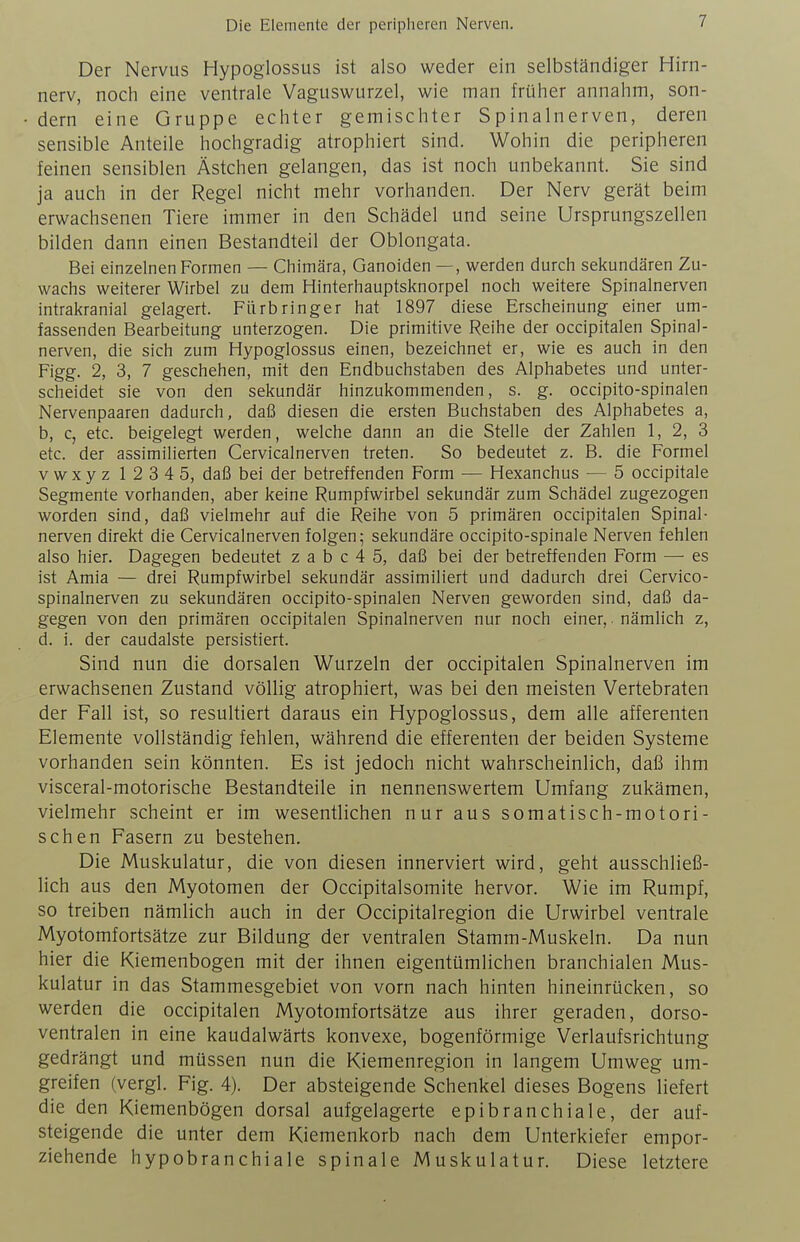 Der Nervus Hypoglossus ist also weder ein selbständiger Hirn- nerv, noch eine ventrale Vaguswurzel, wie man früher annahm, son- dern eine Gruppe echter gemischter Spinalnerven, deren sensible Anteile hochgradig atrophiert sind. Wohin die peripheren feinen sensiblen Ästchen gelangen, das ist noch unbekannt. Sie sind ja auch in der Regel nicht mehr vorhanden. Der Nerv gerät beim erwachsenen Tiere immer in den Schädel und seine Ursprungszellen bilden dann einen Bestandteil der Oblongata. Bei einzelnen Formen — Chimära, Ganoiden —, werden durch sekundären Zu- wachs weiterer Wirbel zu dem Hinterhauptsknorpel noch weitere Spinalnerven intrakranial gelagert. Fiirbringer hat 1897 diese Erscheinung einer um- fassenden Bearbeitung unterzogen. Die primitive Reihe der occipitalen Spinal- nerven, die sich zum Hypoglossus einen, bezeichnet er, wie es auch in den Figg. 2, 3, 7 geschehen, mit den Endbuchstaben des Alphabetes und unter- scheidet sie von den sekundär hinzukommenden, s. g. occipito-spinalen Nervenpaaren dadurch, daß diesen die ersten Buchstaben des Alphabetes a, b, c, etc. beigelegt werden, welche dann an die Stelle der Zahlen 1, 2, 3 etc. der assimilierten Cervicalnerven treten. So bedeutet z. B. die Formel vwxyz 1234 5, daß bei der betreffenden Form — Hexanchus — 5 occipitale Segmente vorhanden, aber keine Rumpfwirbel sekundär zum Schädel zugezogen worden sind, daß vielmehr auf die Reihe von 5 primären occipitalen Spinal- nerven direkt die Cervicalnerven folgen; sekundäre occipito-spinale Nerven fehlen also hier. Dagegen bedeutet z a b c 4 5, daß bei der betreffenden Form —- es ist Amia — drei Rumpfwirbel sekundär assimiliert und dadurch drei Cervico- spinalnerven zu sekundären occipito-spinalen Nerven geworden sind, daß da- gegen von den primären occipitalen Spinalnerven nur noch einer,. nämlich z, d. i. der caudalste persistiert. Sind nun die dorsalen Wurzeln der occipitalen Spinalnerven im erwachsenen Zustand völlig atrophiert, was bei den meisten Vertebraten der Fall ist, so resultiert daraus ein Hypoglossus, dem alle afferenten Elemente vollständig fehlen, während die efferenten der beiden Systeme vorhanden sein könnten. Es ist jedoch nicht wahrscheinlich, daß ihm visceral-motorische Bestandteile in nennenswertem Umfang zukämen, vielmehr scheint er im wesentlichen nur aus somatisch-motori- schen Fasern zu bestehen. Die Muskulatur, die von diesen innerviert wird, geht ausschließ- lich aus den Myotomen der Occipitalsomite hervor. Wie im Rumpf, so treiben nämlich auch in der Occipitalregion die Urwirbel ventrale Myotomfortsätze zur Bildung der ventralen Stamm-Muskeln. Da nun hier die Kiemenbogen mit der ihnen eigentümlichen branchialen Mus- kulatur in das Stammesgebiet von vorn nach hinten hineinrücken, so werden die occipitalen Myotomfortsätze aus ihrer geraden, dorso- ventralen in eine kaudalwärts konvexe, bogenförmige Verlaufsrichtung gedrängt und müssen nun die Kiemenregion in langem Umweg um- greifen (vergl. Fig. 4). Der absteigende Schenkel dieses Bogens liefert die den Kiemenbögen dorsal aufgelagerte epibranchiale, der auf- steigende die unter dem Kiemenkorb nach dem Unterkiefer empor- ziehende hypobranchiale spinale Muskulatur. Diese letztere