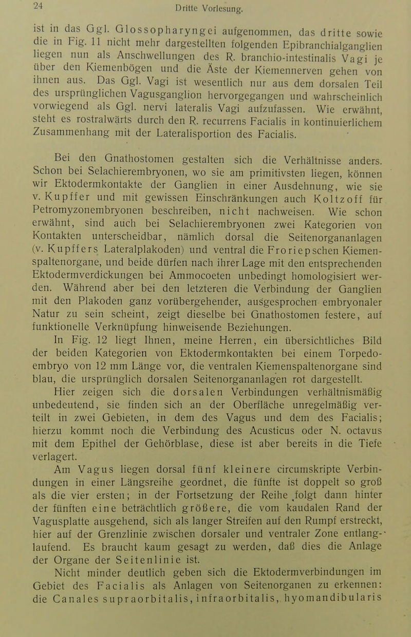 ist in das Ggi. Glossopharyngei aufgenommen, das dritte sowie die in Fig. 11 nicht mehr dargestellten folgenden Epibranchialganglien liegen nun als Anschwellungen des R. branchio-intestinalis Vagi je über den Kiemenbögen und die Äste der Kiemennerven gehen von ihnen aus. Das Ggl. Vagi ist wesentlich nur aus dem dorsalen Teil des ursprünglichen Vagusganglion hervorgegangen und wahrscheinlich vorwiegend als Ggl. nervi lateralis Vagi aufzufassen. Wie erwähnt, steht es rostralwärts durch den R. recurrens Facialis in kontinuierlichem' Zusammenhang mit der Lateralisportion des Facialis. Bei den Gnathostomen gestalten sich die Verhältnisse anders. Schon bei Selachierembryonen, wo sie am primitivsten liegen, können wir Ektodermkontakte der Ganglien in einer Ausdehnung, wie sie V. Kupffer und mit gewissen Einschränkungen auch Koltzoff für Petromyzonembryonen beschreiben, nicht nachweisen. Wie schon erwähnt, sind auch bei Selachierembryonen zwei Kategorien von Kontakten unterscheidbar, nämlich dorsal die Seitenorgananlagen (v. Kupffers Lateralplakoden) und ventral die Froriepschen Kiemen- spaltenorgane, und beide dürfen nach ihrer Lage mit den entsprechenden Ektodermverdickungen bei Ammocoeten unbedingt homologisiert wer- den. Während aber bei den letzteren die Verbindung der Ganglien mit den Plakoden ganz vorübergehender, ausgesprochen embryonaler Natur zu sein scheint, zeigt dieselbe bei Gnathostomen festere, auf funktionelle Verknüpfung hinweisende Beziehungen. In Fig. 12 liegt Ihnen, meine Herren, ein übersichtliches Bild der beiden Kategorien von Ektodermkontakten bei einem Torpedo- embryo von 12 mm Länge vor, die ventralen Kiemenspaltenorgane sind blau, die ursprünglich dorsalen Seitenorgananlagen rot dargestellt. Hier zeigen sich die dorsalen Verbindungen verhältnismäßig unbedeutend, sie finden sich an der Oberfläche unregelmäßig ver- teilt in zwei Gebieten, in dem des Vagus und dem des Facialis; hierzu kommt noch die Verbindung des Acusticus oder N. octavus mit dem Epithel der Gehörblase, diese ist aber bereits in die Tiefe verlagert. Am Vagus liegen dorsal fünf kleinere circumskripte Verbin- dungen in einer Längsreihe geordnet, die fünfte ist doppelt so groß als die vier ersten; in der Fortsetzung der Reihe ,folgt dann hinter der fünften eine beträchtlich größere, die vom kaudalen Rand der Vagusplatte ausgehend, sich als langer Streifen auf den Rumpf erstreckt, hier auf der Grenzlinie zwischen dorsaler und ventraler Zone entlang-- laufend. Es braucht kaum gesagt zu werden, daß dies die Anlage der Organe der Seitenlinie ist. Nicht minder deutlich geben sich die Ektodermverbindungen im Gebiet des Facialis als Anlagen von Seitenorganen zu erkennen: die Canales supr aorbitalis, i nfraorbitalis, hyomandibularis