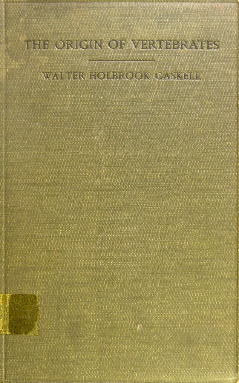 HE v^RIGlH OF VERTEBRA;:rES ... ■lilt. ma'ii'iiMiIiiiinnmi.. 1^.- TER HOLBROOK GASKE