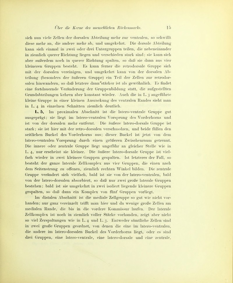 sich nun viele Zellen der dorsalen Abteilung mehr zur ventralen, so schwillt diese mehr an, die andere mehr ab, und umgekehrt. Die dorsale Abteilung kann sich einmal in zwei oder drei Untergruppen teilen, die nebeneinander in ziemlich querer Richtung liegen und verschieden stark sind; sie kann sich aber außerdem noch in querer Richtung spalten, so daß sie dann aus vier kleineren Gruppen besteht. Es kann ferner die retrodorsale Gruppe sich mit der dorsalen vereinigen, und umgekehrt kann von der dorsalen Ab- teilung (besonders der äußeren Gruppe) ein Teil der Zellen zur retrodor- salen hinwandern, so daß letztere dann*stärker ist als gewöhnlich. Es findet eine fortdauernde Veränderung der Gruppenbildung statt, die aufgestellten Grundabteilungen kehren aber konstant wieder. Auch die in L. 3 angeführte kleine Gruppe in einer kleinen Auszackung des ventralen Randes sieht man in L. 4 in einzelnen Schnitten ziemlich deutlich. Ij. 5, Im proximalen Abschnitt ist die latero-ventrale Gruppe gut ausgeprägt; sie liegt im latero-ventralen Vorsprung des Vorderhorns und ist von der dorsalen mehr entfernt. Die äußere latero-dorsale Gruppe ist stark; sie ist hier mit der retro-dorsalen verschmolzen, und beide füllen den seitlichen Buckel des Vorderhorns aus; dieser Buckel ist jetzt von dem latero-ventralen Vorsprung durch einen größeren Zwischenraum getrennt. Die innere oder zentrale Gruppe liegt ungefähr an gleicher Stelle wie in L. 4, nur erscheint sie kleiner. Die äußere latero-dorsale Gruppe ist viel- fach wieder in zwei kleinere Gruppen gespalten. Ist letzteres der Fall, so besteht der ganze laterale Zellkomplex aus vier Gruppen, die einen nach dem Seitenstrang zu offenen, ziemlich rechten Winkel bilden. Die zentrale Gruppe verändert sich vielfach, bald ist sie von der latero-ventralen, bald von der latero-dorsalen absorbiert, so daß nur zwei große laterale Gruppen bestehen; bald ist sie umgekehrt in zwei isoliert liegende kleinere Gruppen gespalten, so daß dann ein Komplex von fünf Gruppen vorliegt. Im distalen Abschnitt ist die mediale Zellgruppe so gut wie nicht vor- handen; nur ganz vereinzelt trifft man hier und da wenige große Zellen am medialen Rande, die bis in die vordere Kommissur laufen. Der laterale Zellkomplex ist noch in ziemlich voller Stärke vorhanden, zeigt aber nicht so viel Zerspaltungen wie in L. 4 und L. 3. Entweder sämtliche Zellen sind in zwei große Gruppen geordnet, von denen die eine im latero-ventralen, die andere im latero-dorsalen Buckel des Vorderhorns liegt, oder es sind drei Gruppen, eine latero-ventrale, eine latero-dorsale und eine zentrale,