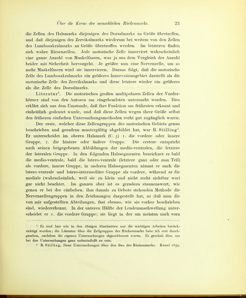 die Zellen des Halsmarks diejenigen des Dorsalmarks an Größe übertreffen, und daß diejenigen des Zervikalmarks wiederum bei weitem von den Zellen des Lumbosakralmarks an Größe übertroffen werden. Im letzteren finden sich wahre Riesenzellen. Jede motorische Zelle innerviert wahrscheinlich eine ganze Anzahl von Muskelfasern, was ja aus dem Vergleich der Anzahl beider mit Sicherheit hervorgeht. Je größer nun eine Nervenzelle, um so mehr Muskelfasern wird sie innervieren. Daraus folgt, daß die motorische Zelle des Lumbosakralmarks ein größeres Innervationsgebiet darstellt als die motorische Zelle des Zervikalmarks und diese letztere wieder ein größeres als die Zelle des Dorsalmarks. Literatur^ Die motorischen großen multipolaren Zellen der.Vorder- hörner sind von den Autoren am eingehendsten untersucht worden. Dies erklärt sich aus dem Umstände, daß ihre Funktion am frühesten erkannt und einheitlich gedeutet wurde, und daß diese Zellen wegen ihrer Größe selbst den früheren einfachen Untersuchungsmethoden recht gut zugänglich waren. Der erste, welcher diese Zellengruppen des motorischen Gebiets genau beschrieben und geradezu mustergültig abgebildet hat, war B. Stilling. Er unterscheidet im oberen Halsmark (C. 3) i. die vordere oder innere Gruppe, 2. die hintere oder äußere Gruppe. Die erstere entspricht nach seinen beigegebenen Abbildungen der medio-ventralen, die letztere der lateralen Gruppe. In den folgenden Halssegmenten bezeichnet er bald die medio-ventrale, bald die latero-ventrale (letztere ganz oder zum Teil) als vordere, innere Gruppe, in anderen Halssegmenten nimmt er auch die latero-ventrale und latero-intermediäre Gruppe als vordere, während er die mediale (wahrscheinlich, weil sie zu klein und nicht recht sichtbar war) gar nicht beachtet. Im ganzen aber ist es geradezu staunenswert, wie genau er bei der einfachen, ihm damals zu Gebote stehenden Methode die Nervenzellengruppen in den Zeichnungen dargestellt hat, so daß man die von mir aufgestellten Abteilungen, fast ebenso, wie sie vorher beschrieben sind, wiedererkennt. In der unteren Hälfte der Lendenanschwellung unter- scheidet er I. die vordere Gruppe; sie liegt in der am meisten nach vorn • Es sind hier wie in den übrigen Abschnitten nur die wichtigen Arbeiten berück- sichtigt worden; die Literatur über die Zellgruppen des Rückenmarks habe ich erst durch- gesehen, nachdem die eigenen Untersuchungen abgeschlossen waren. Es geschah dies, um bei den Untersuchungen ganz unbeeinflußt zu sein. ^ B. ötiiling, Neue Untersuchungen über den Bau des Rückenmarks. Kassel 1859.