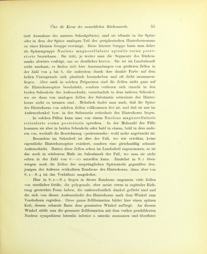 (mit Ausnahme des unteren Sakralgebiets), sind sie oftmals in der Spitze oder in dem der Spitze analogen Teil des peripherischen Hinterhornsaums zu einer kleinen Gruppe vereinigt. Diese letztere Gruppe kann man daher als Spitzengruppe Nucleus magnocellularis apicalis cornu poste- rioris bezeichnen. Sie tritt, je weiter man die Segmente des Rücken- marks abwärts verfolgt, um so deutlicher hervor. Sie ist im Lumbaimark recht markant, es finden sicli hier Ansammlungen von größeren Zellen in der Zahl von 4 bis 8, die außerdem durch ihre dunkle Farbe auf dem hellen Untergrunde sich plastisch herausheben und oft dicht zusammen- liegen. Aber auch in solchen Präparaten sind die Zellen nicht ganz auf die Hinterhornspitze bescliränkt, sondern verlieren sich einzeln in den beiden Schenkeln der Außenschicht, vornehmlich in dem äußeren Schenkel, wo sie dann von analogen Zellen der Substantia reticularis des Hinter- horns nicht zu trennen sind. Mehrfach findet man auch, daß die Spitze des Hinterhorns von solchen Zellen vollkommen frei ist, und daß sie nur im Außenschenkel bzw. in der Substantia reticularis des Hinterhorns liegen. In solchen Fällen kann man von einem Nucleus magnocellularis reticularis cornu posterioris sprechen. In der Mehrzahl der Fälle kommen sie aber in beiden Schenkeln oder bald in einem, bald in dem ande- ren vor, weshalb die Bezeichnung »pericornualis« wohl mehr angebracht ist. Besonders im Sakralteil ist dies der Fall, wo wie erwähnt, keine eigentliche Hinterhornspitze existiert, sondern eine gleichmäßig schmale Außenschicht. Hatten diese Zellen schon im Lumbaiteil zugenommen, so ist das noch in stärkerem Maße im Sakralmark der Fall, wo man sie nicht selten in der Zahl von 6 —10 antreffen kann. Zunächst in S. i über- wiegen noch die Zellen des ursprünglichen Spitzenteils gegenüber den- jenigen der äußeren retikulären Randzone des Hinterhorns, dann aber von S. 2—S. 4 ist das Verhältnis umgekehrt. Hier in S. 2 — S. 4 liegen in dieser Randzone ungemein viele Zellen von stattlicher Größe, die polygonale, aber meist etwas in sagittaler Rich- tung gestreckte Form haben, die aulSerordentlich dunkel gefärbt sind und die sich von dieser Außenschicht des Hinterhorns nach dem Winkel zum Vorderhorn ergießen. Diese ganze Zellformation bildet hier einen spitzen Keil, dessen schmale Basis dem genannten Winkel aufliegt. An diesem Winkel stößt nun die genannte Zellformation mit dem vorher geschilderten Nucleus sympathicus lateralis inferior s. sacralis zusammen und überflutet