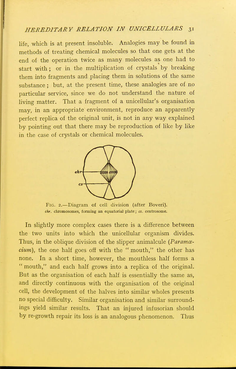 life, which is at present insoluble. Analogies may be found in methods of treating chemical molecules so that one gets at the end of the operation twice as many molecules as one had to start with ; or in the multiplication of crystals by breaking them into fragments and placing them in solutions of the same substance ; but, at the present time, these analogies are of no particular service, since we do not understand the nature of living matter. That a fragment of a unicellular's organisation may, in an appropriate environment, reproduce an apparently perfect replica of the original unit, is not in any way explained by pointing out that there may be reproduction of like by like in the case of crystals or chemical molecules. Fig. 2.—Diagram of cell division (after Boveri). chr. chromosomes, fonning an equatorial plate; cs. centrosome. In slightly more complex cases there is a difference between the two units into which the unicellular organism divides. Thus, in the oblique division of the slipper animalcule {Paramce- cium), the one half goes off with the  mouth, the other has none. In a short time, however, the mouthless half forms a  mouth, and each half grows into a replica of the original. But as the organisation of each half is essentially the same as, and directly continuous with the organisation of the original cell, the development of the halves into similar wholes presents no special difficulty. Similar organisation and similar surround- ings yield similar results. That an injured infusorian should by re-growth repair its loss is an analogous phenomenon. Thus