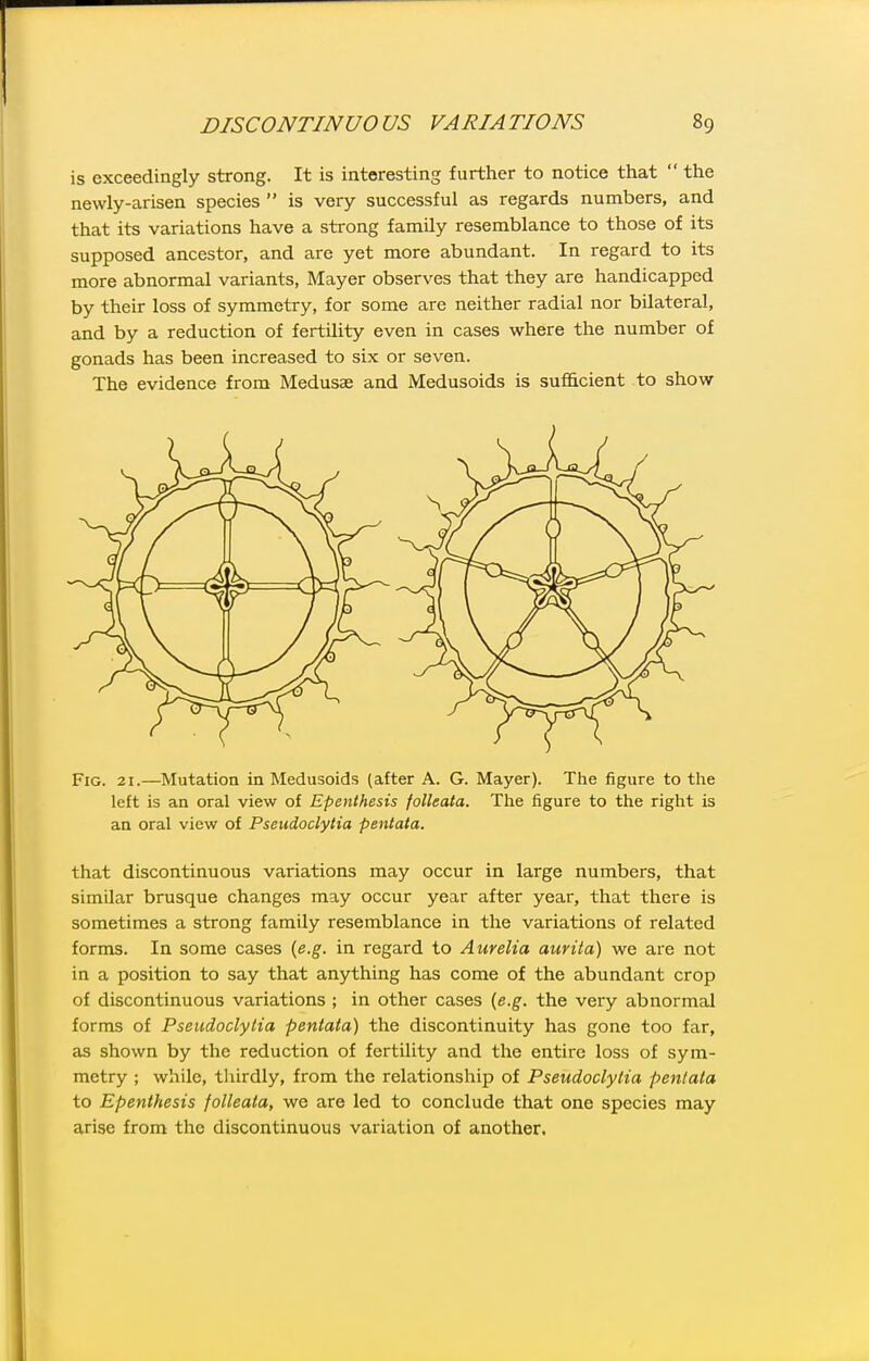 is exceedingly strong. It is interesting further to notice that  the newly-arisen species  is very successful as regards numbers, and that its variations have a strong family resemblance to those of its supposed ancestor, and are yet more abundant. In regard to its more abnormal variants, Mayer observes that they are handicapped by their loss of symmetry, for some are neither radial nor bilateral, and by a reduction of fertility even in cases where the number of gonads has been increased to six or seven. The evidence from Medusae and Medusoids is sufficient to show Fig. 21.—Mutation in Medusoids (after A. G. Mayer). The figure to the left is an oral view of Epenthesis folleata. The figure to the right is an oral view of Pseudoclytia pentata. that discontinuous variations may occur in large numbers, that similar brusque changes may occur year after year, that there is sometimes a strong family resemblance in the variations of related forms. In some cases [e.g. in regard to Amelia aurita) we are not in a position to say that anything has come of the abundant crop of discontinuous variations ; in other cases {e.g. the very abnormal forms of Pseudoclytia pentata) the discontinuity has gone too far, as shown by the reduction of fertility and the entire loss of sym- metry ; while, tliirdly, from the relationship of Pseudoclytia pentata to Epenthesis folleata, we are led to conclude that one species may arise from the discontinuous variation of another.