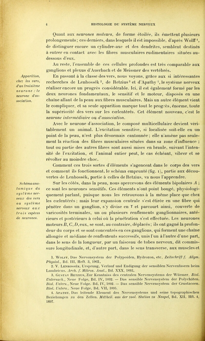 Apparition, chez les vers, d'un troisième neurone : le neurone d'as- sociation. Schémaana- toniique du système ner- veux des vers ou système nerveux aux trois espèces de neurones. Quant aux neurones moteurs, de forme étoilée, ils émettent plusieurs prolongements ; ces derniers, dans lesquels il est impossible, d'après Wolff ^ de distinguer encore un cylindre-axe et des dendrites, semblent destinés à entrer en contact avec les fibres musculaires rudimentaires situées au- dessous d'eux. Au reste, l'ensemble de ces cellules profondes est très comparable aux ganglions et plexus d'Auerbach et de Meissner des vertébrés. En passant à la classe des vers, nous voyons, grâce aux si intéressantes recherches de Lenhossék -, de Retzins-* et d'Apathyle système nerveux réaliser encore un progrès considérable. Ici, il est également formé par les deux neurones fondamentaux, le sensitif et le moteur, disposés en une chaîne allant de la peau aux fibres musculaires. Mais un autre élément vient le compliquer, et sa seule apparition marque tout le progrès, énorme, toute la supériorité des vers sur les cœlentérés. Cet élément nouveau, c'est le neurone intermédiaire ou d'association. Avec le neurone d'association, le composé multicellulaire devient véri- tablement un animal. L'excitation sensitive, si localisée soit-elle en un point de la peau, n'est plus désormais cantonnée ; elle n'amène pas seule- ment la réaction des fibres musculaires situées dans sa zone d'influence ; tout ou partie des autres fibres sont aussi mises en branle, suivant l'inten- sité de l'excitation, et l'animal entier peut, le cas échéant, vibrer et se révolter au moindre choc. Comment ces trois sortes d'éléments s'agencent dans le corps des vers et comment ils fonctionnent, le schéma emprunté (fig. i), partie aux décou- vertes de Lenhossék, partie à celles de Retzius, va nous l'apprendre. Sur les côtés, dans la peau, nous apercevons des éléments bipolaires A ; ce sont les neurones sensitifs. Ces éléments n'ont point bougé, physiologi- quement parlant, puisque nous les retrouvons à la même place que chez les cœlentérés ; mais leur expansion centrale s'est étirée en une fibre qui pénètre dans un ganglion, s'y divise en T et parcourt ainsi, couverte de varicosités terminales, un ou plusieurs renflements ganglionnaires, anté- rieurs et postérieurs à celui où la pénétration s'est effectuée. Les neurones moteurs B, C, I), eux, se sont, au contraire, déplacés ; ils ont gagné la profon- deur du corps et se sont concentrés en ces ganglions, qui forment une chaîne allongée et médiane de renflements successifs, unis l'un à l'autre d'une part, dans le sens de la longueur, par un faisceau de tubes nerveux, dit commis- sure longitudinale, et, d'autre part, dans le sens transverse, aux muscles et 1. WoLFF, Das Nervensystem der Polypoiden, Hydrozoa, etc. Zeitschrift f. Allgm. Physiol., Bd. III, Heft. 3, 1903. 2. V. Lenhossék, Urspruiig, Verlauf und Endigung der sensiblen Nervenfasern beim Luinbricus. Arch. f. Mikros. Anat., Bd. XXX, 1892. 3. GusTAv Retzius, Zur Kenntniss des centralen Nervensystems der Wiirmer. Biol. Untersuch., Neue Folge, Bd. IV, 1892. — Das sensible Nervensystem der Polychâten. Biol. Unters., Neue Folge. Bd. IV, 1892. — Das sensible Nervensystem der Crustaceen. Biol. Unters., Neue Folge, Bd. VII, 1895. 4. Apathy, Das leitende Elément des Nervensystems und seine topographisclien Beziehungen zu den Zellen. Mittheil. aus der zool. Station zu Neapel, Bd. XII, Hft. 4, 1897.