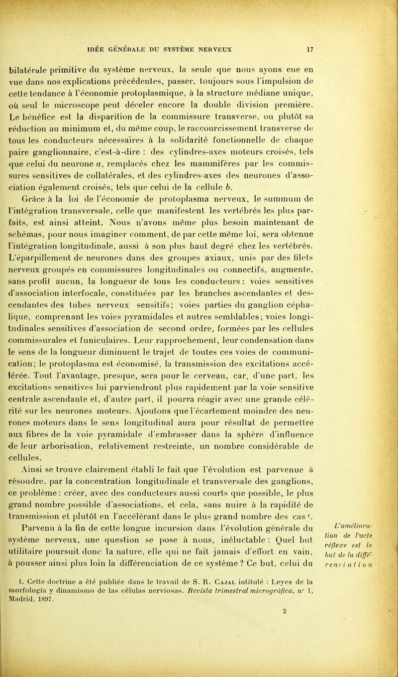 bilatérale primitive du système nerveux, la seule que nous ayons eue en vue dans nos explications précédentes, passer, toujours sous l'impulsion de cette tendance à l'économie protoplasmique, à la structure médiane unique, où seul le microscope peut déceler encore la double division première. Le bénéfice est la disparition de la commissure transverse, ou plutôt sa réduction au minimum et, du même coup, le raccourcissement transverse de tous les conducteurs nécessaires à la solidarité fonctionnelle de chaque paire ganglionnaire, c'est-à-dire : des cylindres-axes moteurs croisés, tels que celui du neurone a, remplacés chez les mammifères par les commis- sures sensitives de collatérales, et des cylindres-axes des neurones d'asso- ciation également croisés, tels que celui de la cellule 6. Grâce à la loi de l'économie de proloplasma nerveux, le summum de l'intégration transversale, celle que manifestent les vertébrés les plus par- faits, est ainsi atteint. Nous n'avons même plus besoin maintenant de schémas, pour nous imaginer comment, de par cette même loi, sera obtenue l'intégration longitudinale, aussi à son plus haut degré chez les vertébrés. L'éparpillement de neurones dans des groupes axiaux, unis par des filets nerveux groupés en commissures longitudinales ou connectifs, augmente, sans profit aucun, la longueur de tous les conducteurs : voies sensitives d'association interfocale, constituées par les branches ascendantes et des- cendantes des tubes nerveux sensitifs; voies parties du ganglion cépha- lique, comprenant les voies pyramidales et autres semblables; voies longi- tudinales sensitives d'association de second ordre, formées par les cellules commissurales et funiculaires. Leur rapprochement, leur condensation dans ie sens de la longueur diminuent le trajet de toutes ces voies de communi- cation; le protoplasma est économisé, la transmission des excitations accé- lérée. Tout l'avantage, presque, sera pour le cerveau, car, d'une part, les excitations sensitives lui parviendront plus rapidement par la voie sensilive centrale ascendante et, d'autre part, il pourra réagir avec une grande célé- rité sur les neurones moteurs. Ajoutons que l'écartement moindre des neu- rones moteurs dans le sens longitudinal aura pour résultat de permettre aux fibres de la voie pyramidale d'embrasser dans la sphère d'influence <ie leur arborisation, relativement restreinte, un nombre considérable de cellules. Ainsi se trouve clairement établi le fait que l'évolution est parvenue à résoudre, par la concentration longitudinale et transversale des ganghons, ce problème : créer, avec des conducteurs aussi courts que possible, le plus grand nombre possible d'associations, et cela, sans nuire à la rapidité de transmission et plutôt en l'accélérant dans le plus grand nombre des cas Parvenu à la fin de cette longue incursion dans l'évolution générale du L'améliora- is , • , • ' 1 1 L1 /-V I 1 1 lion de Incte système nerveux, une question se pose a nous, inéluctable : Quel but . . . . réflexe est le utilitaire poursuit donc la nature, elle qui ne fait jamais d'eiïorl en vain, deladiffé' à pousser ainsi plus loin la différenciation de ce système? Ce but, celui du rend a t i o n 1. Cette doctrine a été publiée dans le travail de S. R. Cajal intitulé : Leyes de la morfologia y dinamismo de las células nerviosas. Ftevisla trimeslral microgrâftca, n 1, Madrid, 1897. 2