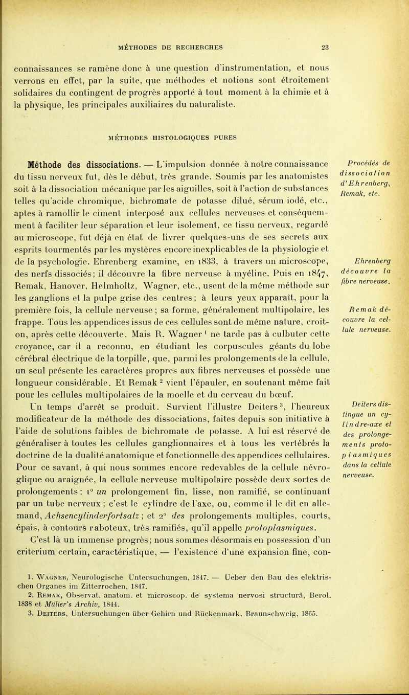 connaissances se ramène donc à une question d'instrumentation, et nous verrons en effet, par la suite, que méthodes et notions sont étroitement solidaires du contingent de progrès apporté à tout moment à la chimie et à la physique, les principales auxiliaires du naturaliste. Méthode des dissociations. — L'impulsion donnée à notre connaissance du tissu nerveux fut, dès le début, très grande. Soumis par les anatomistes soit à la dissociation mécanique par les aiguilles, soit à l'action de substances telles qu'acide cliromique, bichromate de potasse dilué, sérum iodé, etc., aptes à ramollir le ciment interposé aux cellules nerveuses et conséquem- ment à faciliter leur séparation et leur isolement, ce tissu nerveux, regardé au microscope, fut déjà en état de livrer quelques-uns de ses secrets aux esprits tourmentés parles mystères encore inexplicables de la physiologie et de la psychologie. Ehrenberg examine, en i833, à travers un microscope, des nerfs dissociés; il découvre la fibre nerveuse à myéline. Puis en 1847, Remak, Hanover, Helmholtz, Wagner, etc., usent delà même méthode sur les ganglions et la pulpe grise des centres ; à leurs yeux apparaît, pour la première fois, la cellule nerveuse ; sa forme, généralement multipolaire, les frappe. Tous les appendices issus de ces cellules sont de même nature, croit- on, après cette découverte. Mais R. Wagner ' ne tarde pas à culbuter cette croyance, car il a reconnu, en étudiant les corpuscules géants du lobe cérébral électrique de la torpille, que, parmi les prolongements de la cellule, un seul présente les caractères propres aux fibres nerveuses et possède une longueur considérable. Et Remak ^ vient l'épauler, en soutenant même fait pour les cellules multipolaires de la moelle et du cerveau du bœuf. Un temps d'arrêt se produit. Survient l'illustre Deiters •\ l'heureux modificateur de la méthode des dissociations, faites depuis son initiative à l'aide de solutions faibles de bichromate de potasse. A lui est réservé de généraliser à toutes les cellules ganglionnaires et à tous les vertébrés la doctrine de la dualité anatomique et fonctionnelle des appendices cellulaires. Pour ce savant, à qui nous sommes encore redevables de la cellule névro- glique ou araignée, la cellule nerveuse multipolaire possède deux sortes de prolongements : i un prolongement fin, lisse, non ramifié, se continuant par un tube nerveux ; c'est le cylindre de l'axe, ou, comme il le dit en al\e- mand, Achsencylinderfortsalz ; et 2° des prolongements multiples, courts, épais, à contours raboteux, très ramifiés, qu'il appelle protoplasmiques. C'est là un immense progrès; nous sommes désormais en possession d'un critérium certain, caractéristique, — l'existence d'une expansion fine, con- 1. Wagner, Neurologische Untersucliungen, 1847. — Ueber den Bau des elelitris- chen Organes im Zitterrochen, 1847. 2. Remak, Observât, anatom. et microscop. de systema nervosi structura, Berol. 1838 et Miiller's Archiv, 1844. 3. Deiters, Untersuchungen ûber Gehirn und Rûclienmark. Braunscliweig, 1865. Procédés de dissociai ion d'E hrenberg, Remak, etc. Ehrenberg découvre la fibre nerveuse. Remak dé- couvre la cel- lule nerveuse. Deiters dis- tingue un cy- lindre-axe et des prolonge- ments proto- plasmiques dans la cellule nerveuse. MÉTHODES HISTOLOGIQUES PURES