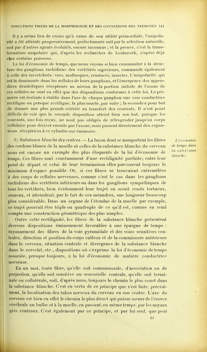 11 y a môme lieu de croire qu'à cause de son utilité primordiale, l'unipola- rité a été atteinte progressivement, perfectionnée soit par la sélection naturelle, soit par d'autres agents évolutifs, encore inconnus ; et la preuve, c'est la trans- formation unipolaire qui, d'après les recherches de Lenhossék, s'opère déjà chez certains poissons. La loi d'économie de temps, que nous voyons si bien commander à la struc- ture des ganglions rachidiens des vertébrés supérieurs, commande également à celle des invertébrés : vers, mollusques, crustacés, insectes. L'unipolarité, qui est la dominante dans les cellules de leurs ganglions, et l'émergence des appen- dices dendritiques récepteurs au niveau de la portion initiale de l'axone de ces cellules ne sont en effet que des dispositions conformes à cette loi. La pre- mière est destinée à établir dans l'axe de chaque ganglion une voie conductrice rectiligne ou presque rectiligne, la plus courte, par suite ; la seconde a pour but de donner une plus grande célérité au transfert des courants. Il n'est point difficile de voir que la seconde disposition atteint bien son but, puisque les courants, une fois reçus, ne sont pas obligés de rétrograder jusqu'au corps cellulaire pour dériver ensuite par l'axone, mais passent directement des expan- sions réceptrices à ce cylindre-axe émissaire. 6) Substance blanche des centres. — La façon dont se comportent les fibres L'économie des cordons blancs de la moelle et celles de la substance blanche du cerveau ''e temps dans nous est encore un exemple des plus éloquents de la loi d'économie de ^ubslance temps. Ces fibres sont constamment d'une reclilignité parfaite; entre leur point de départ et celui de leur terminaison elles parcourent toujours le minimum d'espace possible. Or, si ces fibres se trouvaient entremêlées à des corps de cellules nerveuses, comme c'est le cas dans les ganglions rachidiens des vertébrés inférieurs ou dans les ganglions sympathiques de tous les vertébrés, bien évidemment leur trajet en serait rendu tortueux, sinueux, cl atteindrait, par le fait de ces méandres, une longueur beaucoup plus considérable. Dans un organe de l'étendue de la moelle par exemple, ce trajet pourrait être triple ou quadruple de ce qu'il est, comme en rend compte une construction géométrique des plus simples. Outre cette reclilignité, les fibres de la substance blanche présentent diverses dispositions éminemment favorables à une épargne de temps : rayonnement des fibres de la voie pyramidale et des voies sensitives cen- trales, direction et position du corps calleux et de la commissure antérieure dans le cerveau, situation centrale et divergence de la substance blanche dans le cervelet, etc., dispositions où s'exprime la loi d'économie de temps associée, presque toujours, à la loi d'économie de matière conductrice nerveuse. En un mot, toute fibre, qu'elle soit commissurale, d'association ou de projection, qu'elle soit sensitive ou sensorielle centrale, qu'elle soit termi- nale ou collatérale, suit, d'après nous, toujours le chemin le plus court dans la substance blanche. C'est en vertu de ce principe que s'est faite, précisé- ment, la localisation des tubes nerveux du cerveau en son centre. L'axe du cerveau est bien en effet le chemin le plus direct qui puisse mener de l'écorce cérébrale au bulbe et à la moelle, en passant, en même temps, par les noyaux gris centraux. C'est également par ce principe, et par lui seul, que peut is