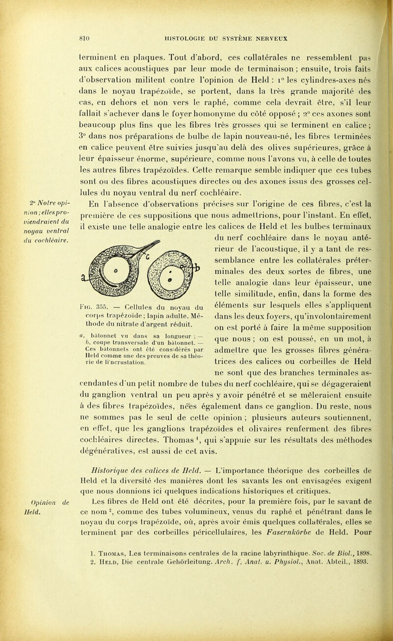 2 Noire opi- nion; elles pro- viendraient du noyau ventral du cochléaire. terminent en plaques. Tout d'abord, ces collatérales ne ressemblent pas aux calices acoustiques par leur mode de terminaison ; ensuite, trois faits d'observation militent contre l'opinion de Held : i° les cylindres-axes nés dans le noyau trapézoïde, se portent, dans la très grande majorité des cas, en dehors et non vers le raphé, comme cela devrait être, s'il leur fallait s'achever dans le foyer homonyme du côté opposé ; 2° ces axones sont beaucoup plus fins que les fibres très grosses qui se terminent en calice ; 3° dans nos préparations de bulbe de lapin nouveau-né, les fibres terminées en calice peuvent être suivies jusqu'au delà des olives supérieures, grâce à leur épaisseur énorme, supérieure, comme nous l'avons vu, à celle de toutes les autres fibres trapézoïdes. Cette remarque semble indiquer que ces tubes sont 0(1 des fibres acoustiques directes ou des axones issus des grosses cel- lules du noyau ventral du nerf cochléaire. En l'absence d'observations précises sur l'origine de ces fibres, c'est la première de ces suppositions que nous admettrions, pour l'instant. En eflet, il existe une telle analogie entre les calices de Held et les bulbes terminaux du nerf cochléaire dans le noyau anté- rieur de l'acoustique, il y a tant de res- semblance entre les collatérales préter- minales des deux sortes de fibres, une telle analogie dans leur épaisseur, une telle similitude, enfin, dans la forme des éléments sur lesquels elles s'appliquent dans les deux foyers, qu'involontairement on est porté à faire la même supposition que nous ; on est poussé, en un mot, à admettre que les grosses fibres généra- trices des calices ou corbeilles de Held ne sont que des branches terminales as- cendantes d'un petit nombre de tubes du nerf cochléaire, qui se dégageraient du ganglion ventral un peu après y avoir pénétré et se mêleraient ensuite à des fibres trapézoïdes, né'es également dans ce ganglion. Du reste, nous ne sommes pas le seul de cette opinion ; plusieurs auteurs soutiennent, en effet, que les ganglions trapézoïdes et olivaires renferment des fibres cochléaires directes. Thomas \ qui s'appuie sur les résultats des méthodes dégénératives, est aussi de cet avis. FiG. 3.5.5. — Cellules du noyau du corps trapézoïde ; lapin adulte. Mé- thode du nitrate d'argent réduit. a, bâtonnet vu dans sa longueur ; — h, coupe transversale d'un bâtonnet. — Ces bâtonnets ont été considérés par Held comme une des preuves de sa théo- rie de li'ncruslation. Historique des calices de Held. — L'importance théorique des corbeilles de Held et la diversité des manières dont les savants les ont envisagées exigent que nous donnions ici quelques indications historiques et critiques. Opinion de Les fibres de Held ont été décrites, pour la première fois, par le savant de Held. ce nom comme des tubes volumineux, venus du raphé et pénétrant dans le noyau du corps trapézoïde, où, après avoir émis quelques collatérales, elles se terminent par des corbeilles péricellulaires, les Fasernkorbe de Held. Pour 1. Thomas, Les terminaisons centrales de la racine labyrinthique. Soc. de BioL, 1898. 2. Held, Die centrale Gehôrleitung. ^rc/î. f. Anal. u. PhysioL, Anat. Abtcil., 1893. JÊi