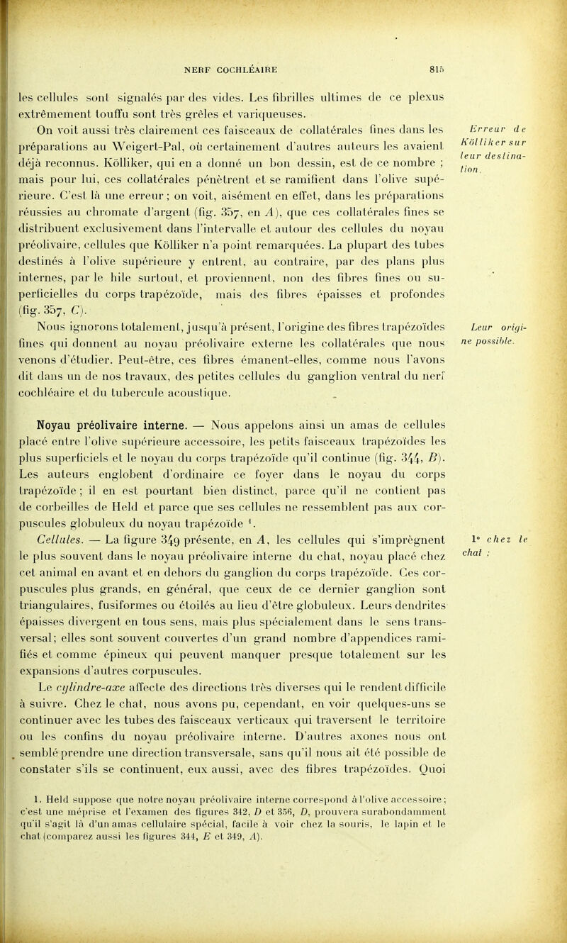 Kôlliker sur leur destina- tion . les cellules sont signalés par des vides. Les fibrilles ultimes de ce plexus extrêmement touffu sont très grêles et variqueuses. On voit aussi très clairement ces faisceaux de collatérales fines dans les Erreur de préparations au Weigert-Pal, oij certainement d'autres auteurs les avaient déjà reconnus. Kôlliker, qui en a donné un bon dessin, est de ce nombre ; mais pour lui, ces collatérales pénètrent et se ramifient dans l'olive supé- rieure. C'est là une erreur ; on voit, aisément en effet, dans les préparations réussies au chromate d'argent (fig. 867, en A), que ces collatérales fines se distribuent exclusivement dans l'intervalle et autour des cellules du noyau préoHvaire, cellules que Kôlliker n'a point remarquées. La plupart des tubes destinés à l'olive supérieure y entrent, au contraire, par des plans plus internes, par le hile surtout, et proviennent, non des fibres fines ou su- perficielles du corps trapézoïde, mais des fibres épaisses et profondes (fig. 357, C). Nous ignorons totalement, jusqu'à présent, l'origine des fibres trapézoïdes Leur origi- fines qui donnent au noyau préolivaire externe les collatérales que nous possible. venons d'étudier. Peut-être, ces fibres émanent-elles, comme nous l'avons dit dans un de nos travaux, des petites cellules du ganglion ventral du nerl' cochléaire et du tubercule acoustique. Noyau préolivaire interne. — Nous appelons ainsi un amas de cellules placé entre l'olive supérieure accessoire, les petits faisceaux trapézoïdes les plus superficiels et le noyau du corps trapézoïde qu'il continue (fig. 344) B). Les auteurs englobent d'ordinaire ce foyer dans le noyau du corps trapézoïde ; il en est pourtant bien distinct, parce qu'il ne contient pas de corbeilles de Held et parce que ses cellules ne ressemblent pas aux cor- puscules globuleux du noyau trapézoïde '. Cellules. — La figure 349 présente, en A, les cellules qui s'imprègnent 1° chez le le plus souvent dans le noyau préolivaire interne du chat, noyau placé chez '^^'^^ ' cet animal en avant et en dehors du ganglion du corps trapézoïde. Ces cor- puscules plus grands, en général, que ceux de ce dernier ganglion sont triangulaires, fusiformes ou étoilés au lieu d'être globuleux. Leurs dendrites épaisses divergent en tous sens, mais plus spécialement dans le sens trans- versal; elles sont souvent couvertes d'un grand nombre d'appendices rami- fiés et comme épineux qui peuvent manquer presque totalement sur les expansions d'autres corpuscules. Le cylindre-axe alîecte des directions très diverses qui le rendent difficile à suivre. Chez le chat, nous avons pu, cependant, en voir quelques-uns se continuer avec les tubes des faisceaux verticaux qui traversent le territoire ou les confins du noyau préolivaire interne. D'autres axones nous ont semblé prendre une direction transversale, sans qu'il nous ait été possible de constater s'ils se continuent, eux aussi, avec des fibres trapézoïdes. Quoi 1. Held suppose que notre noyau préolivaire interne correspond à l'olive accessoire ; c'est une méprise et l'examen des figures 34:2, D et 3.56, D, prouvera surabondamment qu'il s'agit là d'un amas cellulaire spécial, facile à voir chez la souris, le lapin et le chat (comparez aussi les figures 344, E et 349, A).