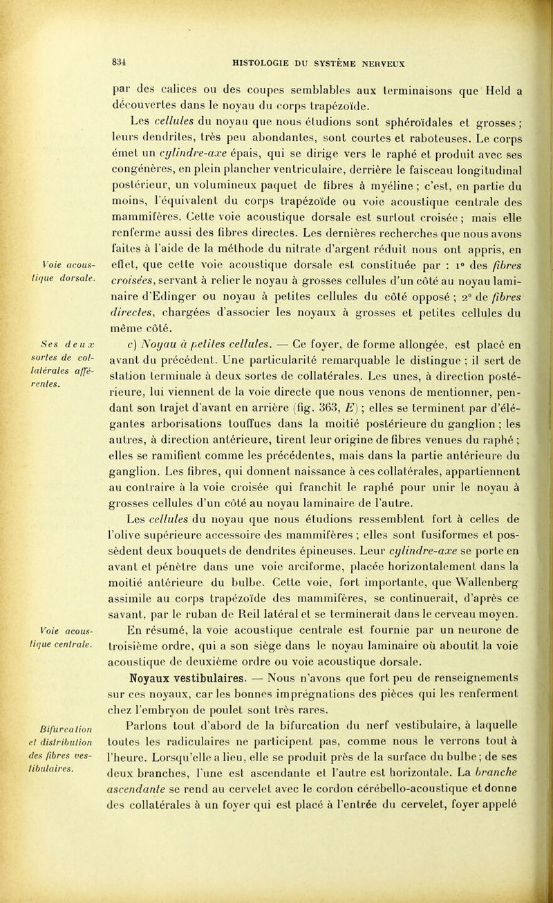 Voie acous- tique dorsale. Ses deux sortes de col- latérales ajfé- rcnles. Voie acous- tique centrale. Bifurcation et distribution des fibres ves- libulaires. par des calices ou des coupes semblables aux terminaisons que Held a découvertes dans le noyau du corps trapézoïde. Les cellules du noyau que nous étudions sont sphéroïdales et grosses; leurs dendrites, très peu abondantes, sont courtes et raboteuses. Le corps émet un cylindre-axe épais, qui se dirige vers le raphé et produit avec ses congénères, en plein plancher ventriculaire, derrière le faisceau longitudinal postérieur, un volumineux paquet de fibres à myéline ; c'est, en partie du moins, l'équivalent du corps trapézoïde ou voie acoustique centrale des mammifères. Cette voie acoustique dorsale est surtout croisée ; mais elle renferme aussi des fibres directes. Les dernières recherches que nous avons faites à l'aide de la méthode du nitrate d'argent réduit nous ont appris, en effet, que cette voie acoustique dorsale est constituée par : i° des fibres croisées, servant à relier le noyau à grosses cellules d'un côté au noyau lami- naire d'Edinger ou noyau à petites cellules du côté opposé ; 2° de fibres directes, chargées d'associer les noyaux à grosses et petites cellules du même côté. c) Noyau à petites cellules. — Ce foyer, de forme allongée, est placé en avant du précédent. Une particularité remarquable le distingue ; il sert de station terminale à deux sortes de collatérales. Les unes, à direction posté- rieure, lui viennent de la voie directe que nous venons de mentionner, pen- dant son trajet d'avant en arrière (fig. 363, E) ; elles se terminent par d'élé- gantes arborisations touffues dans la moitié postérieure du ganglion ; les autres, à direction antérieure, tirent leur origine de fibres venues du raphé ; elles se ramifient comme les précédentes, mais dans la partie antérieure du ganglion. Les fibres, qui donnent naissance à ces collatérales, appartiennent au contraire à la voie croisée qui franchit le raphé pour unir le noyau à grosses cellules d'un côté au noyau laminaire de l'autre. Les cellules du noyau que nous étudions ressemblent fort à celles de l'olive supérieure accessoire des mammifères ; elles sont fusiformes et pos- sèdent deux bouquets de dendrites épineuses. Leur cylindre-axe se porte en avant et pénètre dans une voie arciforme, placée horizontalement dans la moitié antérieure du bulbe. Cette voie, fort importante, que Wallenberg assimile au corps trapézoïde des mammifères, se continuerait, d'après ce savant, par le ruban de Reil latéral et se terminerait dans le cerveau moyen. En résumé, la voie acoustique centrale est fournie par un neurone de troisième ordre, qui a son siège dans le noyau laminaire où aboutit la voie acoustique de deuxième ordre ou voie acoustique dorsale. Noyaux vestibulaires. — Nous n'avons que fort peu de renseignements sur ces noyaux, car les bonnes imprégnations des pièces qui les renferment chez l'embryon de poulet sont très rares. Parlons tout d'abord de la bifurcation du nerf vestibulaire, à laquelle toutes les radiculaires ne participent pas, comme nous le verrons tout à l'heure. Lorsqu'elle a lieu, elle se produit près de la surface du bulbe ; de ses deux branches, l'une est ascendante et l'autre est horizontale. La branche ascendante se rend au cervelet avec le cordon cérébello-acoustique et donne des collatérales à un foyer qui est placé à l'entrée du cervelet, foyer appelé
