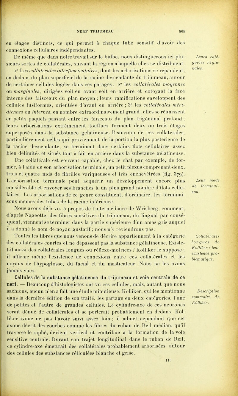 en étages distincts, ce qui permet à chaque tube sensitif d'avoir des connexions cellulaires indépendantes. De même que dans notre travail sur le bidbe, nous distinguerons ici plu- sieurs sortes de collatérales, suivant la région à laquelle elles se distribuent. 1° Les collatérales interfasciculaires, dont les arborisations se répandent, en dedans du plan superficiel de la racine descendante du trijumeau, autour de certaines cellules logées dans ces parages; 2° les collatérales moyennes ou marginales, dirigées soit en avant soit en arrière et côtoyant la face interne des faisceaux du plan moyen ; leurs ramifications enveloppent des cellules fusiforraes, orientées d'avant en arrière ; 3° les collatérales méri- diennes ou internes, en nombre extraordinairement grand; elles se réunissent en petits paquets passant entre les faisceaux du plan trigéminal profond; leurs arborisations extrêmement touffues forment deux ou trois étages superposés dans la substance gélatineuse. Beaucoup de ces collatérales, particulièrement celles qui proviennent de la portion la plus postérieure de la racine descendante, se terminent dans certains îlots cellulaires assez bien délimités et situés tout à fait en arrière dans la substance gélatineuse. Une collatérale est souvent capable, chez le chat par exemple, de for- mer, à l'aide de son arborisation terminale, un petit plexus comprenant deux, trois et quatre nids de fibrilles variqueuses et très enchevêtrées (fig. 879). L'arborisation terminale peut acquérir un développement encore plus considérable et envoyer ses branches à un plus grand nombre d'îlots cellu- laires. Les arborisations de ce genre constituent, d'ordinaire, les terminai- sons mêmes des tubes de la racine inféi-ieure. Nous avons déjà vu, à propos de l'intermédiaire de Wrisberg, comment, d'après Nageotte, des fibres sensitives du trijumeau, du lingual par consé- quent, viennentse terminer dans la partie supérieure d'un amas gris auquel il a donné le nom de noyau gustatif ; nous n'y reviendrons pas. Toutes les fibres que nous venons de décrire appartiennent à la catégorie ■des collatérales courtes et ne dépassent pas la substance gélatineuse. Existe- l-il aussi des collatérales longues ou réflexo-motrices ? Kôlliker le suppose ; il affirme même l'existence de connexions entre ces collatérales et les noyaux de l'hypoglosse, du facial et du masticateur. Nous ne les avons jamais vues. Cellules de la substance gélatineuse du trijumeau et voie centrale de ce nerf. — Beaucoup d'histologistes ont vu ces cellules, mais, autant que nous sachions, aucun n'en a fait une étude minutieuse. Kôlliker, qui les mentionne dans la dernière édition de son traité, les partage en deux catégories, l'une de petites et l'autre de grandes cellules. Le cylindre-axe de ces neurones serait dénué de collatérales et se porterait probablement en dedans. Kôl- liker avoue ne pas l'avoir suivi assez loin ; il admet cependant que cet axone décrit des courbes comme les fibres du ruban de Reil médian, qu'il traverse le raphé, devient vertical et contribue à la formation de la voie sensitive centrale. Durant son trajet longitudinal dans le ruban de Reil, ce cylindre-axe émettrait des collatérales probablement arborisées autour des cellules des substances réticulées blanche et grise. 115 Leurs caté- gories régio- nales. Leur mode de terminai- son. Collatérale.'^ longues de Kôlliker : leur existence pro- Ijlématique. Description sommaire de Kôlliker.