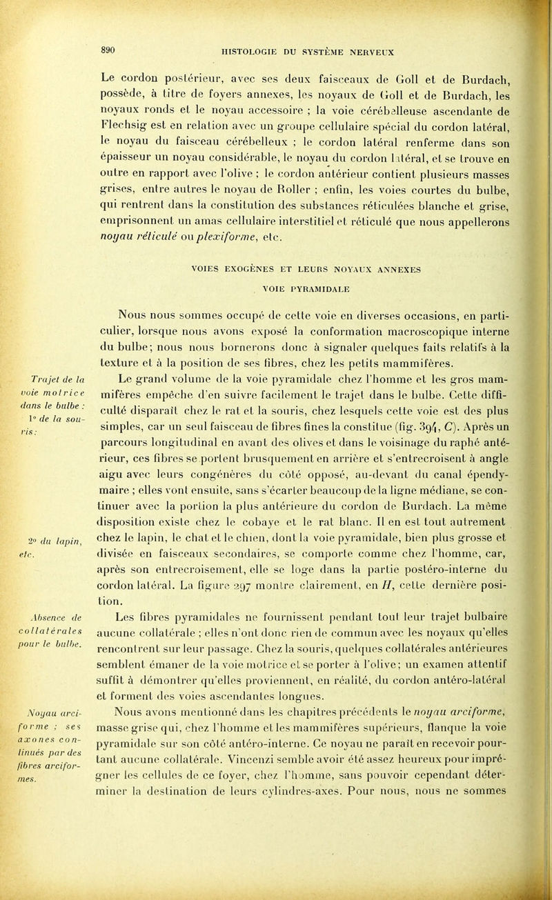 Le cordon postérieur, avec ses deux faisceaux de GoU et de Burdach, possède, à titre de foyers annexes, les noyaux de GoU et de Burdach, les noyaux ronds et le noyau accessoire ; la voie céréballeuse ascendante de Flechsig est en relation avec un groupe cellulaire spécial du cordon latéral, le noyau du faisceau cérébelleux ; le cordon latéral renferme dans son épaisseur un noyau considérable, le noyau du cordon 1 itérai, et se trouve en outre en rapport avec l'olive ; le cordon antérieur contient plusieurs masses grises, entre autres le noyau de Roller ; enfin, les voies courtes du bulbe, qui rentrent dans la constitution des substances réticulées blanche et grise, emprisonnent un amas cellulaire interstitiel et réticulé que nous appellerons noyau réticulé ouplexiforme, etc. VOIES EXOGÈNES ET LEURS NOYAUX ANNEXES VOIE PYRAMIDALE Nous nous sommes occupé de cette voie en diverses occasions, en parti- culier, lorsque nous avons exposé la conformation macroscopique interne du bulbe; nous nous bornerons donc à signaler quelques faits relatifs à la texture et à la position de ses fibres, chez les petits mammifères. Trajet de la Le grand volume de la voie pyramidale chez l'homme et les gros mam- voie molrice mifères empêche d'en suivre facilement le trajet dans le bulbe. Cette diffî- culté disparait chez le rat et la souris, chez lesquels cette voie est des plus ^.^•^. simples, car un seul faisceau de fibres fines la constitue (fig. 3g4, C). Après un parcours longitudinal en avant des olives et dans le voisinage duraphé anté- rieur, ces fibres se portent brusquement en arrière et s'entrecroisent à angle aigu avec leurs congénères du côté opposé, au-devant du canal épendy- maire ; elles vont ensuite, sans s'écarter beaucoup de la ligne médiane, se con- tinuer avec la portion la plus antérieure du cordon de Burdach. La môme disposition existe chez le cobaye et le rat blanc. Il en est tout autrement 20 (/„ lapin, chez le lapin, le chat et le chien, dont la voie pyramidale, bien plus grosse et eic. divisée en faisceaux secondaires, se comporte comme chez l'homme, car, après son entrecroisement, elle se loge dans la partie postéro-interne du cordon latéral. La figure 297 monlre (ilairement, en H, cette dernière posi- tion. Absence de Les fibres pyramidales ne fournissent pendant tout leur trajet bulbaire collatérales aucune collatérale ; elles n'ont donc rien de commun avec les noyaux qu'elles pour le bulbe, rencontrent sur leur passage. Chez la souris, quelques collatérales antérieures semblent émaner de la voie motrice el se porter à l'olive; un examen attentif suffit à démontrer qu'elles proviennent, en réalité, du cordon antéro-latérui et forment des voies ascendantes longues. Noyau urci- Nous avons mentionné dans les chapitres précédents letioyau arciforme, forme ; ses masse grise qui, chez l'homme et les mammifères supérieurs, flanque la voie pyramidale sur son côté antéro-interne. Ce noyau ne parait en recevoir pour- tant aucune collatérale. Vincenzi semble avoir été assez heureux pour impré- gner les cellules de ce foyer, chez l'homme, sans pouvoir cependant déter- miner la destination de leurs cylindres-axes. Pour nous, nous ne sommes axones con- tinués par des fibres arcifor- mes.