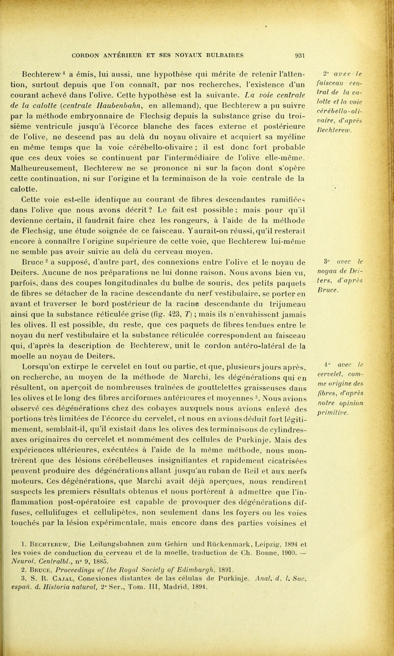 Bechterew^ a émis, lui aussi, une hypothèse qui mérite de retenir l'atten- tion, surtout depuis que l'on connaît, par nos recherches, l'existence d'un courant achevé dans l'olive. Cette hypothèse est la suivante. La voie centrale de la calotte (centrale Haubenbahn, en allemand), que Bechterew a pu suivre par la méthode embryonnaire de Flechsig depuis la substance grise du troi- sième ventricule jusqu'à l'écorce blanche des faces externe et postérieure de l'olive, ne descend pas au delà du noyau olivaire et acquiert sa myéline en même temps que la voie cérébello-olivaire ; il est donc fort probable que ces deux voies se continuent par l'intermédiaire de l'olive elle-même. Malheureusement, Bechterew ne se prononce ni sur la façon dont s'opère cette continuation, ni sur l'origine et la terminaison de la voie centrale de la calotte. Cette voie est-elle identique au courant de fibres descendantes ramifiées dans l'olive que nous avons décrit? Le fait est possible; mais pour qu'il devienne certain, il faudrait faire chez les rongeurs, à l'aide de la méthode de Flechsig, une étude soignée de ce faisceau. Yaurait-on réussi, qu'il resterait encore à connaître l'origine supérieure de cette voie, que Bechterew lui-même ne semble pas avoir suivie au delà du cerveau moyen. Brucea supposé, d'autre part, des connexions entre l'olive et le noyau de Deiters. Aucune de nos préparations ne lui donne raison. Nous avons bien vu, parfois, dans des coupes longitudinales du bulbe de souris, des petits paquets de fibres se détacher de la racine descendante du nerf vestibulaire, se porter en avant et traverser le bord postérieur de la racine descendante du trijumeau ainsi que la substance réticulée grise (fig. 423, T) ; mais ils n'envahissent jamais les olives. 11 est possible, du reste, que ces paquets de fibres tendues entre le noyau du nerf vestibulaire et la substance réticulée correspondent au faisceau qui, d'après la description de Bechterew, unit le cordon antéro-latéral de la moelle au noyau de Deiters. Lorsqu'on extirpe le cervelet en tout ou partie, et que, plusieurs jours après, on recherche, au moyen de la méthode de Marchi, les dégénérations qui en résultent, on aperçoit de nombreuses traînées de gouttelettes graisseuses dans les olives et le long des fibres arciformes antérieures et moyennes ^ Nous avions observé ces dégénérations chez des cobayes auxquels nous avions enlevé des portions très limitées de l'écorce du cervelet, et nous en avions déduit fort légiti- mement, semblait-il, qu'il existait dans les olives des terminaisons de cylindres- axes originaires du cervelet et nommément des cellules de Purkinje. Mais des expériences ultérieures, exécutées à l'aide de la même méthode, nous mon- trèrent que des lésions cérébelleuses insignifiantes et rapidement cicatrisées peuvent produire des dégénérations allant jusqu'au ruban de Beil et aux nerfs moteurs. Ces dégénérations, que Marchi avait déjà aperçues, nous rendirent suspects les premiers résultats obtenus et nous portèrent à admettre que l'in- flammation post-opératoire est capable de provoquer des dégénérations dif- fuses, cellulifuges et cellulipètes, non seulement dans les foyers ou les voies touchés par la lésion expérimentale, mais encore dans des parties voisines et 2° avec le faisceau cen- tral de la ca- lotte et la voie cérébello-oli- vaire, d'aprèa liechlerew. 8 avec le noyau de Dei- ters, d'après Bruce. 4 avec le cervelet, com- me origine des fibres, d'après notre opinion primitive. 1. Bechterew, Die Leitungsbahnen zum Geliirn und Riickenmark, Leipzig, 1894 et les voies de conduction du cerveau et de la moelle, traduction de Ch. Bonne, 1900. — Neurol. Centratbl., n° 9, 1885. 2. Bruce, Proceedings of tlie Royal Society of Edimburgh, 1891. 3. S. R. Cajal, Conexiones distantes de las células de Purkinje. Anal. d. l. Soc. espan. d. Hisloria natural, 2'Ser., Tom. III, Madrid, 1894.