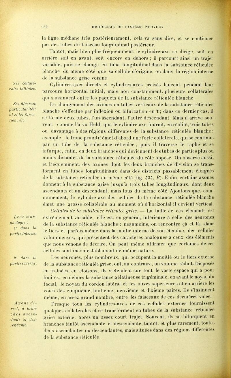 Ses collaté- rales initiales. Ses diverses particularités: bi et tri-furca- fion, etc. Leur mor- phologie : 1° dans la partie interne; ■2 dans la partie externe. Axone di- rect, à bran- ches ascen- dante et des- ■•-endanle. la ligne médiane très postérieurement, cela va sans dire, et se continuer par des lubes du faisceau longitudinal postérieur. Tantôt, mais bien plus fréquemment, le cylindre-axe se dirige, soit en arrière, soit en avant, soit encore en dehors ; il parcourt ainsi un trajet variable, puis se change en tube longitudinal dans la substance réticulée blanche du même côté que sa cellule d'origine, ou dans la région interne de la substance grise voisine. Cylindres-axes directs et cylindres-axes croisés lancent, pendant leur parcours horizontal initial, mais non constamment, plusieurs collatérales qui s'insinuent entre les paquets de la substance réticulée blanche. Le changement des axones en tubes verticaux de la substance réticulée blaqche s'etïeclue par inflexion ou bifurcation en T ; dans ce dernier cas, il se forme deux tubes, l'un ascendant, l'autre descendant. Mais il arrive sou- vent, comme l'a vu Held, que le cylindre-axe fournit, en réalité, trois tubes ou davantage à des régions ditTérentes de la substance réticulée blanche ; exemple : le tronc primitif émet d'abord une forte collatérale, qui se continue par un tube de la substance réticulée ; puis il traverse le raphé et se bifurque, enfin, en deux branches qui deviennent des tubes de parties plus ou moins distantes de la substance réticulée du côté opposé. On observe aussi, et fréquemment, des axones dont les deux branches de division se trans- forment en tubes longitudinaux dans des districts passablement éloignés de la substance réticulée du môme côté (fig. 434, R)- Enfin, certains axones donnent à la substance grise jusqu'à trois tubes longitudinaux, dont deux ascendants et un descendant, mais tous du même côté. Ajoutons que, com- munément, le cylindre-axe des cellules de la substance réticulée blanche émet une grosse collatérale au moment oîi d'horizontal il devient vertical. Cellules de la substance réticulée grise. — La taille de ces éléments est extrêmement variable ; elle est, en général, inférieure à celle des neurones de la substance réticulée blanche ; néanmoins, on rencontre çà et là, dans le tiers et parfois même dans la moitié interne de son étendue, des cellules volumineuses, qui présentent des caractères analogues à ceux des éléments que nous venons de décrire. On peut même affirmer que certaines de ces cellules sont incontestablement de même nature. Les neurones, plus nombreux, qui occupent la moitié ou le tiers externe de la substance réticulée grise, ont, au contraire, un volume réduit. Disposés en traînées, en cloisons, ils s'élendent sur tout le vaste espace qui a pour limites: en dehors la substance gélatineuse trigéminale, en avant le noyau du facial, le noyau du cordon latéral et les olives supérieures et en arrière les voies des cinquième, huitième, neuvième et dixième paires. Ils s'insinuent même, en assez grand nombre, entre les faisceaux de ces dernières voies. Presque tous les cylindres-axes de ces cellules externes fournissent quelques collatérales et se transforment en tubes de la substance réticulée grise externe, après un assez court trajet. Souvent, ils se bifurquent en branches tantôt ascendante et descendante, tantôt, et plus rarement, toutes deux ascendantes ou descendantes, mais situées dans des régions différentes de la substance réticulée.