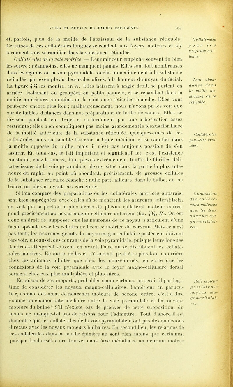 et, parfois, plus de la moitié de l'épaisseur de la substance réticulée. Certaines de ces collatérales longues se rendent aux foyers moteurs et s'y terminent sans se ramifier dans la substance réticulée. Collatérales de la voie motrice. — Leur minceur empêche souvent de bien les suivre ; néanmoins, elles ne manquent jamais. Elles sont fort nombreuses dans les régions où la voie pyramidale touche immédiatement à la sul)stance réticulée, par exemple au-dessus des olives, à la hauteur du noyau du facial. La figure ^34 les montre, en A. Elles naissent à angle droit, se portent en arrière, isolément ou groupées en petits })aquets, et se répandent dans la moitié antérieure, au moins, de la substance réticulée blanche. Elles vont peut-être encore plus loin ; malheureusement, nous n'avons pu les voir que sur de faibles distances dans nos préparations de bulbe de souris. Elles se divisent pendant leur trajet et se terminent par une arborisation assez restreinte ; elles n'en compliquent pas moins grandement le plexus fibrillaire de la moitié antérieure de la substance réticulée. Quelques-unes de ces collatérales nous ont semblé franchir la ligne médiane et se ramifier dans la moitié opposée du bullie, mais il n'est pas toujours possible de s'en assurer. En tous cas, le fait important et significatif ici, c'est L'existence constante, chez la souris, d'un plexus extrêmement toulfu de fibrilles déli- cates issues de la voie pyramidale, plexus situé dans la partie la plus anté- rieure du raphé, au point où abondent, précisément, de grosses cellules de la substance réticulée blanche ; nulle part, ailleurs, dans le bulbe, on ne trouve un plexus ayant ces caractères. Si Ton compare des préparations où les collatérales motrices apparais- sent bien imprégnées avec celles où se montrent les neurones interstitiels, on voit que la portion la plus dense du plexus collatéral moteur corres- pond précisément au noyau magno-cellulaire antérieur (fig. 434i On Pst donc en droit de supposer que les neurones de ce noyau s'articulent d'une façon spéciale avec les cellules de l'écorce motrice du cerveau. Mais ce n'est pas tout; les neurones géants du noyau magno-cellulaire postérieur doivent recevoir, eux aussi, des courants de la voie pyramidale, puisque leurs longues dendrites atteignent souvent, en avant, l'aire où se distribuent les collaté- rales motrices. En outre, celles-ci s'étendent peut-être plus loin en arrière chez les animaux adultes que chez les nouveau-nés, en sorte que les connexions de la voie pyramidale avec le foyer magno-cellulaire dorsal seraient chez eux plus multipliées et plus sûres. En raison de ces rapports, probables sinon certains, ne serait-il pas légi- time de considérer les noyaux magno-cellulaires, l'antérieur en particu- lier, comme des amas de neurones moteurs de second ordre, c'est-à-dire comme un chaînon intermédiaire entre la voie pyramidale et les noyaux moteurs du bulbe ? S'il n'existe pas de preuves de cette supposition, du moins ne manque-t-il pas de raisons pour l'admettre. Tout d'abord il est démontré que les collatérales de la voie pyramidale n'ont pas de connexions directes avec les noyaux moteurs bulbaires. En second lieu, les relations de ces collatérales dans la moelle épinière ne sont rien moins que certaines, puisque Lenhossék a cru trouver dans l'axe médullaire un neurone moteur Collatérales pour les noyaux mo - leurs. Leur abon- dance dans la moitié an- térieure de la réticulée. Collatérales peut-être croi- sées. C 0 nnexions des collaté- rales motrices avec les deux noyaux ma- gno-cellulai- res. Rôle moteur possible des noyaux ma- gno-cellulai- res .