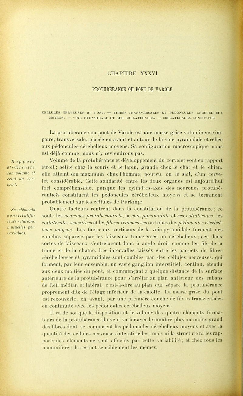 CHAPITRE XXXVI PROTUBÉRANCE OU PONT DE VAROLE CELLULES NERVEUSES DU PONT. — FIBRES TRANSVERSALES ET PÉDONCULES CÉRÉBELLEUX MOYENS. — VOIE PYRAMIDALE ET SES COLLATÉRALES. — COLLATÉRALES SENSITIVES. Rapport étroit en tre son volume et celui du cer- velet. Ses éléments constitutifs; leurs relations mutuelles peu variables. La protubérance ou pont de Varole est une masse grise volumineuse im- paire, transversale, placée en avant et autour de la voie pyramidale et reliée aux pédoncules cérébelleux moyens. Sa configuration macroscopique nous est déjà connue, nous n'y reviendrons pas. Volume de la protubérance et développement du cervelet sont en rapport étroit ; petite chez la souris et le lapin, grande chez le chat et le chien, elle atteint son maximum chez l'homme, pourvu, on le sait, d'un cerve- let considérable. Cette solidarité entre les deux organes est aujourd'hui fort compréliensible, puisque les cylindres-axes des neurones protubé- rantiels constituent les pédoncules cérébelleux moyens et se terminent probablement sur les cellules de Purkinje. Quatre facteurs rentrent dans la constitution de la protubérance ; ce sont : les neurones pi'ohibéranliels, la voie pyramidale et .se.s collatérales, les collatérales sensitives et les fibres transverses ou tubes des pédoncules cérébel- leux moyens. Les faisceaux verticaux de la voie pyramidale forment des couches séparées par les faisceaux transverses on cérébelleux ; ces deux sortes de faisceaux s'entrelacent donc à angle droit comme les fils de la trame et de la chaîne. Les intervalles laissés entre les paquets de fibres cérébelleuses et pyramidales sont comblés par des cellules nerveuses, qui forment, par leur ensemble, un vaste ganglion interstitiel, continu, étendu aux deux moitiés du pont, et commençant à quelque distance de la surface antérieure de la protubérance pour s'arrêter au plan antérieur des rubans de Reil médian et.latéral, c'est-à-dire au plan qui sépare la protubérance proprement dite de l'étage inférieur de la calotte. La masse grise du pont est recouverte, en avant, par une première couche de fibres transversales en continuité avec les pédoncules cérébelleux moyens. Il va de soi que la disposition et le volume des quatre éléments forma- teurs de la protubérance doivent varier avec le nombre plus ou moins grand des fibres dont se composent les pédoncules cérébelleux moyens et avec la quantité des cellules nei-veuses interstitielles ; mais ni la structure ni les rap- ports des éléments ne sont alTeclés par cette variabilité ; et chez tous les mammifères ils restent sensiblement les mêmes.