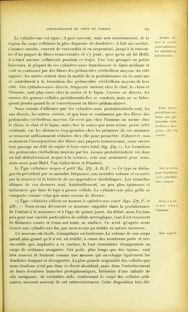 Le cylindre-axe est épais ; il part souvent, mais non constamment, de la région du corps cellulaire la plus dégarnie de dendrites ; il fait un crochet, s'avance ensuite, couvert de varicosités et en serpentant, jusqu'à la rencon- tre d'un paquet de fibres transversales et s'y joint ; quoi qu'en ait dit Held, ]1 n'émet aucune collatérale pendant ce trajet. Une fois groupés en petits faisceaux, la plupart de ces cylindres-axes franchissent la ligne médiane et vont se continuer par des fibres des pédoncules cérébelleux moyens du côté opposé ; les autres restent dans la moitié de la protubérance où ils sont nés el contribuent à la formation des pédoncules cérébelleux moyens de leur côté. Ces cylindres-axes directs, fréquents surtout chez le chat, le chien et l'homme, sont plus rares chez la souris et le lapin. Croisés ou directs, les axones des grosses cellules protubéranlielles se coudent, mais ne se bifur- quent jamais quand ils se convertissent en fibres pédonculaires. Nous venons d'affirmer que les cylindres-axes protubérantiels sont, les uns directs, les autres croisés, el que tous se continuent par des fibres des pédoncules cérébelleux moyens. Ce n'est pas chez l'homme ou même chez le chien, le chat et le lapin, mais chez la souris que nous avons puisé cette certitude, car les distances trop grandes chez les premiers de ces animaux se trouvent suffisamment réduites chez elle pour permettre d'observer, non seulement l'incorporation des fibres aux paquets transversaux, mais encore leur passage au delà du raphé et leur cours total (fig. 439» c)- La formation des pédoncules cérébelleux moyens par les axones protubérantiels est donc un fait définitivement acquis à la science, cela non seulement pour nous, mais aussi pour Held, Van Gehuchten et Pusaleri. b) Type cellulaire moyen et petit (fig. 437, A, D, E). — Ce type se distin- gue du précédent par sa moindre fréquence, son moindre volume et en outre par la minceur et la brièveté de ses appendices dendritiques. Les branches ultimes de ces derniers sont, habituellement, un peu plus épineuses el tortueuses que dans le type à grosse cellule. Le cylindre-axe plus grêle se comporte comme celui que nous venons de décrire. c) Type cellulaire villeux ou moussu à cylindre-axe court (figs. 437, F, et 438). — Nous avons découvert ce neurone singulier dans la protubérance de l'enfant à la naissance et à l'âge de quinze jours. Au début, nous l'avions pris pour une variété particulière de cellule névroglique, tant il est recouvert de filaments courts et ténus sur toute sa surface. Ce n'est qu'après avoir trouvé son cylindre-axe fin, que nous avons pu établir sa nature nerveuse. Ce neurone est étoilé, triangulaire ou fusiforme. Le volume de son corps paraît plus grand qu'il n'est, en réalité, à cause des nombreux poils et ver- rucosités qui, implantés à sa surface, le font ressembler étrangement au corps de certaines araignées. Ces poils, plus longs que des épines, sont très rameux et forment comme une mousse qui enveloppe également les dendrites longues el divergentes. La plus grande originalité des cellules que nous étudions n'est pas dans ce duvet abondant, mais dans l'entrelacement de leurs dernières branches protoplasmiques, hérissées d'une infinité de cils variqueux; de véritables nids, renfermant le corps des cellules ordi- naires, naissent souvent de cet entrecroisement. Cette disposition très élé- Axones di- rect et croisé sans collatéra- les initiales ni bifurcation. Leur incor- poration cer- taine aux pé- doncules céré- b e lieux mo- yens, chez la souris. Son axone pour le pédon- cule cérébel- leux moyen. Son e X is- te nce chez Vhomme. Son aspect.