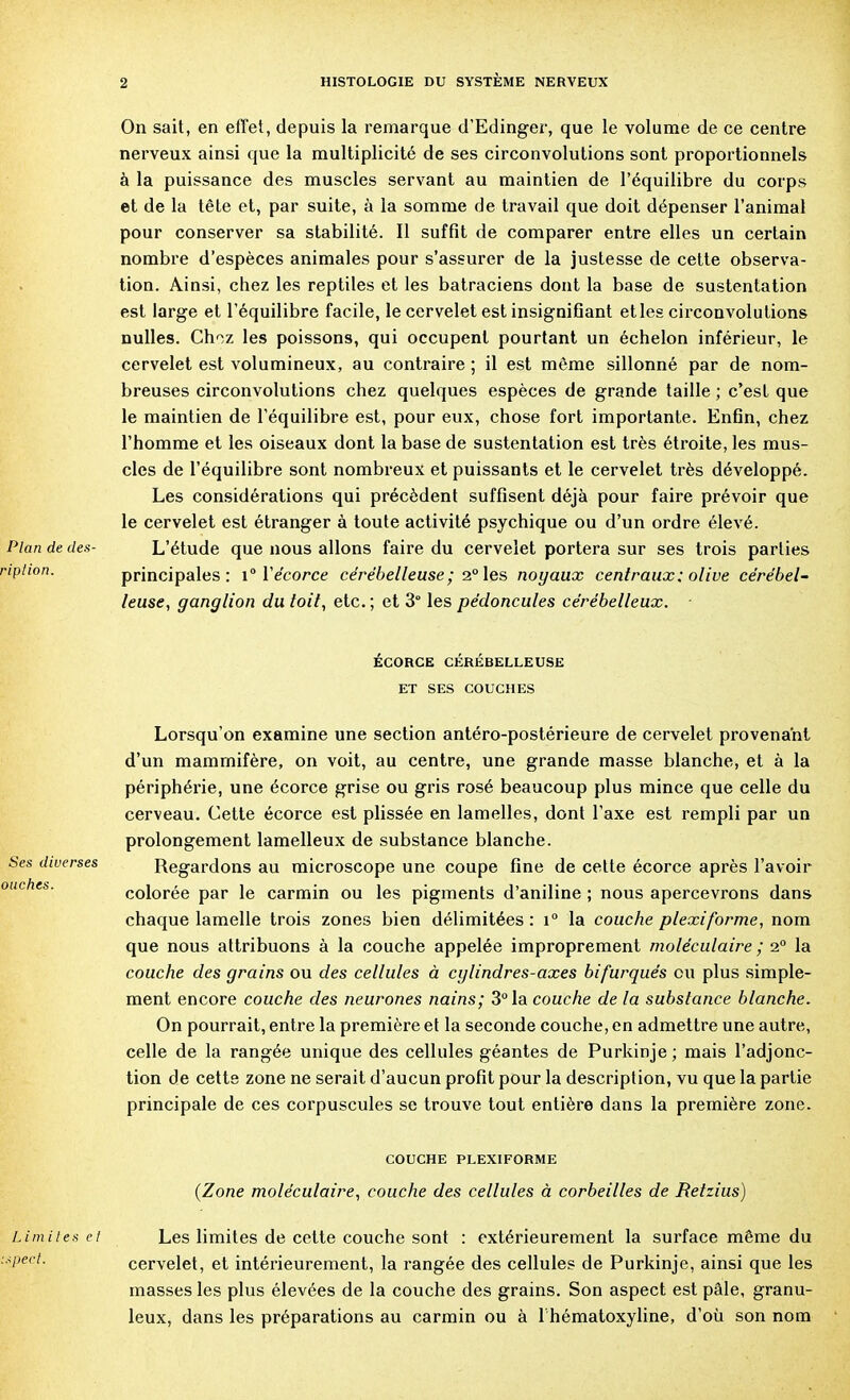 On sait, en effet, depuis la remarque d'Edinger, que le volume de ce centre nerveux ainsi que la multiplicité de ses circonvolutions sont proportionnels à la puissance des muscles servant au maintien de l'équilibre du corps et de la tête et, par suite, à la somme de travail que doit dépenser l'animal pour conserver sa stabilité. Il suffit de comparer entre elles un certain nombre d'espèces animales pour s'assurer de la justesse de cette observa- tion. Ainsi, chez les reptiles et les batraciens dont la base de sustentation est large et l'équilibre facile, le cervelet est insignifiant et les circonvolutions nulles. Choz les poissons, qui occupent pourtant un échelon inférieur, le cervelet est volumineux, au contraire ; il est même sillonné par de nom- breuses circonvolutions chez quelques espèces de grande taille ; c'est que le maintien de l'équilibre est, pour eux, chose fort importante. Enfin, chez l'homme et les oiseaux dont la base de sustentation est très étroite, les mus- cles de l'équilibre sont nombreux et puissants et le cervelet très développé. Les considérations qui précèdent suffisent déjà pour faire prévoir que le cervelet est étranger à toute activité psychique ou d'un ordre élevé. Plan de des- L'étude que nous allons faire du cervelet portera sur ses trois parties •iplion. principales: i° ïécorce cérébelleuse ; 2°des noyaux centraux : olive cérébel- leuse, ganglion du toit, etc. ; et 3° les pédoncules cérébelleux. ■ ÉCORCE CÉRÉBELLEUSE ET SES COUCHES Lorsqu'on examine une section antéro-postérieure de cervelet provenant d'un mammifère, on voit, au centre, une grande masse blanche, et à la périphérie, une écorce grise ou gris rosé beaucoup plus mince que celle du cerveau. Cette écorce est plissée en lamelles, dont l'axe est rempli par un prolongement lamelleux de substance blanche. Ses diverses Regardons au microscope une coupe fine de cette écorce après l'avoir colorée par le carmin ou les pigments d'aniline ; nous apercevrons dans chaque lamelle trois zones bien délimitées : 1° la couche plexiforme, nom que nous attribuons à la couche appelée improprement moléculaire ; 2° la couche des grains ou des cellules à cylindres-axes bifurqués ou plus simple- ment encore couche des neurones nains; 3° la couche de la substance blanche. On pourrait, entre la première et la seconde couche, en admettre une autre, celle de la rangée unique des cellules géantes de Purkinje ; mais l'adjonc- tion de cette zone ne serait d'aucun profit pour la description, vu que la partie principale de ces corpuscules se trouve tout entière dans la première zone. COUCHE PLEXIFORME (Zone moléculaire, couche des cellules à corbeilles de Retzius) Limites et Les limites de cette couche sont : extérieurement la surface même du Weci- cervelet, et intérieurement, la rangée des cellules de Purkinje, ainsi que les masses les plus élevées de la couche des grains. Son aspect est pâle, granu- leux, dans les préparations au carmin ou à lhématoxyline, d'où son nom