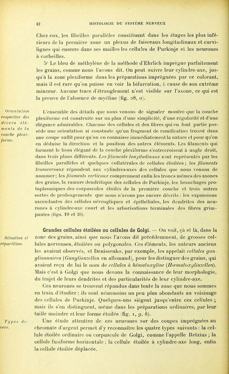 Chez eux, les fibrilles parallèles constituent dans les étages les plus infé- rieurs de la première zone un plexus de faisceaux longitudinaux et curvi- lignes qui enserre dans ses mailles les cellules de Purkinje et les neurones à corbeilles. 5° Le bleu de méthylène de la méthode d'Ehrlich imprègne parfaitement les grains, comme nous l'avons dit. On peut suivre leur cylindre-axe, jus- qu'à la zone plexiforme dans les préparations imprégnées par ce colorant, mais il est rare qu'on puisse en voir la bifurcation, à cause de son extrême minceur. Aucune trace d'étranglement n'est visible sur l'axone, ce qui est la preuve de l'absence de myéline (fig. 28, a). Orientation respective des divers élé- ments de la couche plexi- forme. L'ensemble des détails que nous venons de signaler montre que la couche plexiforme est construite sur un plan d'une simplicité, d'une régularité et d'une élégance admirables. Chacune des cellules et des fibres qui en font partie pos- sède une orientation si constante qu'un fragment de ramification trouvé dans une coupe suffit pour qu'on en connaisse immédiatement la nature et pour qu'on en déduise la direction et la position des autres éléments. Les filaments qui forment le tissu élégant de la couche plexiforme s'entrecroisent à angle droit, dans trois plans différents. Les filaments longitudinaux sont représentés par les fibrilles parallèles et quelques collatérales de cellules étoilées ; les filaments transversaux répondent aux cylindres-axes des cellules que nous venons de nommer; les filaments verticaux comprennent enfin les troncs mêmes des axones des grains, la ramure dendritique des cellules de Purkinje, les branchages pro- toplasmiques des corpuscules étoilés de la première couche et trois autres sortes de prolongements que nous n'avons pas encore décrits : les expansions ascendantes des cellules névrogliques et épithéliales, les dendrites des neu- rones à cylindre-axe court et les arborisations terminales des fibres grim- pantes (figs. 19 et 26). Grandes cellules étoilées ou cellules de Golgi. — On voit, çà et là, dans la Situation ei zone des grains, ainsi que nous l'avons dit précédemment, de grosses cel- répartition. Iules nerveuses, étoilées ou polygonales. Ces éléments, les auteurs anciens les avaient observés, et Denissenko, par exemple, les appelait cellules gan- glionnaires {Ganglienzellen en allemand), pour les distinguer des grains, qui avaient reçu de lui le nom de cellules à he'/naloxyline [Hœmatoxglinzellen). Mais c'est à Golgi que nous devons la connaissance de leur morphologie, du trajet de leurs dendrites et des particularités de leur cylindre-axe. Ces neurones se trouvent répandus dans toute la zone que nous sommes en train d'étudier; ils sont néanmoins un peu plus abondants au voisinage des cellules de Purkinje. Quelques-uns siègent jusqu'entre ces cellules ; mais ils s'en distinguent, même dans les préparations ordinaires, par leur taille moindre et leur forme étoilée (fig. î, g, h). Types di- Une étude attentive de ces neurones sur des coupes imprégnées au vers. chromale d'argent permet d'y reconnaître les quatre types suivants : la cel- lule étoilée ordinaire ou corpuscule de Golgi, comme l'appelle Retzius ; la cellule fusiforme horizontale ; la cellule étoilée à cylindre-axe long, enfin la cellule étoilée déplacée.