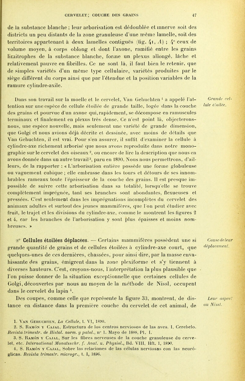 de la substance blanche ; leur arborisation est dédoublée et innerve soit des districts un peu distants de la zone granuleuse d'une même lamelle, soit des territoires appartenant à deux lamelles contiguës ((ig. ^i, A) ; 4° ceux de volume moyen, à corps oblong et dont l'axone, ramifié entre les grains limitrophes de la substance blanche, forme un plexus allongé, lâche et relativement pauvre en fibrilles. Ce ne sont là, il faut bien le retenir, que de simples variétés d'un même type cellulaire, variétés produites par le siège différent du corps ainsi que par l'étendue et la position variables de la ramure cylindre-axile. Dans son travail sur la moelle et le cervelet, Van Gehuchten 1 a appelé l'at- tention sur une espèce de cellule étoilée de grande taille, logée dans la couche des grains et pourvue d'un axone qui, rapidement, se décompose en ramuscules terminaux et finalement en plexus très dense. Ce n'est point là, objecterons- nous, une espèce nouvelle, mais seulement une variété de grande dimension, que Golgi et nous avions déjà décrite et dessinée, avec moins de détails que Van Gehuchten, il est vrai. Pour s'en assurer, il suffit d'examiner la cellule à cylindre-axe richement arborisé que nous avons reproduite dans notre mono- graphie sur le cervelet des oiseaux2, ou encore de lire la description que nous en avons donnée dans un autre travail3, paru en 1890. Nous nous permettrons, d'ail- leurs, de la rapporter : « L'arborisation entière possède une forme globuleuse ou vaguement cubique ; elle embrasse dans les tours et détours de ses innom- brables rameaux toute l'épaisseur de la couche des grains. Il est presque im- possible de suivre cette arborisation dans sa totalité, lorsqu'elle se trouve complètement imprégnée, tant ses branches sont abondantes, flexueuses et pressées. C'est seulement dans les imprégnations incomplètes du cervelet des animaux adultes et surtout des jeunes mammifères, que l'on peut étudier avec fruit, le trajet et les divisions du cylindre-axe, comme le montrent les figures 2 et 4, car les branches de l'arborisation y sont plus épaisses et moins nom- breuses. » 2° Cellules étoilées déplacées. — Certains mammifères possèdent une si Causedeleur grande quantité de grains et de cellules étoilées à cylindre-axe court, que déplacement. quelques-unes de ces dernières, chassées, pour ainsi dire, par la masse enva- hissante des grains, émigrent dans la zone plexiforme et s'y tiennent à diverses hauteurs. C'est, croyons-nous, 1 interprétation la plus plausible que - l'on puisse donner de la situation exceptionnelle que certaines cellules de Golgi, découvertes par nous au moyen de la méthode de Nissl, occupent dans le cervelet du lapin 4. Des coupes, comme celle que représente la figure 33, montrent, de dis- Leur aspect tance en distance dans la première couche du cervelet de cet animal, de au Nissl. 1. Van Gehuchten, La Cellule, t. VI, 1890. 2. S. Ramôn y Cajal, Estructura de los centros nerviosos de las aves. I, Cerebelo. Revisla trimestr. de Histol. norm. y patol., n° 1. Mayo de 1888, Pl. I. 3. S. Ramôn y Cajal, Sur les fibres nerveuses de la couche granuleuse du cerve- let, etc. International Monatsschr. f. Anat. u. Physiol., Bd. VIII, Hft. 1, 1890. i. S. Ramôn y Cajal, Sobre las relaciones de las células nerviosas con las neurô- glicas. Revisla trimestr. microgr.. t. I, 189t5.