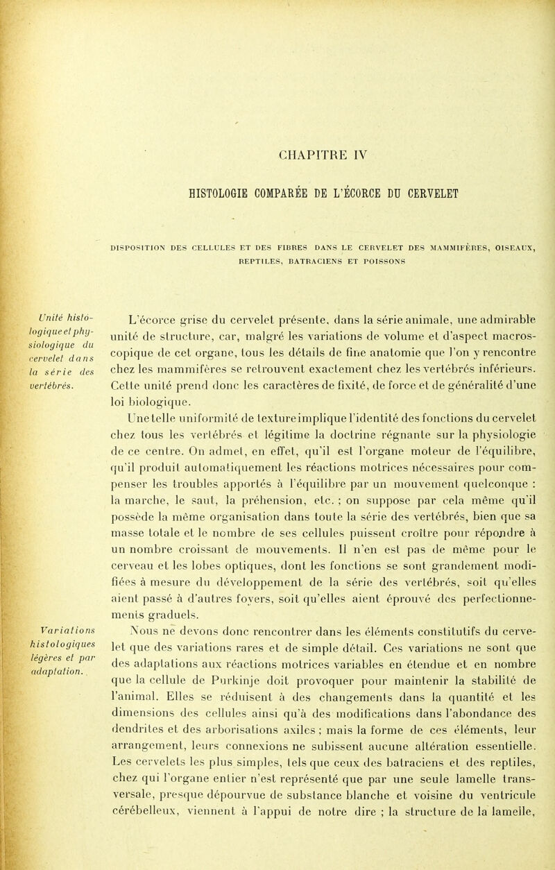 CHAPITRE IV HISTOLOGIE COMPARÉE DE L'ÉCORCE DU CERVELET DISPOSITION DES CELLULES ET DES FIBRES DANS LE CERVELET DES MAMMIFÈRES, OISEAUX, REPTILES, BATRACIENS ET POISSONS Unité histô- L'écorce grise du cervelet présente, dans la série animale, une admirable logique et phy- un^e cje structure, car, malgré les variations de volume et d'aspect macros- siologique du . .. . „ _ , , ■ copique de cet organe, tous les détails de une anatomie que 1 on y rencontre cervelet dans r 1 o > i j la série des chez les mammifères se retrouvent exactement chez les vertébrés inférieurs. vertébrés. Cette unité prend donc les caractères de fixité, de force et de généralité d'une loi biologique. Une telle uniformité de texture implique l'identité des fonctions du cervelet chez tous les vertébrés et légitime la doctrine régnante sur la physiologie de ce centre. On admet, en effet, qu'il est l'organe moteur de l'équilibre, qu'il produit automatiquement les réactions motrices nécessaires pour com- penser les troubles apportés à l'équilibre par un mouvement quelconque : la marche, le saut, la préhension, etc. ; on suppose par cela même qu'il possède la même organisation dans toute la série des vertébrés, bien que sa masse totale et le nombre de ses cellules puissent croître pour répondre à un nombre croissant de mouvements. Il n'en est pas de même pour le cerveau et les lobes optiques, dont les fonctions se sont grandement modi- fiées à mesure du développement de la série des vertébrés, soit qu'elles aient passé à d'autres foyers, soit qu'elles aient éprouvé des perfectionne- ments graduels. Variations Nous ne devons donc rencontrer dans les éléments constitutifs du cerve- histologiques que ^es variations rares et de simple détail. Ces variations ne sont que lemitJ!^m ^es adaptations aux réactions motrices variables en étendue et en nombre que la cellule de Purkinje doit provoquer pour maintenir la stabilité de l'animal. Elles se réduisent à des changements clans la quantité et les dimensions des cellules ainsi qu'à des modifications dans l'abondance des dendrites et des arborisations axiles ; mais la forme de ces éléments, leur arrangement, leurs connexions ne subissent aucune altération essentielle. Les cervelets les plus simples, tels que ceux des batraciens et des reptiles, chez qui l'organe entier n'est représenté que par une seule lamelle trans- versale, presque dépourvue de substance blanche et voisine du ventricule cérébelleux, viennent à l'appui de notre dire ; la structure de la lamelle, adaptation.