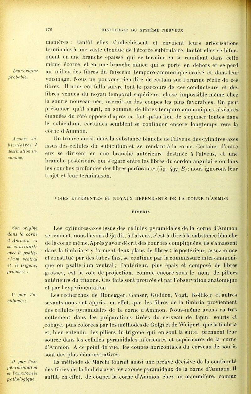 manières : tantôt elles s'infléchissent et envoient leurs arborisations terminales à une vaste étendue de l'écorce subiculaire, tantôt elles se bifur- quent en une branche épaisse qui se termine en se ramifiant dans cette même écorce, et en une branche mince qui se porte en dehors et se perd Leurorigine au milieu des fibres du faisceau temporo-ammonique croisé et dans leur probable. voisinage. Nous ne pouvons rien dire de certain sur l'origine réelle de ces fibres. Il nous eût fallu suivre tout le parcours de ces conducteurs et des fibres venues du noyau temporal supérieur, chose impossible même chez, la souris nouveau-née, userait-on des coupes les plus favorables. On peut présumer qu'il s'agit, en somme, de fibres temporo-ammoniques alvéaires émanées du côté opposé d'après ce fait qu'au lieu de s'épuiser toutes dans le subiculum, certaines semblent se continuer encore longtemps vers la corne d'Ammon. Axones su- On trouve aussi, dans la substance blanche de l'alveus,des cylindres-axes biculaires à issus des cellules du subiculum et se rendant à la corne. Certains d'entre eux se divisent en une branche antérieure destinée à l'alveus, et une branche postérieure qui s'égare entre les fibres du cordon angulaire ou dans les couches profondes des fibres perforantes (fig. 497,5); nous ignorons leur trajet et leur terminaison. VOIES EFFERENTES ET NOYAUX DEPENDANTS DE LA CORNE D AMMON FIMBHIA destination in- connue. Son origine dans la corne d'Ammon et sa continuité avec le psalte- rium ventral et le trigone. prouvées : 1 par l'a- nal o mie ; 2* par l'ex- périmenlation et l'analomie pathologique. Les cylindres-axes issus des cellules pyramidales de la corne d'Ammon se rendent, nous l'avons déjà dit, à l'alveus, c'est-à-dire à la substance blanche de la corne même.Aprèsyavoirdécrit des courbes compliquées, ils s'amassent dans la fimbria et y forment deux plans de fibres ; le postérieur, assez mince et constitué par des tubes fins, se continue par la commissure inter-ammoni- que ou psalterium ventral ; l'antérieur, plus épais et composé de fibres grosses, est la voie de projection, connue encore sous le nom de piliers antérieurs du trigone. Ces faits sont prouvés et par l'observation anatomique et par l'expérimentation. Les recherches de Honegger, Canser, Gudden, Vogt, Kôlliker et autres savants nous ont appris, en effet, que les fibres de la fimbria proviennent des cellules pyramidales de la corne d'Ammon. Nous-même avons vu très nettement dans les préparations tirées du cerveau de lapin, souris et .cobaye, puis colorées par les méthodes de Golgi et de Weigert, que la fimbria et, bien entendu, les piliers du trigone qui en sont la suite, prennent leur source dans les cellules pyramidales inférieures et supérieures de la corne d'Ammon. A ce point de vue, les coupes horizontales du cerveau de souris sont des plus démonstratives. La méthode de Marchi fournit aussi une preuve décisive de la continuité des fibres de la fimbria avec les axones pyramidaux de la corne d'Ammon. II suffit, en effet, de couper la corne d'Ammon chez un mammifère, comme
