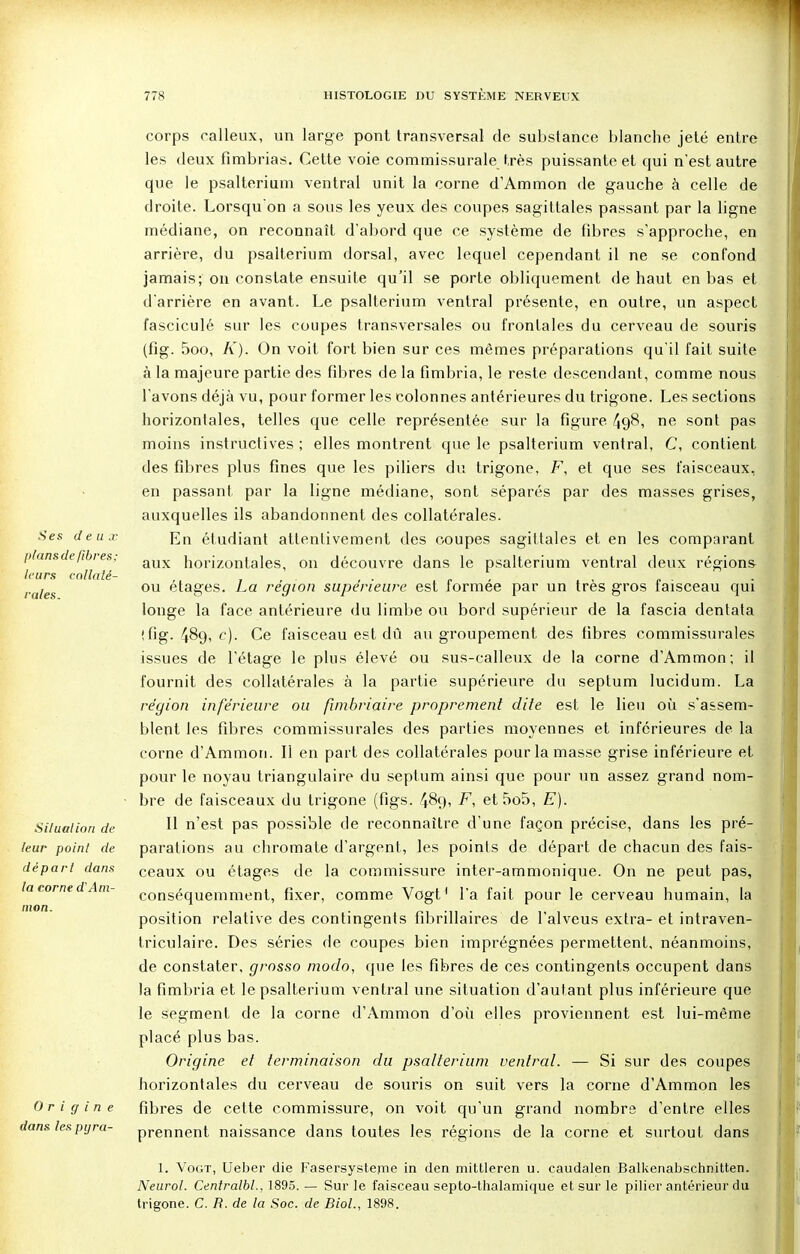 Ses d e ii .r plans de fibres; leurs collaté- rales. Situation de leur point de départ dans la corne d'Am- mon. Origine dans les pijra- corps calleux, un large pont transversal de substance blanche jeté entre les deux fimbrias. Cette voie commissurale très puissante et qui n'est autre que le psalterium ventral unit la corne d'Ammon de gauche à celle de droite. Lorsqu'on a sous les yeux des coupes sagittales passant par la ligne médiane, on reconnaît d'abord que ce système de fibres s'approche, en arrière, du psalterium dorsal, avec lequel cependant il ne se confond jamais; on constate ensuite qu'il se porte obliquement de haut en bas et d'arrière en avant. Le psalterium ventral présente, en outre, un aspect fasciculé sur les coupes transversales ou frontales du cerveau de souris (fîg. 5oo, A'). On voit fort bien sur ces mêmes préparations qu'il fait suite à la majeure partie des fibres de la fimbria, le reste descendant, comme nous l'avons déjà vu, pour former les colonnes antérieures du trigone. Les sections horizontales, telles que celle représentée sur la figure 498, ne sont pas moins instructives ; elles montrent que le psalterium ventral, C, contient des fibres plus fines que les piliers du trigone, F, et que ses faisceaux, en passant par la ligne médiane, sont séparés par des masses grises, auxquelles ils abandonnent des collatérales. En étudiant attentivement des coupes sagittales et en les comparant aux horizontales, on découvre dans le psalterium ventral deux régions ou étages. La région supérieure est formée par un très gros faisceau qui longe la face antérieure du limbe ou bord supérieur de la fascia dentata (fig. 489, c). Ce faisceau est dû au groupement des fibres commissurales issues de l'étage le plus élevé ou sus-calleux de la corne d'Ammon; il fournit des collatérales à la partie supérieure du septum lucidum. La région inférieure ou fimbriaire proprement dite est le lieu où s'assem- blent les fibres commissurales des parties moyennes et inférieures de la corne d'Ammon. Il en part des collatérales pour la masse grise inférieure et pour le noyau triangulaire du septum ainsi que pour un assez grand nom- bre de faisceaux du trigone (figs. 489, F, et5o5, E). Il n'est pas possible de reconnaître d'une façon précise, dans les pré- parations au chromate d'argent, les points de départ de chacun des fais- ceaux ou étages de la commissure inter-ammonique. On ne peut pas, conséquemment, fixer, comme Vogt1 l'a fait pour le cerveau humain, la position relative des contingents fîbrillaires de l'alveus extra- et intraven- triculaire. Des séries de coupes bien imprégnées permettent, néanmoins, de constater, grosso modo, que les fibres de ces contingents occupent dans la fimbria et le psalterium ventral une situation d'autant plus inférieure que le segment de la corne d'Ammon d'où elles proviennent est lui-même placé plus bas. Origine et terminaison du psalterium ventral. — Si sur des coupes horizontales du cerveau de souris on suit vers la corne d'Ammon les fibres de cette commissure, on voit qu'un grand nombre d'entre elles prennent naissance dans toutes les régions de la corne et surtout dans 1. Vogt, Ueber die Fasersysteme in den mittleren u. caudalen Balkenabschnitten. Neurol. Centralbl., 1895. — Sur le faisceau septo-thalamique et sur le pilier antérieur du trigone. C. R. de la Soc. de Biol., 1898.