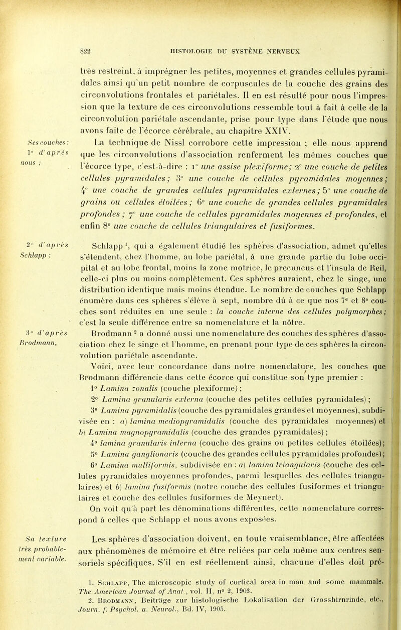 Ses couches : 1 ° d'après nous ; 2° cl'après Schlapp ; 3° d'après Brodmann. Sa texture très probable- ment variable. très restreint, à imprégner les petites, moyennes et grandes cellules pyrami- dales ainsi qu'un petit nombre de corpuscules de la couche des grains des circonvolutions frontales et pariétales. Il en est résulté pour nous l'impres- sion que la texture de ces circonvolutions ressemble tout à fait à celle de la circonvolulion pariétale ascendante, prise pour type dans l'élude que nous avons faite de l'écorce cérébrale, au chapitre XXIV. La technique de Nissl corrobore cette impression ; elle nous apprend que les circonvolutions d'association renferment les mêmes couches que l'écorce type, c'est-à-dire : i° une assise plexiforme; 2° une couche de peiiles cellules pyramidales; 3° une couche de cellules pyramidales moyennes; 4° une couche de grandes cellules pyramidales externes ; 5° une couche de grains ou cellules étoilées ; 6° une couche de grandes cellules pyramidales profondes ; j une couche de cellules pyramidales moyennes et profondes, el enfin 8° une couche de cellules triangulaires et fusiformes. Schlapp qui a également étudié les sphères d'association, admet qu'elles s'étendent, chez l'homme, au lobe pariétal, à une grande partie du lobe occi- pital et au lobe frontal, moins la zone motrice, le precuneus et l'insula de Reil, celle-ci plus ou moins complètement. Ces sphères auraient, chez le singe, une distribution identique mais moins étendue. Le nombre de couches que Schlapp énumère dans ces sphères s'élève à sept, nombre dû à ce que nos 7e et 8° cou- ches sont réduites en une seule : la couche interne des cellules polymorphes ; c'est la seule différence entre sa nomenclature et la nôtre. Brodmann 2 a donné aussi une nomenclature des couches des sphères d'asso- ciation chez le singe et l'homme, en prenant pour type de ces sphères la circon- volution pariétale ascendante. Voici, avec leur concordance dans notre nomenclature, les couches que Brodmann différencie dans cette écorce qui constitue son type premier : 1° Lamina zonalis (couche plexiforme) ; 2° Lamina granularis exlerna (couche des petites cellules pyramidales) ; 3° Lamina pyramidalis (couche des pyramidales grandes et moyennes), subdi- visée en : a) lamina mediopyramidalis (couche des pyramidales moyennes) et b) Lamina magnopyramidâlis (couche des grandes pyramidales) ; 4° lamina granularis interna (couche des grains ou petites cellules étoilées); 5° Lamina ganglionaris (couche des grandes cellules pyramidales profondes); 6° Lamina multiformis, subdivisée en : a) lamina triangularis (couche des cel- lules pyramidales moyennes profondes, parmi lesquelles des cellules triangu- laires) et b) lamina fusiformis (notre couche des cellules fusiformes et triangu- laires et couche des cellules fusiformes de Meynert). On voit qu'à part les dénominations différentes, cette nomenclature corres- pond à celles que Schlapp et nous avons exposées. Les sphères d'association doivent, en toute vraisemblance, être affectées aux phénomènes de mémoire et être reliées par cela même aux centres sen- soriels spécifiques. S'il en est réellement ainsi, chacune d'elles doit pré- 1. Schlapp, The microscopic study of cortical area in man and some mammals. The American Journal of Anat., vol. II, n° 2, 1903. 2. Brodmann, Beitrage zur histologische Lokalisalion der Grosshirnrinde, etc., Journ. f. Psijchol. u. Neurol., Bd. IV, 1905.