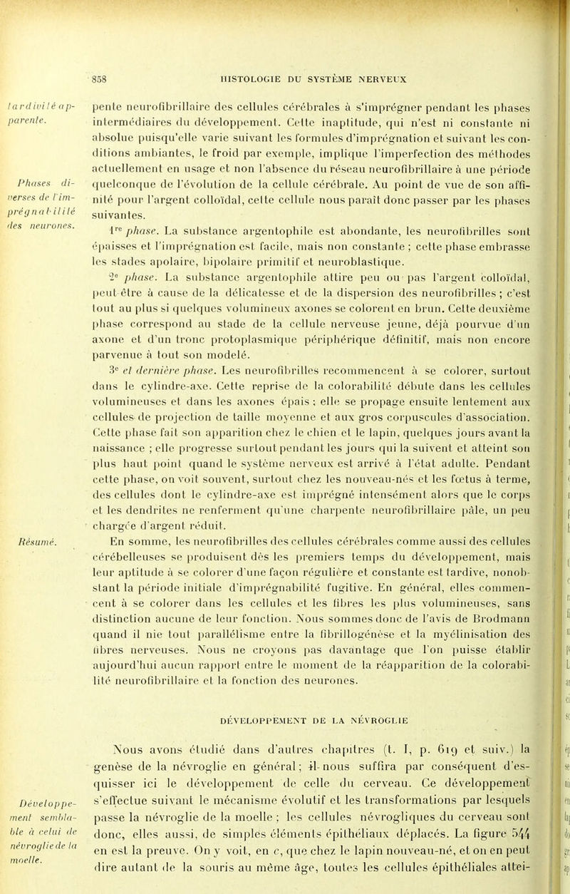 Phases di- verses de l'im- prégnabililé des neurones. Résumé. pente neurofibrillaire des cellules cérébrales à s'imprégner pendant les phases intermédiaires du développement. Celte inaptitude, qui n'est ni constante ni absolue puisqu'elle varie suivant les formules d'imprégnation et suivant les con- ditions ambiantes, le froid par exemple, implique l'imperfection des méthodes actuellement en usage et non l'absence du réseau neurofibrillaire à une période quelconque de l'évolution de la cellule cérébrale. Au point de vue de son affi- nité pour l'argent colloïdal, celte cellule nous paraît donc passer par les phases suivantes. lre phase. La substance argentophile est abondante, les neurolibrilles sont épaisses et l'imprégnation est facile, mais non constante ; cette phase embrasse les stades apolaire, bipolaire primitif et neuroblastique. ie phase. La substance argentophile attire peu ou pas l'argent colloïdal, peut-être à cause de la délicatesse et de la dispersion des neurofîbrilles ; c'est tout au plus si quelques volumineux axones se colorent en brun. Celte deuxième phase correspond au stade de la cellule nerveuse jeune, déjà pourvue d'un axone et d'un tronc protoplasmique périphérique définitif, mais non encore parvenue à tout son modelé. 3e et dernière phase. Les neurofibrilles recommencent à se colorer, surtout dans le cylindre-axe. Cette reprise de la colorabilité débute dans les cellules volumineuses et dans les axones épais ; elle se propage ensuite lentement aux cellules de projection de taille moyenne et aux gros corpuscules d'association. Cette phase fait son apparition chez le chien et le lapin, quelques jours avant la naissance ; elle progresse surtout pendant les jours qui la suivent et atteint son plus haut point quand le système nerveux est arrivé à l'état adulte. Pendant cette phase, on voit souvent, surtout chez les nouveau-nés et les fœtus à terme, des cellules dont le cylindre-axe est imprégné intensément alors que le corps et les dendrites ne renferment qu'une charpente neurofibrillaire pâle, un peu chargée d'argent réduit. En somme, les neurofibrilles des cellules cérébrales comme aussi des cellules cérébelleuses se produisent dès les premiers temps du développement, mais leur aptitude à se colorer d'une façon régulière et constante est tardive, nonob- stant la période initiale d'imprégnabilité fugitive. En général, elles commen- cent à se colorer dans les cellules et les fibres les plus volumineuses, sans distinction aucune de leur fonction. Nous sommes donc de l'avis de Brodmann quand il nie tout parallélisme entre la fibrillogénèse et la myélinisation des libres nerveuses. Nous ne croyons pas davantage que l'on puisse établir aujourd'hui aucun rapport entre le moment de la réapparition de la colorabi- lité neurofibrillaire et la fonction des neurones. DEVELOPPEMENT DE LA NEVROGLIE Développe- ment sembla- ble à celui de névrogliede la moelle. Nous avons étudié dans d'autres chapitres (t. I, p. 619 et suiv.) la genèse de la névroglie en général ; il- nous suffira par conséquent d'es- quisser ici le développement de celle du cerveau. Ce développement s'effectue suivant le mécanisme évolutif et les transformations par lesquels passe la névroglie de la moelle ; les cellules névrogliques du cerveau sont donc, elles aussi, de simples éléments épithéliaux déplacés. La figure 544 en est la preuve. On y voit, en c, que chez le lapin nouveau-né, et on en peut dire autant de la souris au même âge, toutes les cellules épithéliales attei-