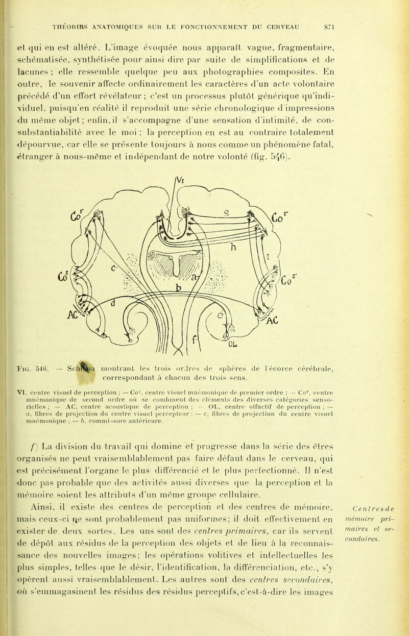 et qui en est altéré. L'image évoquée nous apparaît vague, fragmentaire, schématisée, synthétisée pour ainsi dire par suite de simplifications et de lacunes ; elle ressemble quelque peu aux photographies composites. En outre, le souvenir affecte ordinairement les caractères d'un acte volontaire précédé d'un effort révélateur; c'est un processus plutôt générique qu'indi- viduel, puisqu'en réalité il reproduit une série chronologique d'impressions du même objet ; enfin, il s'accompagne d'une sensation d'intimité, de con- substanliabilité avec le moi ; la perception en est au contraire totalement dépourvue, car elle se présente toujours à nous comme un phénomène fatal, étranger à nous-même et indépendant de notre volonté ffig. 546). Fig. 51(3. — Schéma montrant les trois ordres de sphères de lécorce cérébrale, correspondant à chacun des trois sens. VI, eenlre visuel de perception ; —Co1, centre visuel mnémonique de premier ordre ; — Co4, centre mnémonique de second ordre où se combinent des éléments des diverses catégories senso- rielles ; — AC, centre acoustique de perception ; — OL, centre olfactif de perception ; — a, fibres de projection du centre visuel percepteur ; — c, fibres de projection du centre visuel mnémonique ; — 6, commissure antérieure. f) La division du travail qui domine et progresse dans la série des êtres organisés ne peut vraisemblablement pas faire défaut dans le cerveau, qui est précisément l'organe le plus différencié et le plus perfectionné. Il n'est donc pas probable que des activités aussi diverses que la perception et la mémoire soient les attributs d'un même groupe cellulaire. Ainsi, il existe des centres de perception et des centres de mémoire, mais ceux-ci ne sont probablement pas uniformes; il doit effectivement en exister de deux sortes. Les uns sont des centres primaires, car ils servent de dépôt aux résidus de la perception des objets et de lieu à la reconnais- sance des nouvelles images; les opérations volitives et intellectuelles les plus simples, telles que le désir, l'identification, la différenciation, etc., s'y opèrent aussi vraisemblablement. Les autres sont des centres secondaires, où s'emmagasinent les résidus des résidus perceptifs,c'est-à-dire les images Centresde mémoire pri- maires et condaires. se-